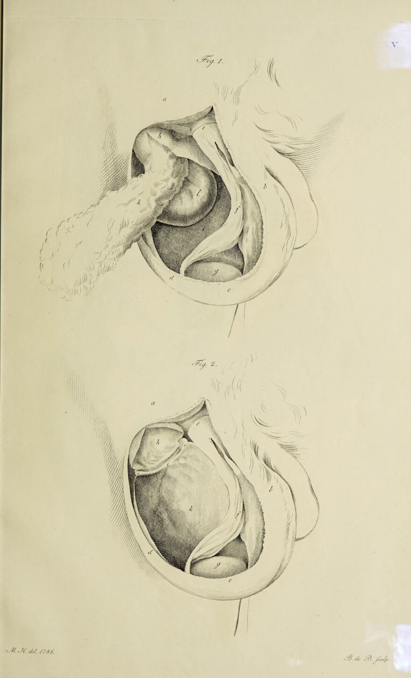 '-'tt J{. </<-/. /786. & <Sc