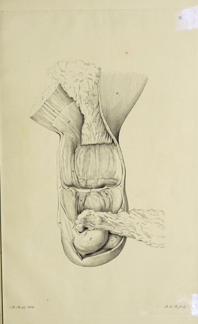 X. o ts/&.j6.<6u. noo.