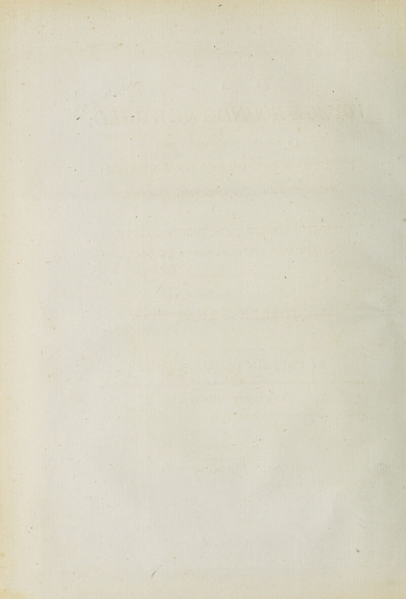 I i 4 * * * ? /• / / * 1 /