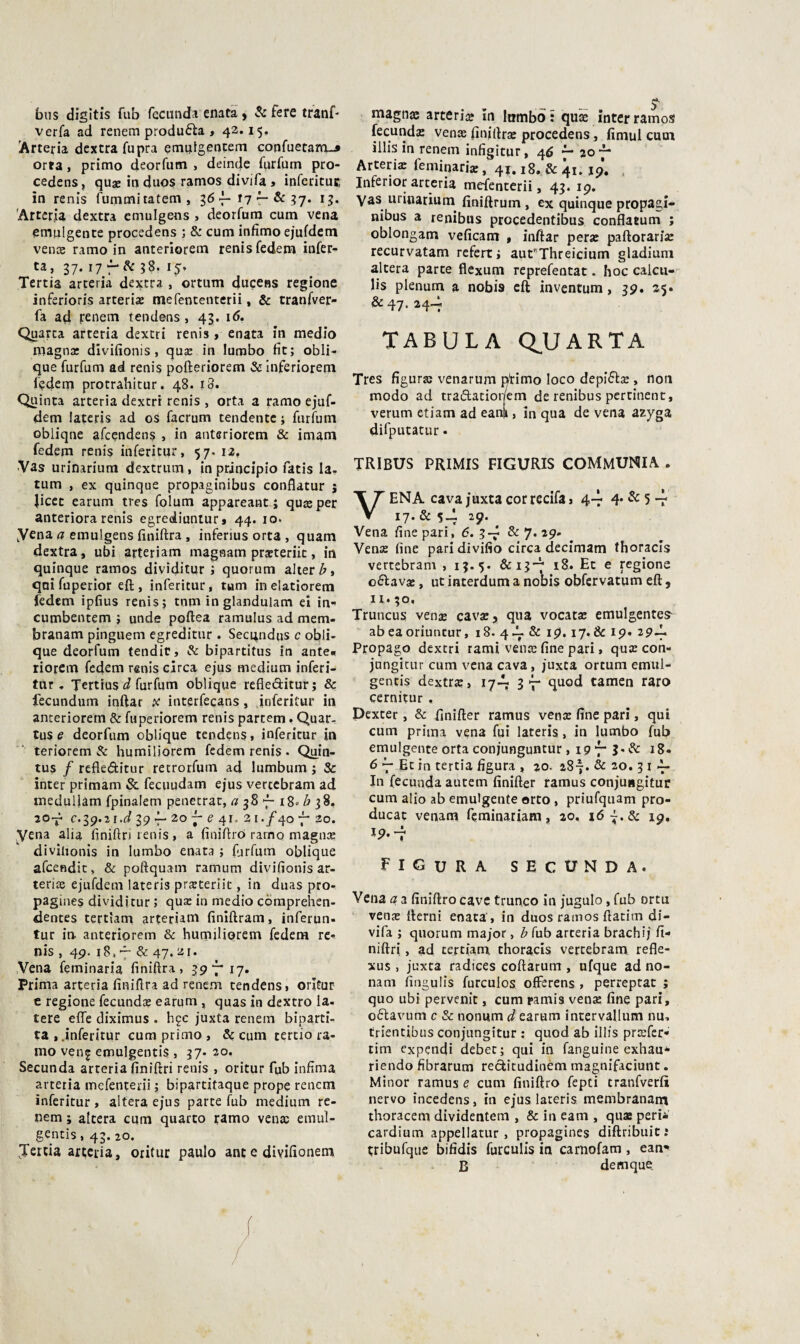 bus digitis fub fcciinda enatà » Se fere tfanf- verfa ad renem produca , 42.15. Arteria dextra fupra emijfgentem confuetamu» orta, primo deorfiim , deinde fiirfum pro- cedens, quje in duos ramos divifa , infcricuc, in renis fummitatem, ^6 ^ Se 15. 'Arteria dextra emulgens , deorfura cum vena eniulgente procedens ; & cum infimo ejufdem venoe ramo in anteriorem renis fedem infer¬ ma» 37-17 38.15. Tertia arteria dextra , ortum ducens regione inferioris arteriae mefencenterii, & tranfver- fa ad jrenem tendens , 43. 16. Quarta arteria dextri renis , enata in medio magn* divifionis, qure in lumbo fit; obli¬ que furfum ad renis pofteriorem & Inferiorein fi?deni protrahitur. 48. io. Quinta arteria dextri renis , orta a ramo ejuf- dem lateris ad oS facrum tendente ; furfum oblique afeendens , in anteriorem & imam fedem renis inferitur, 57. 12, ■Vas urinarium dextrum , in principio fatis la., tum , ex quinque propaginibus conflatur j licer earum tres folum appareant j qureper anteriora renis egrediuntur» 44. io* yena a emulgens finiftra, inferius orta , quam dextra, ubi arteriam magnam prsteriic, in quinque ramos dividitur i quorum alteri, qnifuperior eft, inferitur, tum inelatiorem fedem ipfius renis; tnm in glandulam eì in- cumbentem ; unde poftea ramulus ad mem- branam pinguem egreditiir. Seci^ndus c obli¬ que deorfum tendir. Se bipartitus in ante.? riorcm fedem renis circa ejus medium inferi¬ tur , Jertius d furfum oblique refleditur; & fecundum inftar jc interfecans, inferitur in anteriorem Se fuperiorem renis partem. Quar- tus e deorfum oblique tendens, inferitur in teriorem & humiliorem fedem renis • Qi^in- tus / refleditur retrorfum ad lumbum ; & inter primam & fecuudam ejus vercebram ad medullàm fpinalem penetrar, 38 7-18« ó jS. 20-7 c.39.2 i.d 39 ^ 20 c 41. 21./40 7* 20. Vena alia finiftri renis, a finiflrò ramo magnee divihonis in lumbo enata ; furfum oblique afcendic, & poftquam ramum divifionis ar- terite ejufdem lateris prsteriit, in duas pro- pagines dividitur ; qux in medio coraprehen- dentes tertlam arteriam finlftram, inferun- tur in. anteriorem Se humiliorem fedem re- nis, 49.18,7- & 47. Vena feminaria finiftra, 39 “17, Prima arteria finiftra ad renem tendens, orltur e regione fecundaj earum, quas in dextro la. tere effe diximus . h?c juxta renem biparti¬ ta , .inferitur cum primo , Se cum tercio ra¬ mo venj etnulgentis , 37. 20. Secunda arteria finiftri renis , oritur fub infima arteria mefenterii ; bipartitaque prope renem inferitur, altera ejus parte fub medium re¬ nem ; altera cum quarto ramo vena: emul- gentis, 43. 20. Jerda arteria, oritur paulo anc e divifionem magna arteria in lombo : qua inter ramos fecunda vena finiftra procedens, fimul cum illis in renem infigitur, 46 ^ 20 •f' Arteria feminaria, 4^. 18. & 41. jp. . Inferiorarteria mefenterii, 43. 19. Vas urinarium^ finiftrum , ex quinque propagi¬ nibus a renibus procedentibus conflatum ; oblongam veficam , inftar pera paftoran’a recurvatam referti aut^Threicium gladiuni altera parte flexum reprefentat. hoc calcu- lis plenum a nobis cft inventum, 39. 25» &47.M-4 TABULA Q^UARTA Tres figura venarum p/rimo loco depida , non modo ad tradatior/em de renibus pcrtinent, verum etiam ad eam , in qua de vena azyga difputacur • TRIBUS PRIMIS FIGURIS COMMUNIA . VENA cava juxta cor recifa, 44 4*^5 4 17. Se 54 ^9* Vena fine pari, 6. 34 ^7* ^9' Vena fine paridivifio circa decimam thoracis vertebram , 13.5. Sei^-^ 18. Et e regione odavae, ut interdum a nobis obfervatum eft , II. 50, Truncus vena cava 5 qua vocata emulgentes^ ab ea oriuntur, 18. ^J^j-Seip. ij. Scip» 294 Propago dextri rami vena fine pari, qua con- jungitur cum vena cava, juxta ortum emul- gentis dextra, 174 3 V* tamen raro cernitur , pexcer, Se finifter ramus vena fine pari, qui cum prima vena fui lateris, in lumbo fub emulgente orta conjunguntur, i9 4 3* ^8- 6 -7 Et in tertia figura , 20. 287. Se 20. 3 i 4 In fecunda autem finifter ramus conjuiigitur cum alio ab emulgente orto , priufquam pro- ducat venam feminariatn, 20. i6~.Se 19, 19.4 figura secunda. Vena a a finìftro cave trunco in jugulo, fub ortu vena fterni enata, in duos ramos ftacim di- vifa ; quorum major, è fub arteria brachij fi¬ niftri , ad certiam thoracis vertebram, refle- xus , juxta radices coftarum , ufque ad no- nam fingulis furculos offerens , perreptat ; quo ubi pervenit, cum ramis vena fine pari, odavum c Se nonum earum intervallum nu, trientibus conjiingitur ; quod ab illis prafer- tim expendi debec; qui in fanguine exhan- riendo fibrarum reditudinèm magnifaciunt. Minor ramus e cum finiftro fepti tranfverfì nervo incedens, in ejus lateris rnembranam thoracem dividentem , & in eam , qua peri- cardium appellatiir , propagines diftribuit ; tribufque bifidis furculis in carnofam , ean» B demque
