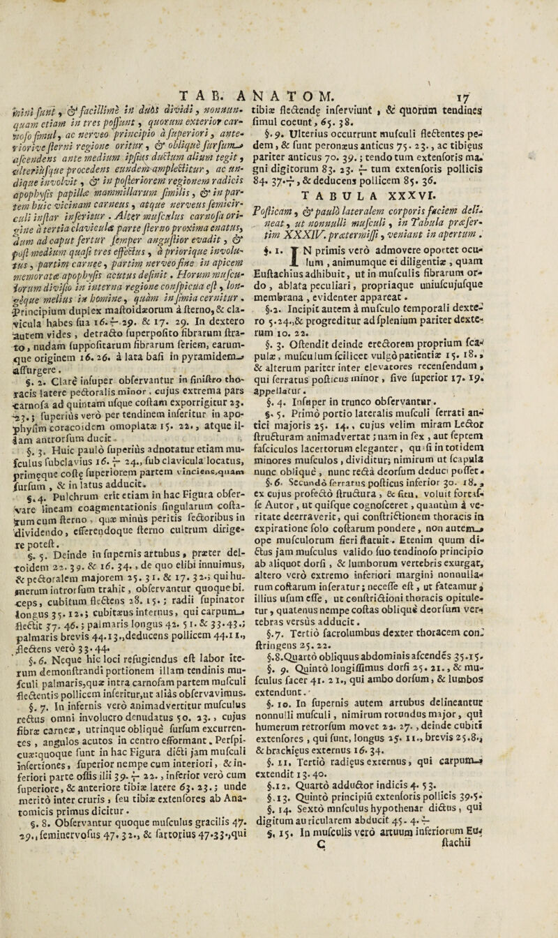 hhilfunì 9 éf f^ctlUme in duM àWtdl, nonnun- quamemm in tres poffunt 9 quorum emertor car^ iwfo firmi 9 ac ner'v&o principio à fiuperiori, ante^ riorive flerni regione oritur, & oblique fiurfiunt^ ajcendens ante medium ipjiks duBum alium tegit 9 iilteriùfiqUe procedens eundem^mpleBitur, ac un- dique ìnmlvit 9 dr in pofieriorem reghnem radicis apophvfìs papillee mammillarum fimilis, & in par- tem buie <vicinam carneus, atque ner’veusfiemkir- culi injlar infierhur . Alter muficulus carnofia ori¬ gine à tenia clavicula parte flerno proxima enatuty dum ad caput fiertur fiemper angujìior emdit, & pojì medium quaji tres effieBus, à priorìque ìnvolu- tus y partim carnee 9 partim nerveofine in apicem memorata apopbyfìt acutus defiinit. Horum muficu- ìorum divifiio in interna regione confipicua efi, lon- gèque melius inhomincy quàm infimiacernitur ^ ‘Principium duplex maftoidxorum àfterno,& cla- :vicula habes fua 16.^ 29. & 17. 29. In dextero autem vides , detrafto fuperpofito fibraruni Ara¬ to, nudam (uppoficarum fibrarum feriem, earum- queoriginem 16.26. à lata bafi in pyramidenci-^ affurgere. §. 2. dare infuper obfervantur in finlfiro tho- lacis latere peóèoralis minor, cujus extrema pars -carnofa ad quintana ufque coftam exporrigicur 25. fuperiùsverò per tendinem inferitur in apo- phyfìm coracoidem omoplaC£Bi$. 22., atqueil- Iam anuorfum duciti §. Huic paulò fuperiùs adnotatur etiam mu- fculus Tubclavius 16.7- 24., fubclavicula locatus, primgque coftg fuperiorem partem vInciens.<iuaiM /urfutn , & in latus adducit. §.4. Pulchrum erit etiam in hac Figura obfer- vare lineam coagmentationis fingularum cofta- Srumeum fterno » qux minus peritis fedoribus in dividendo, cfFerendoque Aerilo cultrum dirige¬ re poteA. §.5. Deinde in fupernis artubus, praeter del- toidem 22. 39. & 16. 34., de quo ebbi innuimus, ecpedoralem majorem 25. 31. & 17. 32.3 quihu- fnerum introrfum trahic, obfervantur quoque bi, ceps, cubitum Aedens 28. 15.; radii fupinator iongus 35.12.; cubitaeusinternus, qui carpum-, fiedit 37. 46. ; paimaris Iongus 42.51. & 33.430 palmaris brevis 44.i3.,deduceDS pollicem 44.11., jAedens vero 33.44. §. 6. Ncque hic loci refugiendus eA labor ite- rum demonArandì portionem illam tendinis mu- feuU palmarisjquac intra carnofam partem mufculi fledentis pollicem inferitur,ut alias obfervavimus. §. 7. In infernis vero animadvercitur mufculus redus omni involucro denudatus 50. 23., cujus Àbrs carnea?, utrinque oblique furfum excurren- tes , angulos acutos in centro efformant. Perfpi- cux:quoque funt in hac Figura didi jam mufculi infertiones, fuperior nempe cum interiori, & in¬ feriori parte oflis ilii 39. -p 22., infcrior vero cum fuperiore, & anteriore tibise latere 63. 23. j unde meritò inter cruris , feu tibise extenfores ab Ana- tomicis prìmus dicitur. §. 8. Obfervantur quoque mufculus gracills 47. ip.JeiuinervoAis 47» &: rartoriiiS47*33v4^* tibÌ£B Aedend? inferviunt 1 quorum teudiues Amul coeunt , 65.38. §. 9. Ulterius occurrunt mufculi Aedentes pe- dem, & flint peronjeus anticus 75. 2 3., ac tibigus pariter anticus 70. 39. ; tendo tum extenforis ma-' gni digitorum 83. 23. f- tum extenforis pollicis 84. 37.P, &deduccns pollicem 85. 36. TABULA XXXVI. PoJìicam9 & paulò lateralem corporis fiaciem delk neat 9 ut nonnulU muficuU 9 in Tabula prafier- tim XXXIV. pratermijfii 9 ‘venìant in apertum . I. T N primis vero admovere opottet ocu- 1 lum , antmumque ei diligenti» , quam EuAachIusadhibuit, utinmufeulis Abrarum or- do , ablata peculiari, propriaque uiiiufcujufque membrana , cvidenter appareat. §.3. Incipit autem à mufculo temporali dexte¬ ro 5.24.,& progreditur adfplenium pariter dextc-i rum IO. 22. §. 3. OAendit deinde eredorem proprium fcav pul», mufculum fcilicet vulgopaticntia: 15. 18. ^ & alterum pariter inter elevatores recenfendum , qui ferratus poAicus minor > Ave fuperior 17» appeilafur. §. 4. Infnper in tronco obfcrvantiar. §. 5. Primo portio lateralis mufculi ferrati ali¬ tici majoris 25. 14.. cujus velim miram Ledor Aruduram animadvertat ; nam in fex , aut fepeem fafciculos lacertorum eleganter, qua A in totìdem minores mufculos, dividiturj nimirum ut fcapula nunc oblique , nunc redà dcorfum deduci poflTet • §. 6. Secundò ferratus poAicus inferior 30. 18. » ex cujus profedò Arudura , 6cfim, voluit forcif- fe Autor , ut quifque cognofeeret, quantùm à ve- ritate deerraverit, qui conAridionem thoracis in expiratione folo coAarum pondera, non autein_» ope mufculorum AeriAatuit . Etenim quum di- dus jam mufculus valido fuo tendinofo principio ab aliquot dorA , & lumborum vercebrisexurgaf, altero verò extremo inferiori margini nonnulla- rum coAarum inferatur; neceffe eA , ut fateamur a illius ufum effe, ut conAridioni thoracis opicule- tur, quatenus nempe coAas oblique dcorfum ver-» tebras versus adducit. §.7. Tertiò facrolumbus dexter thoracem conJ Aringens 25.23. §.8.Quartò obliquusabdominisafeendes 35.15. §. 9. Quintò longiffimus dorA 25. 21., & mu¬ fculus jfacer 41. 21,, qui ambo dorfum, & lumbos extendunt. * §. IO. In fupernis autem artubus dclineantuc nonnulli mufculi, nimirum rotundos major, qu! humerum retrorfum movec 22. 27- ,demdc cubiti extenfores , qui fune, Iongus 25. n., brevis 25.8.* & brachifus externus 16.34. §. Il, Tertiò radigusexternus, qui carpum-i extendit 13.40. §.i2. Quarto addudor indicis 4.5 3. ^ §.13. Quintò principiù extenforis pollicis 39‘5* §.14. Sextò mnfculus hypothenar didns, qui digicum au ricularem abducit 45.4.4- §, J5. In mufculis vero artuum inferiorum Euj C ' ftachii