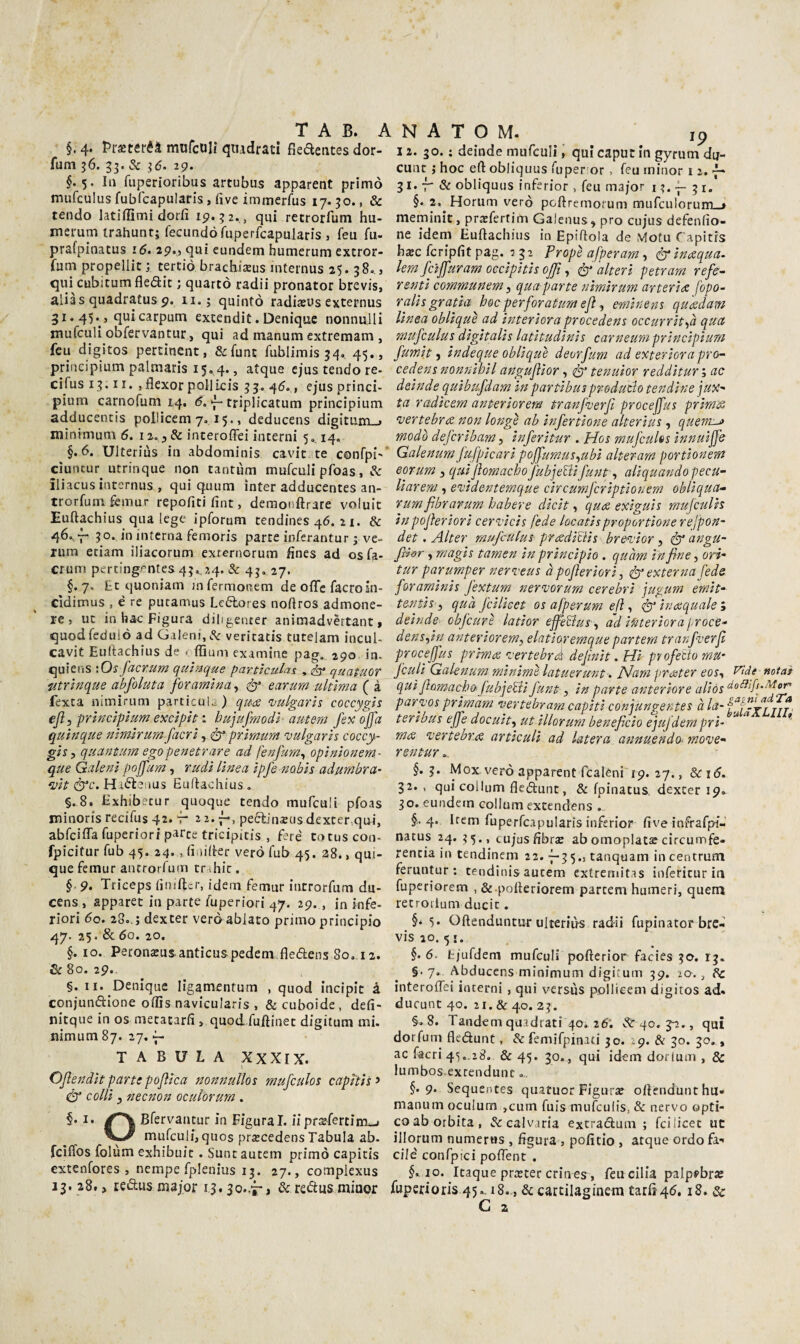 §. 4. Pi-setei-éà mufculì quadrati fiedentes dor- fum 36. 33. & 3(5. 29. §.5, la fuperioribus artubus apparent primo mufculus fubfcapularis, iìve immerfus 17.30., & tendo latiffimidorfi 19.32., qui retrorfum hu- merum irahunt; feciindòruperfcapularis , feu fa- prafpinatus i6> 29.) qui eundem humerum extror- fum propelliti tertiò brachisus internus 25. 38.., qui cubitumfle(ait ; quarto radii pronator brevis, alias quadratus 9. 11.; quinto radixus externus 31.45., quicarputn extendit. Denique nonnuili mufculi obfervantur, qui ad manum extremam , feu digitos pertinent, &:funt fublimis3q, 45* » principium palmaris 15.4., atque cjus tendo re- cirus13.11. ,flexor pollicis 33.4(5. , ejus princi¬ pium carnofum 14, (5.7-triplicatum principium adducentis pollicem 7. 15., deducens digitum-» minimum 6, 12. j & interoffei interni 5., 14. §.6. Ulteriùs in abdominis cavie te confpi'' cìuncur utrinque non tantum mufculi pfoas, iliacus internus , qui quum ìnter adducentes an- trorfuni fcmur repofiti fint, demonftrare voluit Euftachius qua lege ipforum tendines 46. 21. & 46^7- 30. in interna femoris parte inferantur j ve« rum etiam iliacorum exrernorum fìnes ad osfa* crum pertingentes 43. 24. & 43, 27. §.7. tt quoniam jafermonem de offe facroin- cìdimus , è re putamus Ledores nortros admone- re j ut in bac Figura diligencer animadvèrtant, quodfedulò adGalenj,«?c veritatis tutelam incul- cavit Euliachiiis de . ffiuni examine pag. 290 in. quieiìs '.Osfacrum quìnque partkulas , ^ quatuor utrinque abfoluta foramina ^ ^ earurn ultima ( à fexta nimirum particuU ) qu-£ njulgaris coccygis ejl 3 principium excipit i hujufmodi- autem fex ojfa quinque nimirum facri, primum 'vulgaris coccy- gis, quantim ego penetrare ad jenfum^ opinionem- que Galeni pojfum, rudi linea ipfe nobis adumbra- dr’e. Hadenus Eudaohius . §.8. Exhibecur quoque tendo mufculi pfoas minoris recifus 42. r ^ 2. r. pecìinsus dexter.qui, abfciffa fuperiori parte tricipitis , feré Cotuscon- fpicitur fub 45. 24. , iìiìilèer vero fub 45. 28., qui- que femur ancrorfum trahic. § 9. Triceps limftcr, idem femur Introrfum du- cens , apparet in parte fuperiori 47. 29., in infe- riori 6q. 28..; dexter vero ablato primo principio 47. 25. & 60. 20. §. IO. Peronseus anticuspedem fle(5ì:ens So. 12. & 80. 29.. §. II. Denique lìgamentum , quod incipit à conjun(3:ione offis navicularis , & cuboidc, defì- nitque in os metacarfi , quoti fu/linet digitum mi. nìmum87. 27,7- TABULA XXXrX. OJìendit partepojìica nonnullot mufeulos capìtìs > Ò colli 3 necnon oculorurn . §• I* Bfervantur in Figurai, iiptxfenìtii^ mufculi, quos pracedens Tabula ab. feiifos folùm exhibujt . Sunt autem primo capitis extenfores , nempe fplenius 13. 27., complexus 13. a8f, refìus major 13.30.,^-, & reftus minor N A T O M. ip 12. 30. ; deinde mufculi, qui caput in gyrum du- cunc ; hoc eft obliquus ftiper or, feu minor i 2. 7- 31. 7- & obliquus inferior, feu major 13. 31. §. 2, Horum vero pcftremorum mufculorum_> meminit, prasfertim Galenus 3 prò cujus defenfio- ne idem Euftachius in Epiftola de .Vjotu Capitis hsc fcripfit pag. : 32 Propè afperam, iniqua- lem feìffuram occipiti^ oJJÌ 3 ^ alteri petram refe¬ renti communem 3 qua parte nimirum arteridt fopo- ralis gratia hoc perforatum ejì 3 erninens quesdam linea obliquè ad interiora procedens occurrit3Ci qua mufculus digitalìs latitudinis carneum principium fumit 3 indeque oblique devrfum ad exteriora pro- cedens nonnibil anguflior, ér* tenuior reddìtur ; ac deinde quibufdam in partibusproduth tendine juX ta radicem anteriorem tranpverf procejfus primis njertebres non longè ab infertione alterius , ciueni-^ modo deferibam 3 inferìtur . Hos mufcuhs innuiffe Galenum fufpicari poffumus3ubi alter am portionem eoTum 3 qui jìomacho fubje'ciifunt 3 aliquandopecu- liarem , e%’identemque circumferìptionem obliqua- rum fbrarum habere dicit, qus exiguis mujculis inpojìeriori cer^icis fede locatìsproportione rejpon- det. Alter mufculus prsdiciis breAor 3 & angu- ftior 3 magis tamen in principio . quàm infine, ori' tur parumper nerveus à pofieriori, externa fede forarninis fextum nernoorum cerebri jugum emit- tentis 3 quà fcilicct os afperum efì 3 inacquale i deinde cbfcurì latior effèBus 3 ad interiora proce- dens3Ìn anteriorem, elatioremque partem tranfverfi proceffus prima <vertebrà delinit. Hi pvofeito mU' X j --j ''j j f*'if ^ tu tt'r cf tf i/\, ! r ^ -, paryos primam vertebram capiti conjungentes teribus effe docuit, ut illorum beneficio ejujdem pri~ ^ ma ‘vertebra articuli ad luterà annuendo-mo‘ve- rentur... §.3. Mox. vero apparent fcaléni 19. 27., &:it5. 32., qui collum fle(51:unt, & fpinatus, dexter 19. 30. eundem collum extendens . §.. 4, Irem fuperfcapularis inferior live infrafpi- natus 24. 35., cujusfibrjB abomopiat^circumfe- rencia in tendinem 22. 7-35., tanquam in centrum feruntur ; tendinis autem extremitas inferìtur in fuperiorem , & .pofteriorem partem humeri, quem retroilum ducic. §* 5* Oftenduntur ulteriùs radii fupinator bre¬ vis 10. 51. §.6. Irjufdem mufculi pofterior facies 3<:r. 13. §.7. Abducens minimum digitum 39. 20., Pc interoffei interni , qui versus pollicem digitos ad» ducunC4o. 21.&40. 23. §.8. Tandem quadrati 40, 26; ^ 40.3-2., qui dorfuni fle(5èunt, &femirpinaci 30. -9. & 30. 30,, ac facri 45,.28. & 45. 30., qui idem dorlum , & lumbos exrendunc §.9. Sequentes quatuor Figurte oftendunthu» manum oculum ,cum fuis mufeulis, & nervo opti- coab orbita, iJecalvaria extratftum ; feilicer uc illorum numerns , figura , pofitio , atque ordo fa¬ cile confpici poffent . §x IO. Itaque praeter crines, feucilla palpfbr» fuperioris 45.. 18., & cartilaginem tarft45.18. & G a