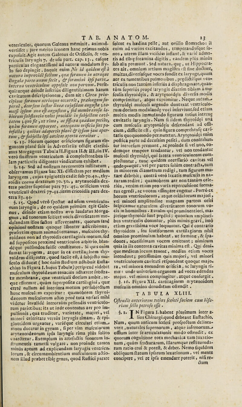 ventriculo:, quorum Galenus meminit , animaci, vertiflet ; jure merito iconem hanc primus nobis expofuit.Agic autem Galenus de Orificiis, Se ven- triculis laryngisy. de ufu pare. cap. 15., eafquc particulas elegantilTiniè ad natura modulum fìy- lo filo depingìt. Inquit enim Ne id quìdemejl à matura ìmprowdifaéum, qua: foramen In utraque linguUparte-unum fech, &foramìnì ìpjiparte^ interna ventrkulum appofuh nonpar^vum.Pevk^ quiturque deinde inferiùs diligentifsimam harum cavitatumdeferìptionem , dumaic : Circa prìn- cìphm foramen utrinque occurrit^ pralongumfu- pernè, deorfum infìar linea cujufdam angujìa ; ta- metjì ipfum non ejl angujlum ^ fed membranofa la- hiorum fubflantia ^elutprocidit in fubjeBam cayj- tatem ; quo fit y ut rima y ac fiffura quadam potihsy quàm foramen appareat y antequam orificia fintpa- tefana ; quibus adapertis planò è* ipfi^m^ jam aper*' tum y dr fubjeBa ipfi cavitas aperta cernitur . §.13. Horum quoque orificiorum figuram ele- gantem piane fuis in Adverfariis edidit clarifsi- mus Morgagnus Tabula II.Figura ir.& Ill.jin IV. vero finiftrum ventriculum à compleftentibus il- iam particulis diligenter vindicatum exhibet. §, 14. Sed ad noftrum revertentes inftitutum , obfervamus Figura hac XI. diffedam per medium laryngem > cujus epiglotcis cadic fub 7o.42.)thy- roidis corna dexterum 70. 50. , arytjenoidis dex- ter* pariter fuperior pars 73. 45., orificium vero ventriculi dexteri 77.41.jicem cricoldis pars dex-i tera 83.44. §.15. Quod véro fpedat ad ufum ventrìculo- Tuni laryngis , de eo quidem primùm egit Gale¬ nus » deinde etiam noftro sevo laudatus Morga¬ gnus , ad tonorum fcilicet vocis diverfitatem mo- dulandam illos fados affeverantes, quorum lane opinioni noftram quoque iibenter adferibimus, prsefertim quum animadvertamus , mufeulos thy- roidsos non ad thyroidiscartilaginis motum,fed ad fuppofitos proximè ventrjculos arbitrio, blan- dèque pulfandos fuiffe cc^nftitucos. Si quis enim fumar laryngem , atque in ea cartilaginem thy- roidem diligenter, quod facile eli, à fubjedo rau- fculo diducat ( hoc enim ftudium adhibuic £ufta- chius in Figura I. hujus Tabulse) perfpicuè videbit mukulum thyroidseuin tenaciùs adhserere fnbftra- t£B membransB, qux ventriculi dorfum ambir, at¬ que efformac , quàm fuperpofitse cartilagini » qux certe nullum ad interiora motum per fubjedum hunc mufculiun experitur : quatnobtem thyroi- dsEorum mufculorum adio pene tota verfari mihi videtur invalide introrsùm pellendis ventriculo- rum parietibus; ita ut inde concentus aer prò ira- pulfionis ,qua truditur, varietate , majori, vel minori celeritate versus laryngis rìmam, & epi- glottidem urgeatur j varièque circulari etiam-» mocu ducatur in gyrum , fi per vim mulculorum arytjenoidsEorum ipla laryngis rima plùs folico coardetur, Exemplum in artefadis fonorum in- llrumentis tametfi vulgate » non proinde tamen rninùs aptum ad explicandam laryngis ventricu. lorum ,& circumambientium mufculorum adio- nem illud prsebet tibie genuSj quod Rullici parare folent ex hardina pelle, aut ovillo ftomacho; li enim ad varios excitandos , temperandofque fo- nos » utrem illam v/cifsiQi inflant,& varie admo- tis ad tibif foramina digitis , eandem plùs rninùs fub alis premunt. Sed natura, qug , ut Hippocra- tes ait, omnium artium magiftra eli fine dodore, multas,diverfafque voces fundit ex larynge,quuin aer ex tumentibus pulmonibus , prgdidifque ven- triculis non tantum inferiùs à diaphraginate,quan- tùm fuperiùs propè laryngis dixerim tibiam àmu- fculis thyroidgis, & aryt^noideis diverfismodis comprimitur, atque exprimitur. Neque autedi-> thyroidgi mufculi urgendo duntaxat ventticulo- rum dorfum modulando voci inferviunt,fed etiam multis modis immutando figuram totius intern| cavitatis laryngis. Nam fi iidem thyroidei unà cum mufculls arytfnoideis defeendant ad offi- cium , difficile eli, quin figura comprehenf? cayi- tatis quoquomodo permutetur. Aryt^noid^i enim pollica parte ad decufsim politi, dum contrahum tur introrfum premunt, ac proinde fi vel uno, eo- demque tempore tendantur, vel non tendantuc mufculi thyroidgi,qui latcra ventriculornm com- pleduntur, tunc quidem necelTario cavitas vel undequaque, vel per partes folùm contrada,tiim in minorem diametrura redigi, tum figuram mu¬ tare debebit ; oontrà vero laxatis mufeuiis in na- turam redire; quamobrem aer non tantum cele- riùs, verùm etiam prò varia repercufsione forma- tus egredi, ac vocem effingere cogetur. Porrò ex horum ventriculorum, atque orificiorum majori, vel minori amplitudine magnani partem oriti lulpicamur naturalem diverfitatem tonorum vo¬ cis in hominibus . Ecenlni qui prominentiori, ma- joriquethyroide funt prediti ; quoniam ampliori- bus ventriculis donantur, plùs rninùs gravi, imo etiam gravifsima voce loquuntur. Qui è contrario thyroiclem , feu feutiformem cartilaginem nihii omnino prorainulam habent, ut foemina;, & fpa- dones , acutifsimam vocem emittunt ; nimirum quia in iis contenta cavitas minima eli. Qui deni- que medium locum tenent, medias etiam voces intendunt; potiffimùm quia majori, vel minori ventriculorum cavitati refpondent quoque majo- ra , vel minora eorundem orificia , ac laryngis ri- mcE : unde univerfum organum ad voces edendas majus. vel minus conipingitur, atque confurgic. §.16. Figura XII. cartilaginem arycsenoidem mufeuiis omnino denudatam oltendit, tabula xliii. Ojlendit anteriorern totius feekti faciem cum bifu' riam feUo petrofo ojfe . §. I. T N Figura l. habent plurimum intera- X liosChirurgi.quoddebeant Euftachio, Nam, quum anticum fceleti profpedum delinea- verit, naturales fupernorum , atque infernorum_» offium inter fe articulationis modo ollendic, ex quorum cognitione tota mechanica tam luxatio- num , quàm fradurarum, illarumque rcllituenda- rum ratio crui & potell, &debec. Nemo fiquldem obliquum llatum ipfarum luxationum , vel mente concipere , vel re ipfa emendare poterit, nifi re* dum