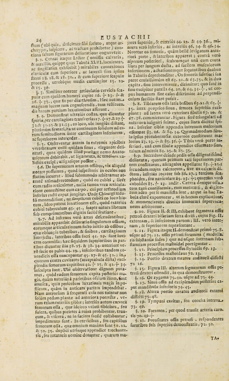 élum ( ul>l Cuis, tiefìcietue fibi fcelcto , acque ar- chff^^po , infplcerc > ac traftare prohibetur } con¬ cinna fakem fìgurarum delineatione cognoveric. S. 2. Cecnac itaque Ledor ( oniiilis calvana , & inaiiillisi quippe quas Tabula XLVI.luculenter, a*c fin^iUatitn exhibcbit ) mirabi!es connexiones craviculsB cum fuperiore , ac laterali fuiu ipfius Aerili 18. & i8.50.. & cum fuperiore fcapulx proceffu , utrobique media carcilagine 15. 22. ^ §.^3.^SimiliteriK>tecar artleulatlo ccrvicis Ica- pulJE cum ejurdem humeri capite 16. tf-^ 2.6, ^ ** 5* » qua: fìc per diarthrofini, Hxc auteiri—» inaq'nam iucem tuoi cognofcendis , tum refticuen, dis'harum partìum luxacionibus afFerunc • §. 4* Demonftrat ulterjus coftasj quK dicuntur fpùrix^pefcartilagincs tranfverfasiy.fzy.&ayj- 3 2..S: 51.25.& 5i.53->eo loco, ubi longiùs diftant, plurimùm firmari,ita ut continuum folidum ad ea- lum firmitudinsm inter cartilaginem ìnferiorem ^ ad rupcriorem intercedat.. §.5. Obferventur autem in extremis apicibus ^•ertcbraruni colli quidam finus, eleganter deli¬ neati , quos quidem illud praeftare nemo Anato- ir.ìcorùm dubitabic ,ut Iigamenta,ac tendiues va- lidiiìs cxcipi, alligarique polBnc .. §,6. De fupernorum artuum ombur, vix aliquid notare poffumus, quod infpefloris in oculos non ilatim ìncurrat. Illud folummodo arbicramur at¬ tente animadvercendum , quòd os cubiti , licce cum radio articuletur, nulla tamen vera arcicula- tione conneftitur cum carpo, cui per arthrodiam inferius radii caput jungitur. Unde Chirurgi Peda¬ lò monendi fune, ne fimplitem cubiti eo loco hia- tum , ideo putenc luxationem effe, quod exteniis cubiti tuberculutn 45* 45 •> fuapte natura liberum fub comprimentibus digitis facile fentianc. §.7. Ad infernos vero artus defeendentibus tniràbins apparebic delineati© fingulorumoffium, corumque articulationum faiSto initio ab offibus ^ «use oblongis tuberibus, & finibus , cartilaginum anterjciS^u, lateribus ollìs facri 4^* ap» fune invi* cem commiffa; hzc fiquidem fuperioribus in par- tibiis dicuntur ilia 38. 25* & 38* 34* anteriore ve¬ lò facie OS pubis 44. 29., inferioribus tandem eo- xendicis offanuncupantur 45. 27. &45. 32.J inj quorum centra cavitates (acceptabula dia;a)^exci- picndis femorum capitibus 4^» a5• 4^* T 34* Infculpta {unt. Ubi obfcrvatione dignum puta- jnus, quòd eadem femorum capita pofteriùs ma- gls.quàm anterius à pariecibus ofsiura ilìum.iint munita, quiapericulum luxationis magis inpo- fìicam, quàm in anticam partem inapendebat. Nam ancrorfum à frequenti cafu nos tuentur non folùm pedum plantx ad anteriora porreótae, ve- rum eciamexteriùs gibbx ; interiùs autem carvatt femorum offa , quse idcirco velati tibicines , feu fulcra, quibus parietes à ruina prohibencur, trun- cum, & vifeera, ne in faciem facilé collabantur » impedimento funt. In cervicibus , feu capitibus femorum offa, qua:omnium maxima fune 50.22. & 50. 35. duplici utrinque appendice trochante- tis, feu rotatoris nomine donasneur, quarum ma- EUSTACHir jores fuperiùs,& extcriùs44. 22. & 44* 5^*j nores vero inferiùs , ac interiùs 46. 24. & 46* 34* Notetur os femoris, quàm belle levigatum^ ante¬ riori parte , &lateribus appareat ; contrà vero afperum polieriori, fcabrumque unà cum cauta linea per longum duaa, ad facilem mufculorum infertionem , adhsefionemque fequentibus duabus in Tabulis deprehenditur. Os femoris fnferiori Tua parte crafsifsimùm eft 6^. 21.& 63*35‘> ^ capita, finu interveniente, dirimitur; quo fané in linu excipitur patella 64. 20. & 64.3 ^ • v > pus humanum fine cafus diferimine ad perpendi- ctilum faciliùs ilare pofsit. §. 8. Tibiarum olla latis bafibus <^5* T 35. intra pioprios finus , femora fuperius exci- piunt ; ad latera vero exteriora fibulis 67. 20. 6c 67.36.commktuntur .Figura feré triangulari ad anteriora iafigniri folent, cujiis linea dicitur fpi- na.Inferior tibìx appendixinternum maleolum eifocoiac 83. 26. & 84. 34. Quemadmodum fibu¬ la: ipfius protuberantia: externos conftituunt ma», leolos 83. 23. f & 85.3(5.4- Tibia vero parte in¬ feriori , unà cum fibulae appendice effornìato finu, taluni admittit 84. 25. 8: 85. 35. -r* ' , §.9. Succedunt deinde pedis offa diligcntìfsime delineata , quorum primum tali fuperiorem par¬ tem conftituens, ailragalus appellatur 83. r;^5*; fecundumma/us calcaneum , five os calcaris di. ^ura, inferiùs iocatur fob 8ò« 27.1 tercium fca- phoidesjfeu navicu]are85. 23. T-jquartOm vero cuboides85.r 23* audit. Cietera denique offa-» tum tarfi cuneiformia » cum ractatarfi , & digito- rum adeo per fe manifefla funt, atque in hac Ta¬ bula clarè exponuntur, ut in horum explicatione,'' & momenclaturis diutiùs immorari fupervaca- neum arbitremur. §. IO. Figura II, & III, cxhibcnt fegmenta ollìs petrofi dexteri bifariam ferra divifi , cujus Fig. Il* externam, & inferiorem partem ; III. vero intcr;; nam , & fuperiorem reprsefentant. §. 11. Figura itaque Il.demonilrat primo 75.8. ufque ad 75. 11. offis petrofi foramma ( mecìullaJ ris fùbftantia: fedes ) qu^ ad ufque internam fub- ilantikm proceffus mailoidxi porriguntur . §. 12. Priucipium proceffus llyloidis (5p. 13. §.13. Proceffus maftoidxus 72. 13. §. 14. Portio dextera meatus auditori! dille(9:i 72 16. §.15. Figura III. alterum fegmentum olSs pe^ troll dexteri oftendit, in qua demonffrantur. §. 16. Os zygoma 75.40. ufque ad 75. 44* §. 17. Sinus offis ad excipiendum pofteriùs ca¬ put mandibulx inferioris 74. 45. §.18. Altera pertio meatus audicorii externi differii 75* 4^* §. 19. Tympani cavitas, feu concha interna-» 73. 49. §. 20. Forameli; per quod tranfit arteria caro, tis 70.49- f- j, 21. Porofitates offis petrofi » refpondentes fororibus fuis foperiùsdemonftratis, 72. 50. TA*