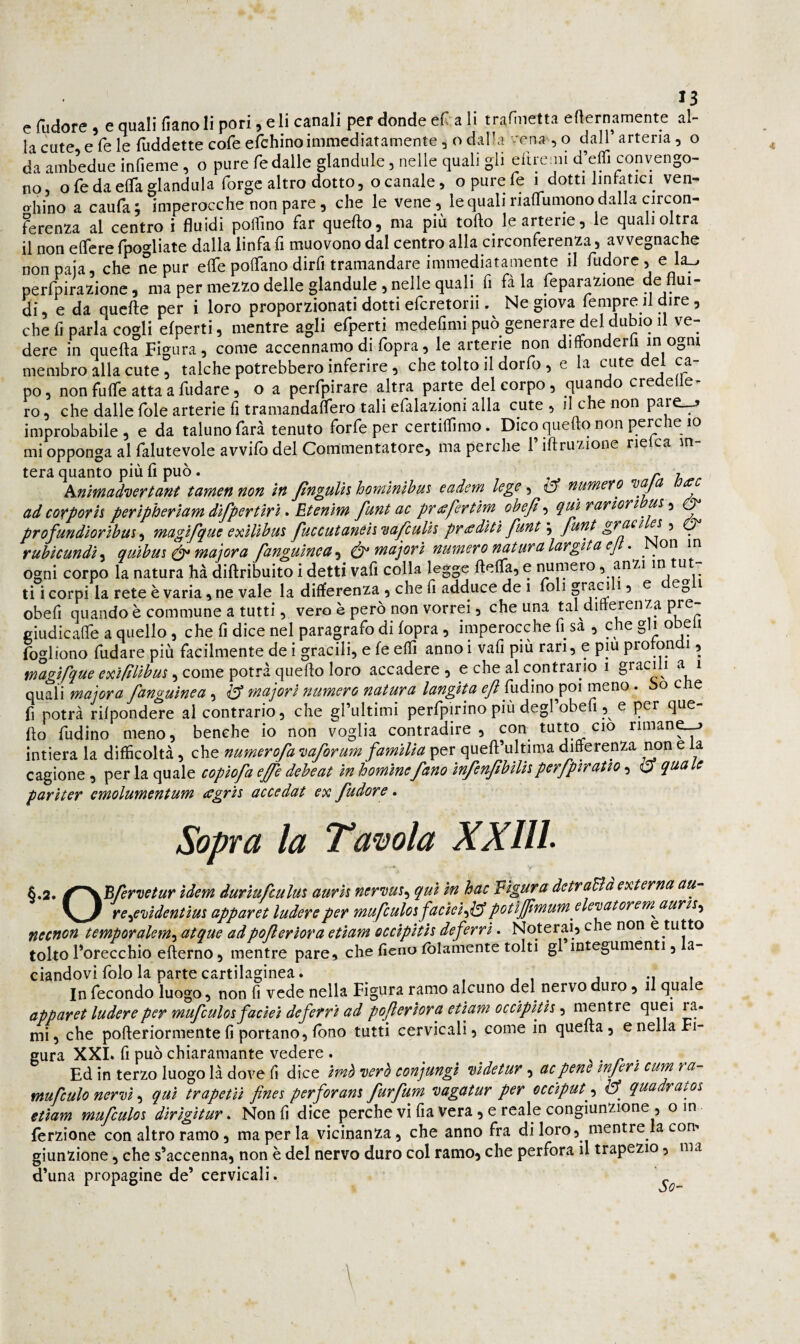 eTudore, equaIi(ianoiipori,elicanaliperdondeeCali trafìnetta efternamente al- la cute e fé le luddette cofe efchinoimmediatamente, o dalla vena , o dall arteria, o da ambedue infieme, o pure fé dalle glandule, nelle quali gli eiiremi d’effi convengo¬ no, o fé da eflfa gianduia forge altro dotto, ocanale, o pure fé i dotti linlatici^ ven- erbino a caufa; imperocché non pare, che le vene, le quali riallumono dalla circon¬ ferenza al centro i fluidi pofllno far quello, ma più tofto le arterie, le qualioltra il non elfere fpogliate dalla linfa fi muovono dal centro alla circonferenza, avvegnaché non paia, che ne pur elle polfano dirfi tramandare immediatamente il fudorc , e la^ perfpirazione 5 ma per mezzo delle glandule , nelle quali fi fila feparazione ae flui¬ di, e da quelle per i loro proporzionati dotti efcretorii. Ne giova tempre il dire , che fi parla cogli efperti, mentre agli efperti medefimi può generare del dubio il ve¬ dere in quella Figura, come accennarne di fopra, le arterie non diffonderli in ogni membro alla cute, talché potrebbero inferire , che tolto il dorfo , e la cute del ca¬ po , non fulfe atta a fudare, o a perfpirare altra parte del corpo, quando credelle^ ro, che dalle fole arterie fi tramandanero tali efalazioni alla cute , il che non pare_^ improbabile, e da taluno farà tenuto forfè per certilfimo. Dico quello non perche io mi opponga al falutevole avvifo del Commentatore, ma perche l’illruzione rielea in¬ tera quanto più fi può. . ^ , hnìfnad'uev’tant tcwteft non in Jtngulh homìnihui eadem lego, iff nuvnexo ’oaj ad coTpofh perìpherlam dìfpertìr'i <■ Etenìm funt ac pr^fertìvn ohejlqmrariort -ì & profundìorìhui-i magìfque exìlìhm fuccutaneh'nafculh prtediti funt \ funt gract& ruhìcundi^ quihui ^ majora fanguinca-^ ^ma 'pvì numero natuva lavgita ej . _on in ogni corpo la natura hà diftribuito i detti vafi colla legge ftelfa, e numero ^ J^uzi ti i corpi la rete è varia, ne vale la differenza , che fi adduce de i foli * 5 ^ ^ obefì quando è commune a tutti, vero è però non vorrei, che una tal dmerenza pre giudicaffe a quello, che fi dice nel paragrafo di (opra , imperocché fi sa , che gli obeli fogliono fudare più facilmente de i gracili, e fe efli anno i vafi più rari, e piu protendi, magìfque exifilihm accadere, e che al contrario 1 gracili ai quali major a fanguìnea, èf majori numero natura langita ^ fudino^poi meno . 00 cne fi potrà rifpondere al contrario, che gl’ultimi perfpirino più degl obefi, e per que fto fudino meno, benché io non voglia contradire , con tutto ciò riman^ intiera la difficoltà, che numerofa vaforum familìa per quefl’ultima differenza non e la cagione, per la quale copiofa effe deheat in hominefano infenfihìlìiperfpiratto, quale parìter emolumentum agrh accedat ex fudore. Sopra la Tatuala XXUh §.2. necn^emporalem^ atquVadpokerìora Hìam occipith deferri. Noterai, che non è tutto toltoflorecchio efterno, mentre pare, che fienofblamente tolti gl integumenti, a- ciandovi folo la parte cartilaginea. m i In fecondo luogo, non fi vede nella Figura ramo alcuno del nervo duro, il qua e apparet ludereper mufculosfacieì deferri ad pOjderiora etiam occipith mentre quei ra- mi, che pofteriormente fi portano, fono tutti cervicali, come in quella, e nella Fi¬ gura XXI. fi può chiaramante vedere . ^ ^ . Ed in terzo luogo là dove fi dice imò vero conjungì videtur, ac pene ìnferi cum ì a- mufculo nervi ^ qui trapetii fnes perforans furfum vagatur per occiput -, & quadram etiam mufculoi dirìgitur. Non fi dice perche vi fia vera, e reale congiunzione , o in ferzione con altro ramo, ma per la vicinanza, che anno fra di loro, mentre la con¬ giunzione , che s’accenna, non è del nervo duro col ramo, che perfora il trapezio, ma d’una propagine de’cervicali.