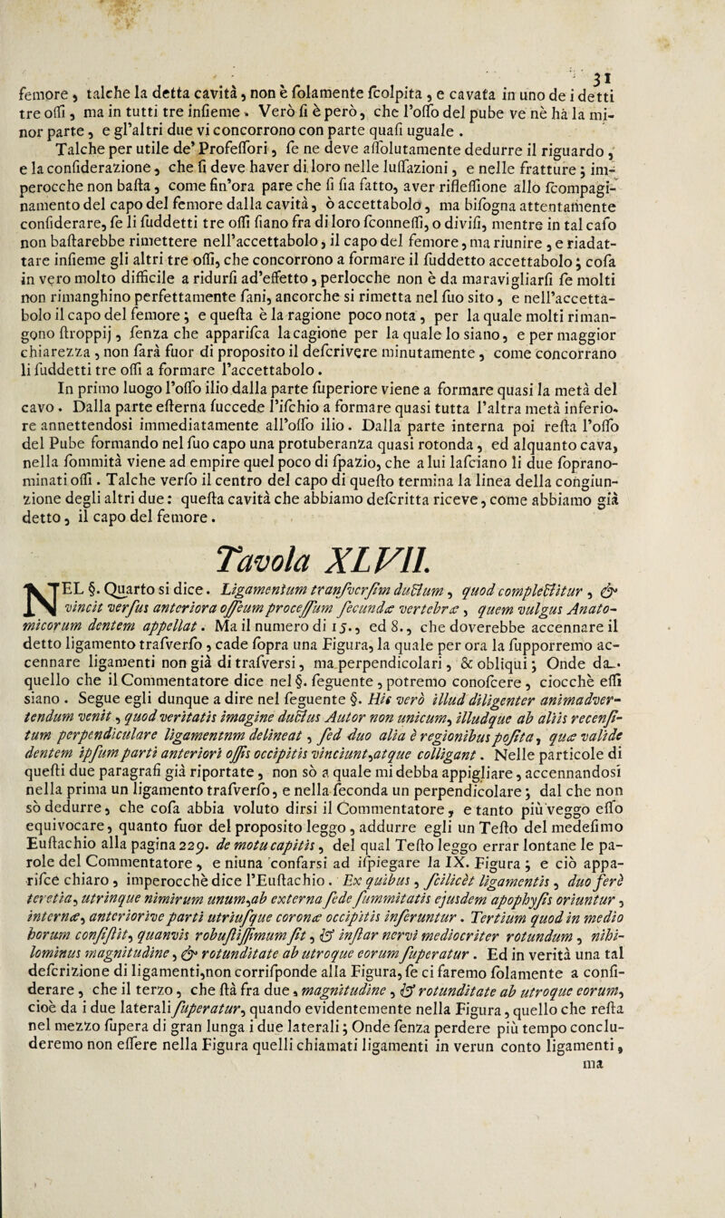 femore > talché la detta cavità, non è folamente fcolpita , e cavata in uno de i detti treolTij ma in tutti tre infieme . Vero fi è però, che TolTo del pube ve nè ha la mi¬ nor parte, e graltri due vi concorrono con parte quali uguale . Talché per utile deVProfelTori, fé ne deve alTolutamente dedurre il riguardo, e la conridera2:ione, che fi deve haver di, loro nelle lulTazioni, e nelle fratture j im-; perocché non balla, come Un’ora pare che fi fia fatto, aver riflelfione allo Icompagi- namento del capo del femore dalla cavità, ò accettabolo, ma bifogna attentamente confiderare, fe li fuddetti tre olfi fiano fra di loro fconnelfì, o divifi, mentre in tal cafo non baftarebbe rimettere neiraccettabolo, il capo del femore, ma riunire , e riadat¬ tare infieme gli altri tre olii, che concorrono a formare il fuddetto accettabolo ; cofa in vero molto difficile a ridurli ad’elfetto, perlocche non è da maravigliarli fe molti non rimanghino perfettamente fani, ancorché si rimetta nel Tuo sito, e neiraccetta¬ bolo il capo del femore ; e quella è la ragione poco nota, per la quale molti riman¬ gono llroppij, fenza che apparifea la cagione per la quale lo siano, e per maggior chiarezza , non farà fuor di proposito il deferivere minutamente, come concorrano li fuddetti tre olfi a formare Taccettabolo. In primo luogo Tolfo ilio dalla parte fiiperiore viene a formare quasi la metà del cavo. Dalla parte ellerna fuccede l’ifchio a formare quasi tutta l’altra metà inferio^ re annettendosi immediatamente all’olfo ilio. Dalla parte interna poi rella l’olfo del Pube formando nel fuo capo una protuberanza quasi rotonda, ed alquanto cava, nella fommità viene ad empire quel poco di fpazio, che a lui lafciano li due foprano- minati olfi . Talché verfo il centro del capo di quello termina la linea della congiun¬ zione degli altri due : quella cavità che abbiamo delcritta riceve, come abbiamo già detto, il capo del femore. Tavola XLVll Nel §. Quarto si dice. Lìgamenìum tranfucr/ìm duBum, quod compUBìtur , ò* Dìncìt nerfm anterìora oj/eumproceffum fecundes ‘uertehne, quem mlgus Anato^ mìcorum dente m appellata Ma il numero di ij., ed 8., che doverebbe accennare il detto ligamento trafverfb , cade Ibpra una figura, la quale per ora la fupporremo ac¬ cennare ligamenti non già di trafversi, ma.perpendicolari, & obliqui \ Onde da-* quello che il Commentatore dice nel §. feguente, potremo conofeere, ciocche elfi siano . Segue egli dunque a dire nel feguente §. Rie vero Ulud dìUgenter ammadver^ tendum venit, quod verìtath ìmagìne duBm Autor non unicum^ ìlludque ah aVth recenjì- tum perpendiculare lìgamentnm delìneat fed 4uo alia è regìonìhmpojìta^ quee valide dentem ìpfumparti anteriori ojjìi occipith vinciunt^atque colligant. Nelle particole di quelli due paragrafi già riportate, non sò a quale mi debba appigliate, accennandosi nella prima un ligamento trafverfb, e nella feconda un perpendicolare ; dal che non sò dedurre, che cofa abbia voluto dirsi il Commentatore, e tanto piùVeggo elfo equivocare, quanto fuor del proposito leggo, addurre egli un Tello delmedefimo Eullachio alla pagina 22p. de motucapith, del qual Tello leggo errar lontane le pa¬ role del Commentatore , e ninna confarsi ad ifpiegare la IX. Figura ; e ciò appa- rifee chiaro, imperocché dice l’Euflachio. Ex quìbui, fcilicèt ligamentis, duo ferè teretia^ utrinque nimirum unum^ah externa fede fummitatis ejuidem apophyfs oriuntur, intcrnee^ antcriorìve partì utrìufque cor once occipiti^ inferuntur. Tertium quod in medio horum confiftit^ quanvh robuftifìmum ft^l^ ìnflar nervi mediocriter rotundum, nihi- lominm magnitudine, ^ rotunditate ab utroque eorum fuperatur. Ed in verità una tal delcrizione di ligamenti,non corrifponde alla Figura, fe ci faremo folamente a confi¬ derare , che il terzo, che flà fra due, magnitudine, Igp rotunditate ab utroque eorum-) cioè da i due Ì^LttrsXifuperatur) quando evidentemente nella Figura, quello che rella nel mezzo fupera di gran lunga i due laterali ; Onde fenza perdere più tempo conclu¬ deremo non elfere nella Figura quelli chiamati ligamenti in verun conto ligamenti, ma