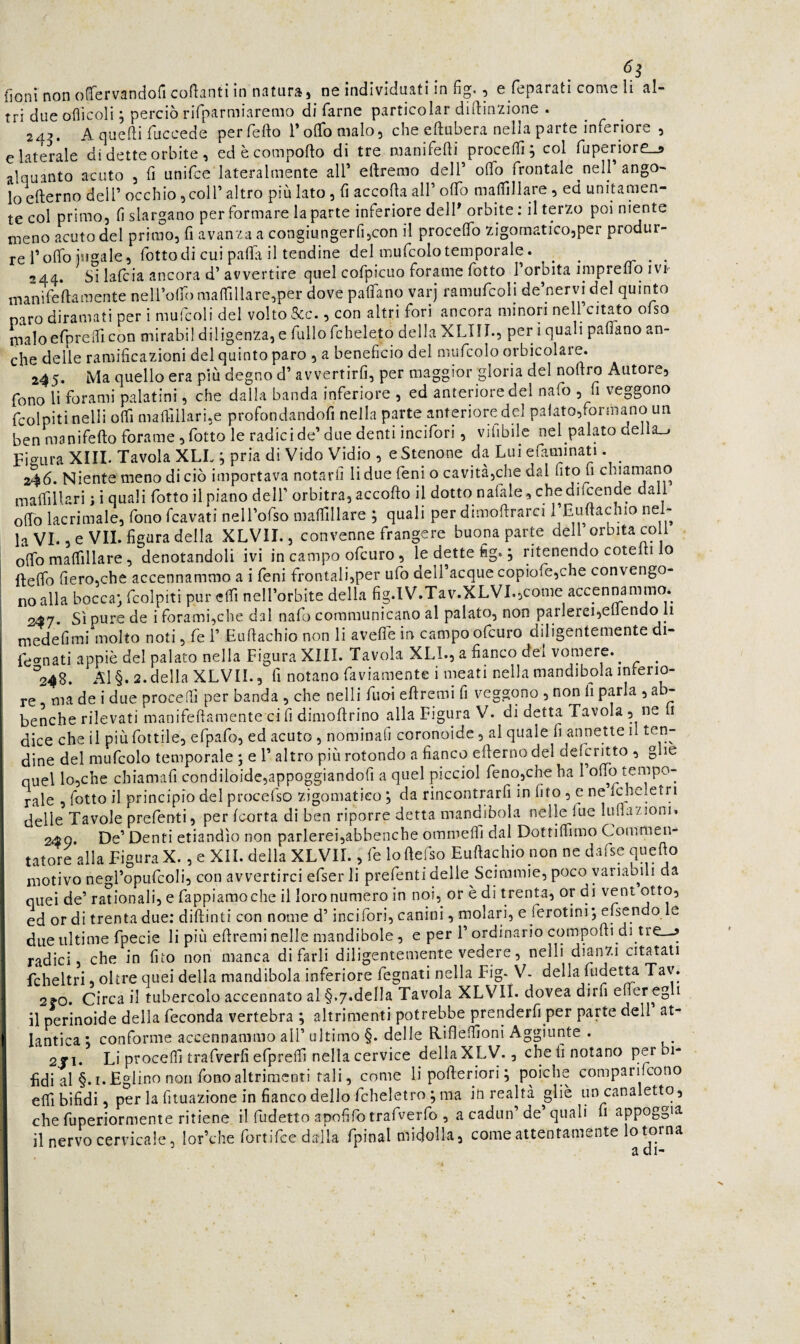 _ fioni non oOfervandoG colanti in natura j nc individuati in fig. ^ e fcparati con\e li al¬ tri due oflìcoli j perciò rirparmiaremo di farne panicolar diftinzione . 24?. A quelli fuccede perfello TolTonialo, che ellubera nella parte inferiore , e laterale di dette orbite , ed è compollo di tre manifefli procelTi; col fuperjore_5 alquanto acuto , lì unifce lateralmente alf eftremo dell’ olfo frontale nell ango¬ lo ellerno deir occhio 5coir altro più lato, fi accolla all’ olfo malfillare, ed unitamen¬ te col primo, fi slargano per formare la parte inferiore dell* orbite ; il terzo poi niente meno acuto del primo, fi avanza a congiungerf^con il procelTo zigomatico,per produr¬ re l’olfo jngale, fottodi cui paffa il tendine del mufcolo temporale . ^ ^ zr • • 244. Si lafcia ancora d’ avvertire quel cofpicuo forame fotto l’orbita impreffo ivr manifeflamente neirolfo mairillare,per dove palfano vaiq ramufcoli de’nervidel quinto paro diramati per i mulcoli del volto Scc., con altri fori ancora minori nell citato ofso maloefprelTicon mirabil diligenza, e fullofcheleto della XLIII., per 1 quali paffano an¬ che delle ramificazioni del quinto paro , a beneficio del mufcolo orbicolare. 24<). Ma quello era più degno d’ avvertirli, per maggior gloria del noftro Autore, fono li forami palatini, che dalla banda inferiore , ed anteriore del nafo , fi veggono fcolpitinelli olfi mafilllari.e profondandofi nella parte anteriore del palato,formano un ben manifefio forame 5 fotto le radici de’due denti incilbri, vilibile nel palato della_j Figura XIII. Tavola XLL ; pria di Vido Vidio , e Stenone da Lui efaminati. ^ 246. Niente meno di ciò importava notarli li due feni o cavitàjche dal fito fi chiarnano malfillari ; i quali fotto il piano dell’ orbitra, accorto il dotto nafale^ chedilcende dall orto lacrimale, fono fcavati nell’ofso mafiillare ; quali per dimortrarci l’E^fiachio nel¬ la VI., e VII. figura della XLVII., convenne frangere buona parte dell orbita coll orto martillare, denotandoli ivi in campo ofcuro, le dette fig. ; ritenendo cotelti lo fterto fiero,che accennammo a i feni frontali,per ufo deiracquecopiofe,che convengo¬ no alla boccaj fcolpiti pur elfi nell’orbite della fig.lV.Tav.XLVL,come accennammo. 247 Sì pure de i forami,che dal nafo communicano al palato, non parlerei,eliendoi li medefimi molto noti, fe 1’ Eurtachio non li aveflfi in campo ofcuro diligentemente di- feo'nati appiè del palato nella Figura XIII. Tavola XLI., a fianco dei vomere. ^ ^ ^^248. Al §. 2. della XLVII., fi notano faviamente i meati nella mandibola interio¬ re ma de i due procedi per banda , che nelli fuoi ertremi fi veggono , non li parla , ab- benche rilevati manifeftamente ci fi dimortrino alla Figura V. di detta Tavola , ne li dice che il più fiottile, efpafo, ed acuto , nominali coronoide, al quale fi annette il ten¬ dine del mufcolo temporale ; e 1’ altro più rotondo a fianco erternodel defcritto , glie quel lo,che chiamali condiloide,appoggiandoli a quel picciol feno,che ha 1 orto tempo¬ rale , fiotto il principio del procefso zigomatico j da rincontrarfi in fito , e ne fcheletri delle Tavole preferiti, per Icorta dì ben riporre detta mandibola nelle fue luflazioni. 249. De’ Denti etiandìo non parlerei,abbenche ommefii dal Dottilfimo Commen¬ tatore alla Figura X., e XII. della XLVII., fe lortefso Eurtachio non ne dafse quello motivo negl’opufcoli, con avvertirci efser li prefenti delle Scimmie, poco variabili da quei de’ rationali, e fappiamoche il loro numero in noi, or è di trenta, or di vent ed or di trenta due: dirtinti con nome d’incifori, canini, molari, e ferotini*, ertendo le due ultime fpecie li più ertremi nelle mandibole, e per l’ordinario comporti di tre_-> ' radici, che in fito non manca di farli diligentemente vedere, nelli dianzi citatati fcheltri oltre quei della mandibola inferiore fegnati nella Fig. V- della fudetu Tav. ' 2fO. Circa il tubercolo accennato al §.7.della Tavola XLVII. dovea dirfi erter egli il perinoide della feconda vertebra ; altrimenti potrebbe prenderfi per parte dell at- I lantica ; conforme accennammo all’ ultimo §. delle Riflefiìoni Aggiunte . 2J1. Li procerti trafverfi efprerti nella cervice della XLV., che fi notano per bi¬ fidi al §.i. Eglino non fono altrimenti tali, come liporteriori; poiché comparifcono erti bifidi, per la fituazione in fianco dello fcheletro ; ma in realtà gliè un canaletto, che fuperiormente ritiene il fudetto apofifo trafverfo , a cadun’de’quali fi appoggia il nervo cervicale, lor’che fortifce dalla fpinal midolla, come attentamente lo torna a di-