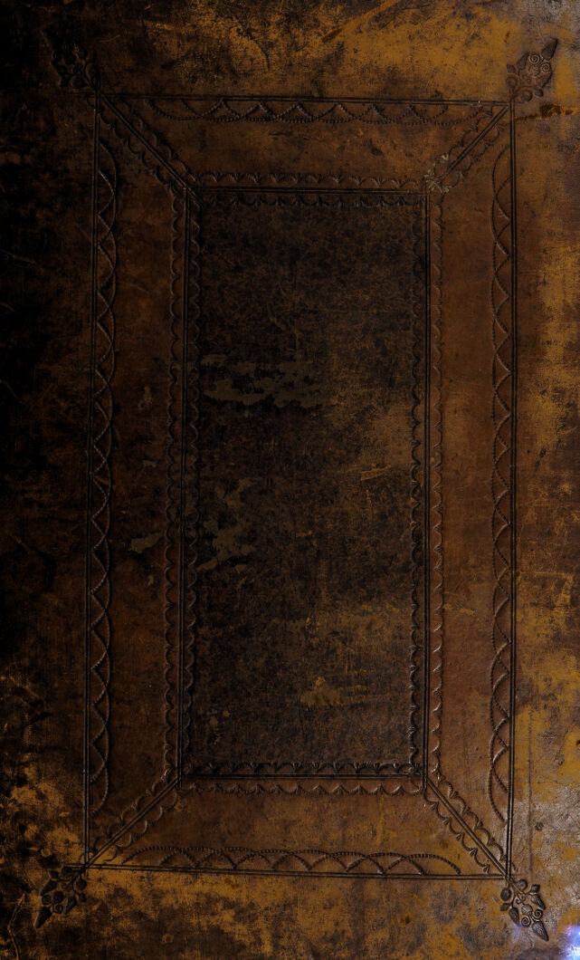 digitised image 1