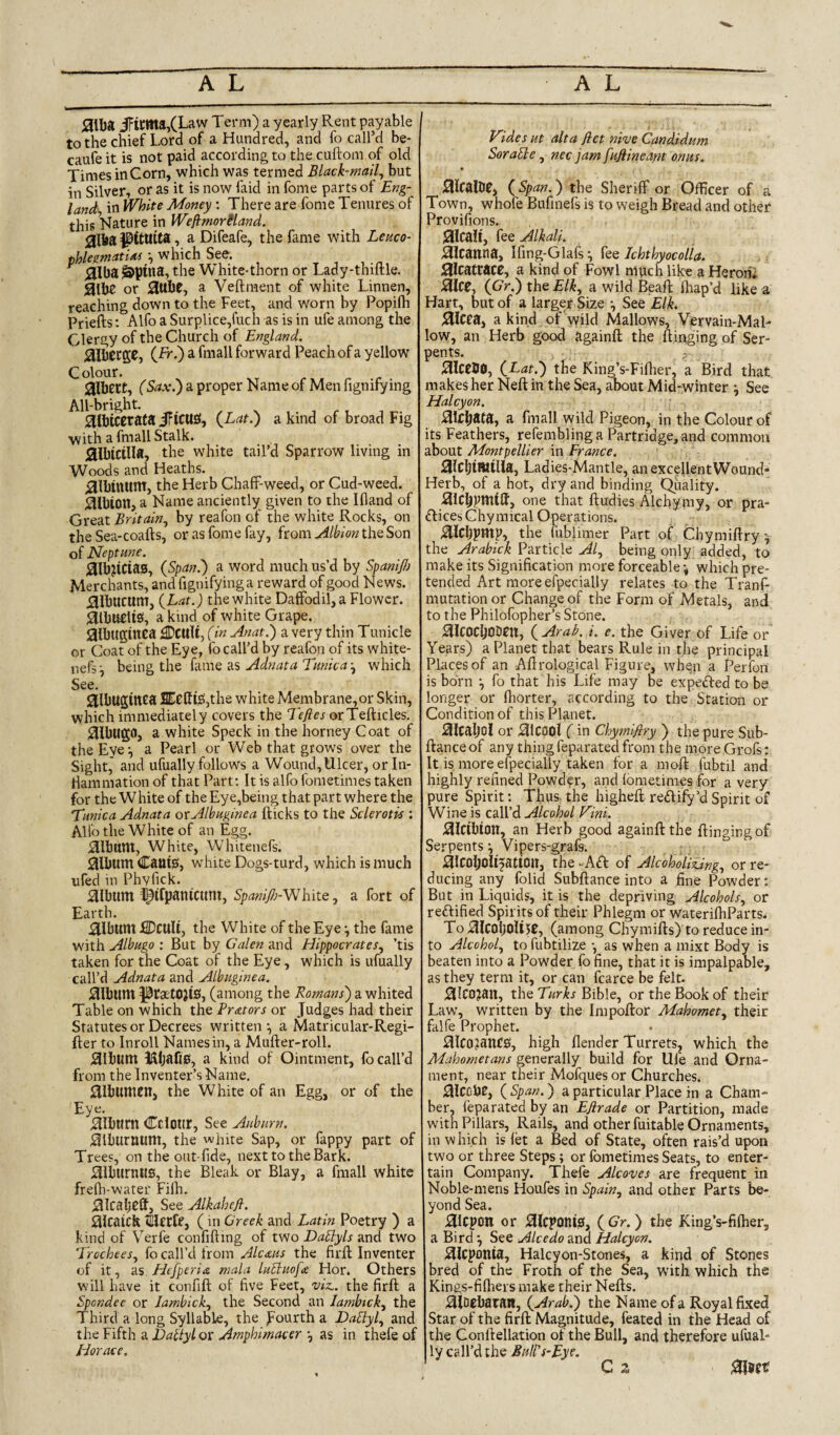 aillja iFirma,(Law Term) a yearly Rent payable to the chief Lord of a Hundred, and fo call’d be- caufe it is not paid according to the cuftom of old Times in Corn, which was termed Black-mail^ but in Silver, or as it is now laid in fome parts of Eng- lanck in Vf^hite Money; There are fome Tenures of this Vlature in WejimorSland. alia , a Difeafe, the fame with Leuco- phlesmatioi ^ which See. ^ alba &pina, the White-thorn or Lady-thiftle. aibe or auIJC, a Veftraent of white Linnen, reaching down to the Feet, and worn by Popilh Priefts: Alfo a Surplice,fuch as is in ufe among the Clergy of the Church of England. aibccge, (Tr.) a fmall forward Peach of a yellow C olour. aibetC, (Sax^ a proper Name of Men fignifying All-bright. aibicerata iFiCUS, (^Lat.) a kind of broad Fig with a fmall Stalk. 0lbicilIa, the white tail’d Sparrow living in Woods and Heaths. ^Ibinitnt, the Herb Chaff-weed, or Cud-weed. SHbion, a Name anciently given to the Ifland of Great Britain., by reafon of the white Rocks, on the Sea-coafts, or as fome fay, from the Son of Neptme. ^Ib^iCias, (Span.') a word much us’d by SpaniJ/j Merchants, and fignifyinga reward of good News. J31bucum, (Lat.) the white Daffodil, a Flower. ;aibli£liS, a kind of white Grape, albuginea (in Anat.) a very thin Tunicle or Coat of the Eye, fo call’d by reafon of its white- nefs^ being the fame aswhich See. albuginea )BEetti;S,the white Membrane,or Skin, which immediately covers the Tefies orTefticles. Albugo, a white Speck in the homey C oat of the Eye-, a Pearl or Web that grows over the Sight,' and ufually follows a Wound,lllcer, or In- riammation of that Part; It is alfo fometimes taken for the White of the Eye,being that part where the Tmica Adnata ox Albuginea flicks to the Sclerotis : Alio tlie White of an Egg. aibttttt, White, Whitenefs. album CauiiS, white Dogs-turd, which is much ufed in Phyfick. album ^ifpanicum, SpaniJJ}-Y^Kitta fort of Earth. ailbum ^Dculi, the White of the Eye ^ the fame with Albugo ; But by Galen and Hippocrates., ’tis taken for the Coat of the Eye, which is ufually call’d Adnata and Albuginea. album l^rattOjiS, (among the Romans) a whited Table on which the Prators or Judges had their Statutes or Decrees written-, a Matricular-Regi- fler to Inroll Names in, a Mufter-roll. album ^SljaCp, a kind of Ointment, fo call’d from the Inventer’s Name. albumen, the White of an Egg, or of the Eye. alburn CdOttr, See Auburn. alburnum, the white Sap, or fappy part of Trees, on the out-fide, next to the Bark. aiburnH0, the Bleak or Blay, a fmall white frefh-water Filh. aicabefll. See Alkahefl. aicaick llerfr, (in Creek and Latin Poetry ) a kind of Verfe confifting of two DaSlyls and two Trochees., fo call’d from Alcaus the firfl Inventer of it, as. Htfperia mala lubluofa Hor. Others will have it confift of five Feet, viz., the firft a Spondee or lambick., the Second an lambick., the Third a long Syllable, the J'ourth a DaSlyl., and thcVihh d. Daltylox Amphimaceras in thefeof Horace, Tides ut alt a fiet nive Candidum SoraSle, nec jam fujiineant onus. ♦ aicalDf, (span.) the Sheriff or Officer of a Town, whofe Bufinefs is to weigh Bread and other Provifions. 0lcall, fee Alkali. ;9lcanna, Ifmg-Glafs ^ fee IchthyocoUa. 01catrace, a kind of Fowl much like a Herorii ;9lce, (Gr.) the Elk., a wild Beafl fliap’d like a Hart, but of a larger Size -, See Elk. 01cra, a kind of wild Mallows, Vervain-Mal¬ low, an Herb good againft the flinging of Ser¬ pents. p j^IceOO, (Lat.) the King’s-Fifher, a Bird that makes her Nefl in the Sea, about Mid-winter -, See Halcyon. laic^ata, a fmall wild Pigeon, in the Colour of its Feathers, refembling a Partridge, and common about Montpellier in France. SlCljiWilla, Ladies-Mantle, an excellent Wound- Herb, of a hot, dry and binding Quality. ^ICbpmtfl, one that ftudies Alchymy, or pra- £lices Chymical Operations. ^Icljpmp, the fublimer Part of Chymiftry-^ the Arabick Particle Al, being only added, to make its Signification more forceable -/which pre¬ tended Art more efpecially relates to the Tranf mutation or Change of the Form of Metals, and to the Philofopher’s Stone. ^ICOCbODCll, ( Arab. i. e. the Giver of Life or Years) a Planet that bears Rule in the principal Places of an Aflrological Figure, whqn a Perfon is born -, fo that his Life may be expefled to be longer or fliorter, according to the Station or Condition of this Planet. aicaljol or ^ICpOl (in Chymifiry ) the pure Sub- flanceof any thingfeparated from the more Grofs; It is, more efpecially taken for a moft (ubtil and highly refined Powder, and Ibmetimes for a very pure Spirit; Thus, the highefl reftify’d Spirit of Wine is call’d Alcohol Tini. ;9lCibion, an Herb good againft the flinging of Serpents *, Vipers-grafs. Hlcobolifation, the -Aa of Alcoholiz.ing., or re¬ ducing any folid Subftance into a fine Powder: But in Liquids, it is the depriving Alcohols., or reaified Spirits of their Phlegm or waterilhParts. To .^IcobOlHf, (among Chymifts) to reduce in¬ to Alcohol., to fubtilize -, as when a mixt Body is beaten into a Powder fo fine, that it is impalpable, as they term it, or can fcarce be felt. ;9[lC0?an, the Turks Bible, or the Book of their Law, written by the Inipoftor Mahomet^ their falfe Prophet. illCO?anC0, high flender Turrets, which the Mahometans generally build for Ule and Orna¬ ment, near their Mofquesor Churches. iQICCbe, ( Span.) a particular Place in a Cham¬ ber, feparated by an EJlrade or Partition, made with Pillars, Rails, and other fuitable Ornaments, in which is let a Bed of State, often rais’d upon two or three Steps; or fometimes Seats, to enter¬ tain Company. Thefe Alcoves are frequent in Noble-mens Houfes in Spain, and other Parts be¬ yond Sea. aicpon or ^aicponisf, (Gr.) the King’s-fifher, a Bird *, See Alcedo and Halcyon. .!9Icponia, Halcyon-Stones, a kind of Stones bred of the Froth of the Sea, with which the Kings-filliers make their Nefts. j^lDehaWR, (Arab.) the Name of a Royal fixed Star of the firft Magnitude, feated in the Head of the Conftellation of the Bull, and therefore ufual¬ ly call’d the Bull's-Eye.