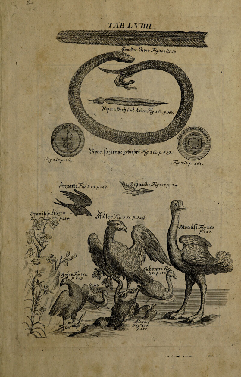 S S G'x . y^y. iss*.p. ,5&i. +<> •