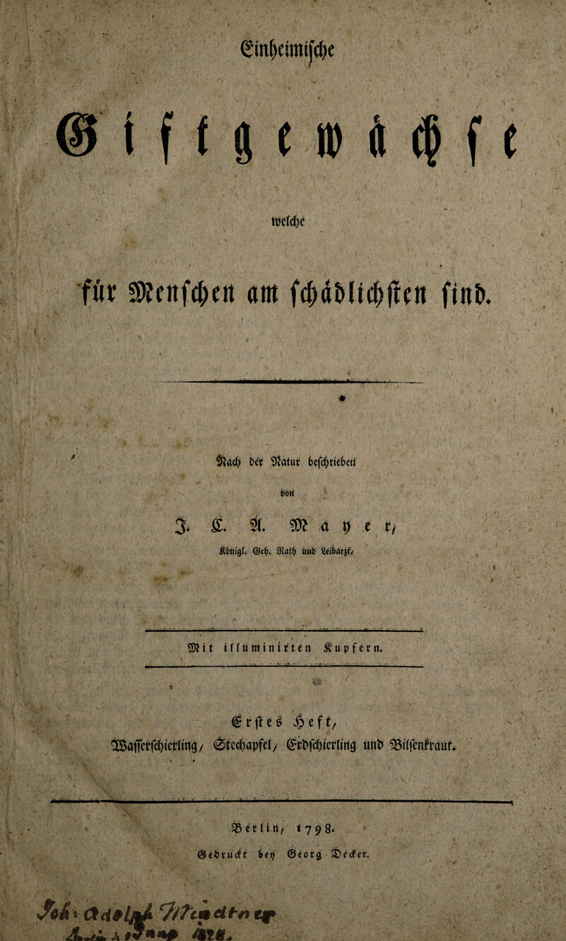 e 4 f c tce(c()e föf SKcnfc^tn «nt fc^dblfc^ltcn finb. y , ’r £ ♦ $^ael) 5^atut bcfc^riebcit i^ort ^ % ff. ^ / a i) c t/ ©e^i, 0latb «ttt '. «*- / -'V A ■■; ' , ' * 1 Seibörjfv « ^ i t t (f tt tu i n i r t e n « Tupfern. / . ^rjleö ft/ 58aitetrcf)terltttä/' ^tcc^opfcl/ ^ct*fc£)icrtinä «nb SSitrenfraut» iumk tbitiitif 1798. , % ^e^cürft htrj Öeotg > Sbecfer. «4 #