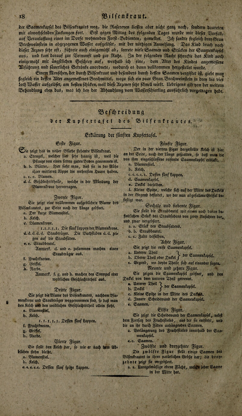 i)ef @aameitfapfd bi'e fHafereijctt fteffen a6er Uid)t ^ohj nad), fbitbeV« böutefen mit at)wed)fefnben3uctuttgeitforf. ^rjl gegen Mittag be5 fofgenben 5ogeö inutbe mir btefet ^Sorfall/ auf'^eranlapng emeö hn $Dorfe tnolnenben Sot'tl^Sebtenten, gemefbet fanbfe fbgfei'c^ bi:ei)©ran Sörednvemftem m abgejogenen ?33affer aufgelöfef^- mit ber nofbigen Tlmwelfimg. ^mb brod) nod^ bi'efet fe^t oft, fu^cete aud) emtgemä^f ab, feerete Otete^aamen unb ©tiafen ber ©aamen!a;>fc( auö, unb fam barauf juc Sßernunft unb juc Dlu^e. Sn ber fotgenben S^ac^t fc^recfte baö i^mb nod) einigemabl mit angftfi'd^en ^efc^rep auf, me^balb id) eme, bem 'Hfter beö ^tnbe^ angemeffene ^fu^rung unb fduernd;eö ©etrbnfe anorbnete, moburd) eö bann \)oUfommen b^gejleüet mürbe. 0nem^enfd;en, ber burd)35t(fenfraut unb befonberö burd) befen ©aamen Vergiftet tj|, giebt maij fogfetd) ein bej^en 7((ter angemeffeneöS3rec^mttfe(, mo^u fid) ein paar ©ratt.S5red)meinftem m brep bi^ Pier iotb^Öoaffer aufgetbfef, am beflen fd;icfen, meit btefeTfxjenep febr fd)neU mirft. Uebn'genö gUt^on ber meitern ^ebnnbfunj eben ba5, maö td; bep ber Tibbonbjung Pom ^afferfcbierting au^fubrfic^ Porgetragen 53 e f cf) r e t b u tt g ber Ä u p f c r t a.f e ( b e e ‘ ^ t ( f e n f rautet.- i^rfldrung ber fünften Äupfertafel. “ , * ^ ©rjle 5tg«r. ^eigt tag in PoUer ^lutpc jlcbcnbe 93iIfenFraut, Pi’^ftcn gigur barge(!cttte ^etdb ifl a. ©tcngcl, mcld^er ffter fepr baarig ifl, weil bie QJflanjepon einen fetten guten SSoöen genommen If!, b. b. 23ldtter. S^ier fiebt man, ba^ fte in berOtdfjc iprer mittleren Stippe bie mebreften Sjaare paben. c. c. c. 53Iumen, d. d. ©efvblcd;t£'tbeile> weldbe in ber Mnbung ber ISlnmentrone beroorrngen. gwepfe Stgur. <üie jeigt eine ooinommen aufgeblitbttc 58Iume bcö' löilfenfrauteö, jur ©eite nad) ber Sange gebfnet. a. T)cr furje 25IumenfrieI. , b. v^elcp. 23Iumenfrone. « i.i.i.i.r» X!)ie fimf Sappen ber 95Iunien!rone. d. d. d. d. d. 0taubtrager. X5ie ^ucpjlabcn d. d. jeU gen ouf bie ©taubfaben. ©, €. @taubbentel. ^tnmerf. d. unb e. sufammen macb^n «i««i ©taubtragcf au^. f. [frud)tTnoten. g. ©riffel.- k. Starbe. ^tnmerf. f. g. unb h. madben ben (Stempel ober weiblicbcn ©e[cblcd)tbtbeil au0» ^Dritte StÖWf- ^le jeigt bieSSIume beö Jbiifcnfrauteö, ttadbbem93lus mentronc unb ©taubtrager weggenommen ftnb, fo bgf man ben Äelcb utib ben weiblid)en @efd)Ie(btßtbe{I allein fiebt. a. 93lumenjliel. b. ^eld). I. r. 1.1.1, 25ejfen fünf Soppen. f. gfucbtfttoten. g. ©riffel. h. Slarbe. ^^ierte 5*guf- ©ie flellt ben jtelc^ bar, fo wie er nadb biem Slb® bl&bctt ftebn bleibt. a. ^lumenfliel. b. ^eld). c. e.c.c.c. 2)effen fünf fpi^e Sappen. pon ibm eingefd)loffene relfenbe ©oamenfapfel crblicft. a. S5lnmcn|tiel. b. ^eld). c. c. c. c. t. ^ejfrn f&nf Sappen. d. (Saomenfapfel. c. 2)ecfel berfclben.. 1 • b kleine ^pi^e, welche ficb auf ber «Otitte beÄDedel« in ber ©egenb be^'nbet, wo ber nun obgefaltene ©rtjfel bes fefttgt war. ©ec{)öff unb fi'ebente Sigur. (Sie frettt bie (Staubbeutel mit eliwn nod) baran be» finblicpen (Stfidf beö (Staubfabenb Pon ^wep Slnfidbtcn bar,^. unbjwar pergrb^ert. a. a. ©h'uf beb ©taubfaben^, Sj. b. ©taubbeutef. c. c. gälte bcffclbcn. ^cl)fe gigur.. ©ie jeigt bie reife ©aamentapfel. a. Unterer ^tl^il - 1 w ^ b. Oberer 2:i)eil ober X^ccfelJ c. ®egenb, wo bepbc S^peile jidh auf cinanber fugen. fJteuntc unb zehnte Sigwt. -K ©ic jeigen bie ©aamenfapfel gebfnet, unb be« SJecfel pon bem unteren 2;i)eil getrennt, a. Unterer S^heil 7 . « t r* h. Sectcl ' / *’ c. kleine ©pf^e in ber SJtitte be§ XJeefifö. d. Snnere ©cheibewanb ber ©aamenfapfel, e. ©aamen. €ilfte Sigur. ©ie jeigt bie ©d)eibewanb ber ©aamenfapfel, nebfl bem gortfah beb grud)t|fieleß, oußber fte entjfept, unb bie an ihr burch gaben anbangenben ©aamen. a. SSerlängerung beö gruchtflirleb innerpalb ber ©aa® menfapfel. C.C. ©oameu. ' .  brepjehnte S)ie jwbtfte gigur fl^llt einige ©aamen beß S3ilfenfraute5 in ihrer natörlichen ©rb^e bar; .bie brep* jebnte jeigt fic pergrb^ert. ^ , a. a. Ünregelmopige ebene glad)d,- wellet J^bet ©aame in ber ^ ^ \ i