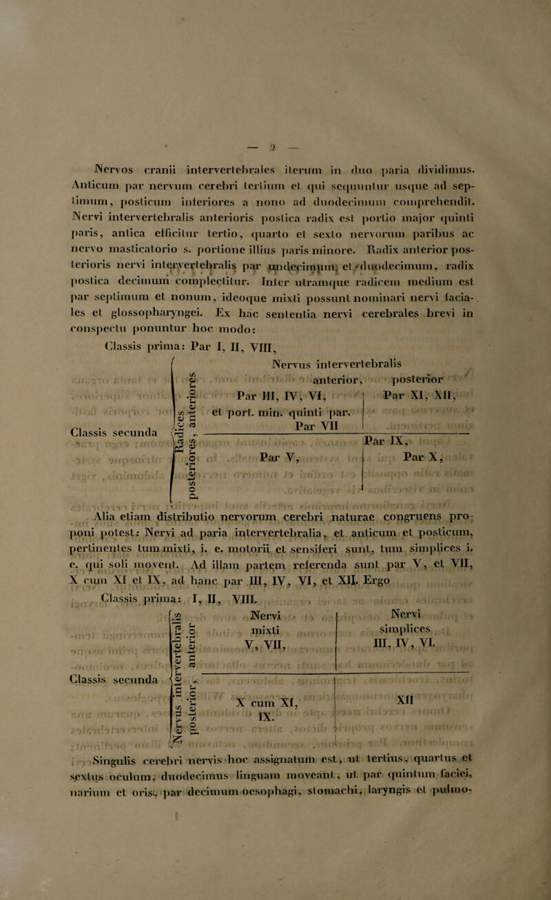 Nervos cranii intervertebrales iterum in duo paria dividimus. Anticum par nervum cerebri tertium ei qui sequuntur usque ad sep¬ timum, posticum interiores a nono ad duodecimum comprehendit. Nervi intervertebralis anterioris postica radix est portio major quinti paris, antica efficitur tertio, quarto et sexto nervorum paribus ac nervo masticatorio s. portione illius paris minore. Radix anterior pos¬ terioris nervi intervertebralis par undepimpm, etyduodecimum, radix postica decimum complectitur. Inter utramque radicem medium est par septimum et nonum, ideo que mixti possunt nominari nervi lacia- les et glossopharyngei. Ex hac sententia nervi cerebrales brevi in conspectu ponuntur hoc modo: Classis prima: Par I, II, VIII, rf.f Classis secunda , ' Ji fi! • : ' • V • . ' : • ■ • * • ■ r > • i ; r ^ ,<<; <1\\' . • i * 1.11 Si CJ u o Si v £ o es » pH \ ‘ W ^ , cS co O • PH h O) 4-> Si O £4 Nervus intervertebralis anterior, posterior Par III, IV, VI, et port. tnin. quinti par. Par VII Par XI, XII Par V, M/. Par IX, Par X, Alia etiam distributio nervorum cerebri naturae congruens pro¬ poni potest: Nervi ad paria intervertebralia, et anticum et posticum, pertinentes tum mixti, i. e. motorii et sensiferi sunt, tum simplices i. e. qui soli movent. Ad illam partem referenda sunt par V, et VII, X cum XI et IX, ad hanc par III, IV, VI, et XII. Ergo Classis prima: I, II, VIII. , -<!!*}« *•*'*■*': U • ■ ■ - J/V» f Si iz; U O- • —H u O ■f 4=> >■ £ es Ju < a> 4->- 0 £ • pH F-l O i-i C/3 GJ 3 > Si 'M O O £h £ Nervi Nervi mixti simplices V, VII, III, IV, VI. . >.f f . n i 0*! X cum XI, XII IX. n »« a ' * yi ‘ mu,U - • ‘ ^ • • ; ■ r: • ' Singulis cerebri nervis hoc assignatum est, ut tertius, quartus et sextus oculum, duodecimus linguam moveant , ut par quintum faciei, narium et oris;, par decimum oesophagi, stomachi, laryngis et pulmo-