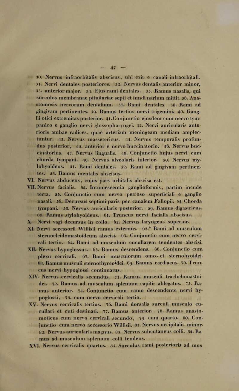 30. Nervus infraorbitalis abscisus, ubi exit e canali infraorbitali. 31. Nervi dentales posteriores. 32. Nervus dentalis anterior minor, 33. anterior major. 34. Ejus rami dentales. 35. Ramus nasalis, qui surculos membranae pituitariae septi et fundi narium mittit. 36. Ana¬ stomosis nervorum dentalium. 37. Rami dentales. 38. Rami ad gingivam pertinentes. 39. Ramus tertius nervi trigemini. 40. Gang¬ lii otici extremitas posterior. 41.Conjunctio ejusdem cum nervo tym¬ panico e ganglio nervi glossopharyngei. 42. Nervi auricularis ante rioris ambae radices, quae arteriam meningeam mediam amplec¬ tuntur. 43. Nervus massetericus. 44* Nervus temporalis profun¬ dus posterior, 45. anterior e nervo buccinatorio. 46. Nervus buc¬ cinatorius. 47. Nervus lingualis. 48. Conjunctio hujus nervi cum chorda tympani. 49. Nervus alveolaris inferior. 50. Nervus my¬ lohyoideus. 51. Rami dentales. 52. Rami ad gingivam pertinen¬ tes. 53. Ramus mentalis abscisus. VI. Nervus abducens, cujus pars orbitalis abscisa est. VII. Nervus facialis. 54. Intumescentia ganglioformis, parlim incude tecta. 55. Conjunctio cum nervo petroso superficiali e ganglio nasali. 56. Decursus septimi paris per canalem Fallopii. 54 Chorda tympani. 58. Nervus auricularis posterior. 59. Ramus digastricus. 60. Ramus stylohyoideus. 61. Truncus nervi facialis abscisus. X. Nervi vagi decursus in collo. 62. Nervus laryngeus superior. XI. Nervi accessorii Willisii ramus externus. 62.* Rami ad musculum sternocleidomastoideum abscisi. 63. Conjunctio cum nervo cervi¬ cali tertio. 64. Rami ad musculum cucullarem tendentes abscisi. XII. Nervus hypoglossus. 65. Ramus descendens. 66. Conjunctio cum plexu cervicali. 67. Rami musculorum omo-et sternohyoidei. 68. Ramus musculi sternothyreoidei. 69. Ramus cardiacus. 70. Trun¬ cus nervi hypoglossi continuatus. XIV. Nervus cervicalis secundus. 71. Ramus musculi trachel omasi oi- dei. 72. Ramus ad musculum splenium capitis ablegatus. 73. Ra¬ mus anterior. 74. Conjunctio cum ramo descendente nervi hy¬ poglossi, 75. cum nervo cervicali tertio. XV. Nervus cervicalis tertius. 76. Rami dorsalis surculi musculo cu- cullari et cuti destinati. 77. Ramus anterior. 78. Ramus anasto¬ moticus cum nervo cervicali secundo, 79. cum quarto. 80. Con¬ junctio cum nervo accessorio Willisii. 81. Nervus occipitalis minor. 82. Nervus auricularis magnus. 83. Nervus subcutaneus colli. 84. Ra mus ad musculum splenium colli tendens. XVI. Nervus cervicalis quartus. 85. Surculus rami posterioris ad mus