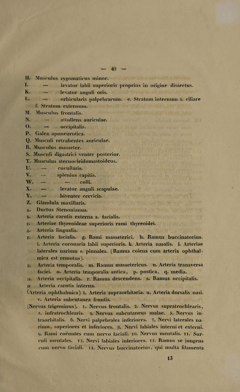 II. Musc ‘ulus zygomaticus minor. I* — lcvalor labii superioris proprius in origine dissectus, h- — levator anguli oris. b- — orbicularis palpebrarum, e. Stratum internum s. ciliare 1. Stratum externum. M. Musculus frontalis. N. — attollens auriculae. O. — occipitalis. P. Galea aponeurotica. Q. Musculi retrahentes auriculae. R. Musculus masseter. S. Musculi digastrici venter posterior. T. Musculus sternocleidomastoideus. U. — cuculi aris. V. — splenius capitis. W. — — colli. X. — levator anguli scapulae. Y. — biventer cervicis. Z. Glandula maxillaris. a. Ductus Stenonianus. B- Arteria carotis externa s. laciatis. r. Arteriae thyreoideae superioris rami thyreoidei. A. Arteria lingualis. e. Arteria facialis, g. Rami masseterici, h. Ramus buccinatorius, i. Arteria coronaria labii superioris, k. Arteria nasalis. 1. Arteriae laterales narium s. pinnales. (Ramus coiens cum arteria ophthal¬ mica est remotus). z. Arteria temporalis, m. Ramus massetericus, n. Arteria transversa faciei, o. Arteria temporalis antica, p. postica, q. media. h. Arteria occipitalis, r. Ramus descendens, s. Ramus occipitalis. 0 Arteria carotis interna. (Arteria ophthalmica) t. Arteria supraorbitaria. u. Arteria dorsalis nasi, v. Arteria subcutanea frontis. (Nervus trigeminus), l. Nervus frontalis. 2. Nervus supratrochlearis, 3. infratrochlearis. 4. Nervus subcutaneus malae. 5. Nervus in¬ fraorbitalis. 6. Nervi palpebrales inferiores. 7. Nervi laterales na¬ rium. superiores et inferiores. 8. Nervi labiales interni et externi. Q. Rami coeuntes cum nervo faciali. 10. Nervus mentalis. H. Sur¬ culi mentales. 12. Nervi labiales inferiores. 13. Ramus se jungens cum nervo faciali. 14. Nervus buccinatorius, qui multa filamenta 13