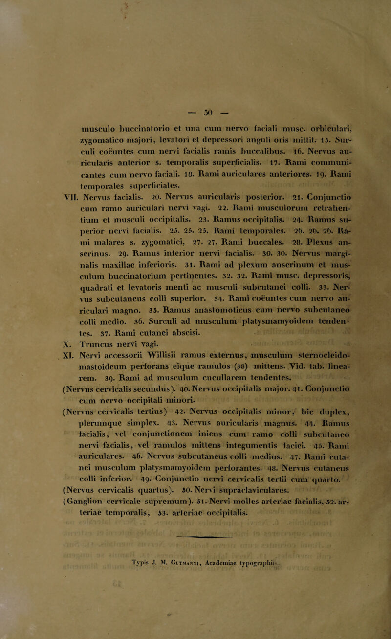 musculo buccinatorio et una cum nervo faciali musc. orbiculari, zygomatico majori, levatori et depressori anguli oris mittit. 15. Sur¬ culi coeuntes cum nervi facialis ramis buccalibus. 16. Nervus au¬ ricularis anterior s. temporalis superficialis. 17. Rami communi¬ cantes cum nervo faciali. 18. Rami auriculares anteriores. 19. Rami temporales superficiales. VII. Nervus facialis. 20. Nervus auricularis posterior. 21. Conjunctio cum ramo auriculari nervi vagi. 22. Rami musculorum retrahen¬ tium et musculi occipitalis. 23. Ramus occipitalis. 24. Ramus su¬ perior nervi facialis. 25. 25. 25. Rami temporales. 26. 26. 26. Ra¬ mi malares s. zygomatici, 27. 27. Rami buccales. 28. Plexus an¬ serinus. 29. Ramus inferior nervi facialis. 30. 30. Nervus margi¬ nalis maxillae inferioris. 31. Rami ad plexum anserinum et mus¬ culum buccinatorium pertinentes. 32. 32. Rami musc. depressoris, quadrati et levatoris menti ac musculi subcutanei colli. 33. Ner¬ vus subcutaneus colli superior. 34. Rami coeuntes cum nervo au¬ riculari magno. 35. Ramus anastomoticus cum nervo subcutaneo colli medio. 36. Surculi ad musculum platysmamyoidem tenden- tes. 37. Rami cutanei abscisi. X. Truncus nervi vagi. XI. Nervi accessorii Willisii ramus externus, musculum sternocleido¬ mastoideum perforans eique ramulos (38) mittens. Vid. tab. linea¬ rem. 39. Rami ad musculum cucullarem tendentes. (Nervus cervicalis secundus). 40. Nervus occipitalis major. 41. Conjunctio cum nervo occipitali minori. (Nervus cervicalis tertius) 42. Nervus occipitalis minor, hic duplex, plerumque simplex. 43. Nervus auricularis magnus. 44. Ramus facialis, vel conjunctionem iniens cum ramo colli subcutaneo nervi facialis, vel ramulos mittens integumentis faciei. 45. Rami auriculares. 46. Nervus subcutaneus colli medius. 47. Rami cuta¬ nei musculum platysmamyoidem perforantes. 48. Nervus cutaneus colli inferior. 49- Conjunctio nervi cervicatis tertii cum quarto. (Nervus cervicalis quartus). 50. Nervi supraclaviculares. (Ganglion cervicale supremum). 51. Nervi molles arteriae facialis, 52. ar¬ teriae temporalis, 53. arteriae occipitalis. Typis J. M. GuTMANNr, Academiae typographin