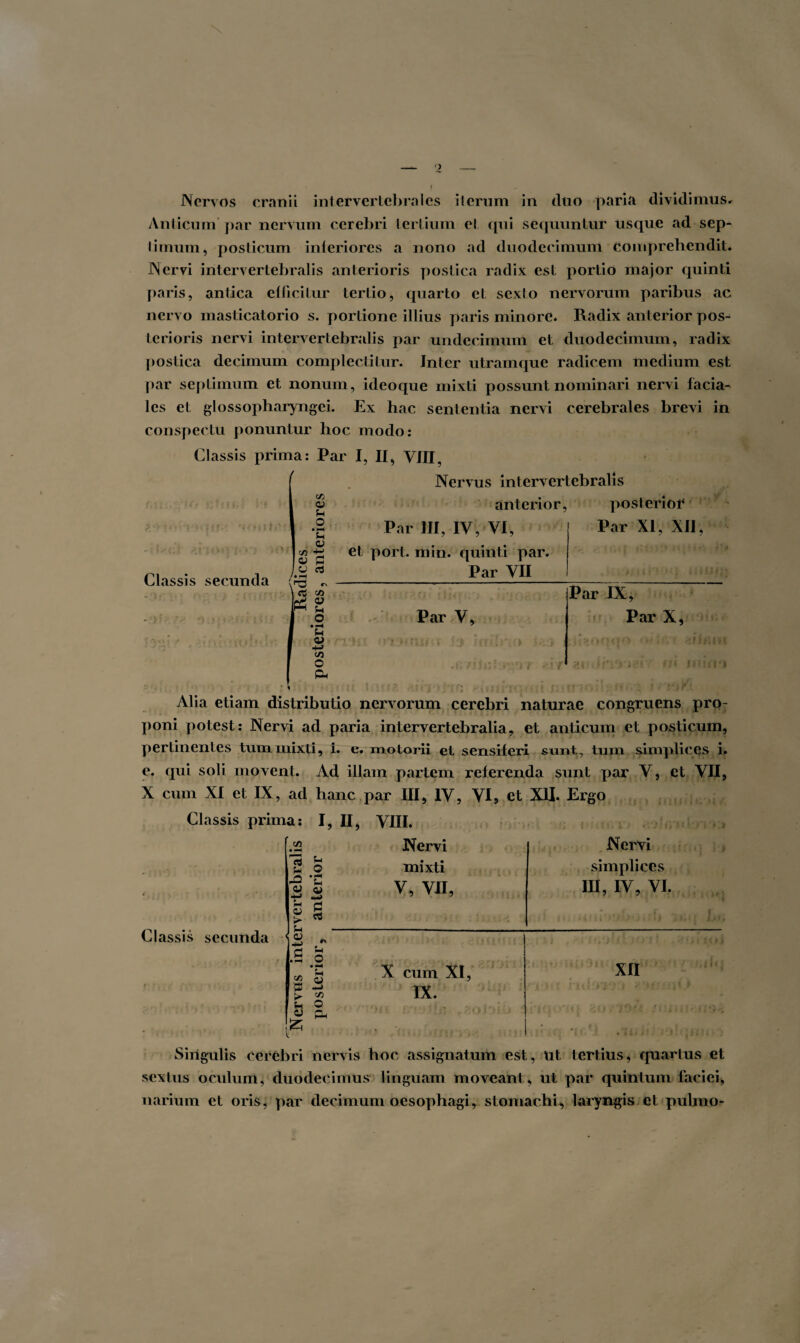 ') \ I Nervos cranii intervertebrales ii erum in duo paria dividimus# Anticum'par nervum cerebri tertium et qui sequuntur usque ad sep- liinum, posticum interiores a nono ad duodecimum comprehendit. Nervi intervertebralis anterioris postica radix est portio major quinti paris, antica efficitur tertio, quarto et sexto nervorum paribus ac nervo masticatorio s. portione illius paris minore. Radix anterior pos¬ terioris nervi intervertebralis par undecimum et duodecimum, radix postica decimum complectitur. Jnter utramque radicem medium est par septimum et nonum, ideoque mixti possunt nominari nervi facia¬ les et glossopharyngei. Ex hac sententia nervi cerebrales brevi in conspectu ponuntur hoc modo: Classis prima: Par I, II, VIII, Nervus intervertebralis anterior, posterior Par III, IV, VI, et port. min. quinti par. Par VII Classis secunda J & o fH o • rH u 0) a fi O d ■H , Cw c/i W 2 O 'G O) •b» CO O & Par XI, XII, • ; : : , • ; . . ' .1,- t • . Par IX, Par V, Par X, > Alia etiam distributio nervorum cerebri naturae congruens pro¬ poni potest: Nervi ad paria intervertebralia, et anticum et posticum, pertinentes tum mixti, i. e. motorii et sensiferi sunt, tum simplices i. e. qui soli movent. Ad illam partem referenda sunt par V, et VII, X cum XI et IX, ad hanc par III, IV, VI, et XII. Ergo Classis prima: I, II, VIII. \4 Classis secunda os ^ 0) <y 4-> ?H H Gi 5 > * U £ - fi O »pH w • —I fi fif >. i/) Nervi mixti V, VII, Nervi simplices IU, IV, VI. X cum XI, IX. XII Singulis cerebri nervis hoc assignatum est, ut tertius, quartus et sextus oculum, duodecimus linguam moveant , ut par quintum faciei, narium et oris, par decimum oesophagi, stomachi, laryngis et pulmo-