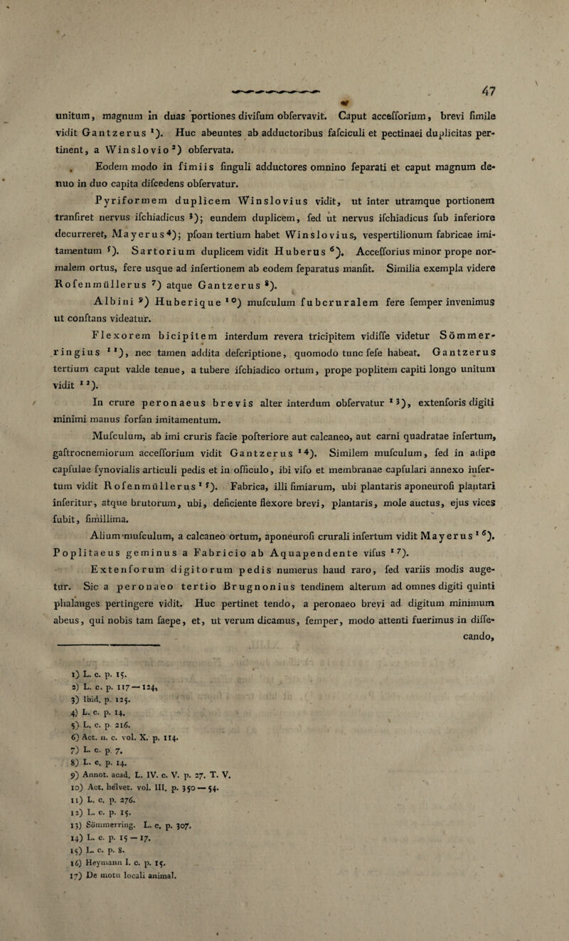 unitum, magnum in duas portiones divifum obfervavit. Caput accefforium, brevi fimile vidit Gantzerus *). Huc abeuntes ab adductoribus fafciculi et pectinaei duplicitas per¬ tinent, a Winslovio2) obfervata. , Eodem modo in fimi is finguli adductores omnino feparati et caput magnum de- tiuo in duo capita difcedens obfervatur. Pyriformem duplicem Winslovius vidit, ut inter utramque portionem tranfiret nervus ifchiadicus 3); eundem duplicem, fed ut nervus ifchiadicus fub inferiore decurreret, May erus4 *); pfoan tertium habet Winslovius, vespertilionum fabricae imi¬ tamentum y). Sartorium duplicem vidit Huberus 6), Accefforius minor prope nor¬ malem ortus, fere usque ad infertionem ab eodem feparatus manfit. Similia exempla videre Rofenmiillerus 7 * *) atque Gantzerus *). Albini s) Huberique I0) mufculum fubcruralem fere femper invenimus ut conftans videatur. FI exorem bicipitem interdum revera tricipitem vidiffe videtur Sommer* ringius 2I), nec tamen addita defcriptione, quomodo tunc fefe habeat. Gantzerus tertium caput valde tenue, a tubere ifchiadico ortum, prope poplitem capiti longo unitum vidit 1 2). In crure peronaeus brevis alter interdum obfervatur 15), extenforis digiti minimi manus forfan imitamentum. Mufculum, ab imi cruris facie pofteriore aut calcaneo, aut carni quadratae infertum, gaftrocnemiorum accefforium vidit Gantzerus *4). Similem mufculum, fed in adipe capfulae fynovialis articuli pedis et in officulo, ibi vifo et membranae capfulari annexo infer¬ tum vidit Rofenmiillerus* y). Fabrica, illi fimiarum, ubi plantaris aponeurofi plantari inferitur, atque brutorum, ubi, deficiente flexore brevi, plantaris, mole auctus, ejus vices fubit, fimillima. Alium'mufculum, a calcaneo ortum, aponeurofi crurali infertum vidit May erus 1 5). Poplitaeus geminus a Fabricio ab Aqua pendente vifus 1 7). Extenforum digitorum pedis numerus haud raro, fed variis modis auge¬ tur. Sic a peronaeo tertio Brugnonius tendinem alterum ad omnes digiti quinti plialauges pertingere vidit. Huc pertinet tendo, a peronaeo brevi ad digitum minimum abeus, qui nobis tam faepe, et, ut verum dicamus, femper, modo attenti fuerimus in diffe- cando. i) L. c. p. iv 3) L. c. p. 117 —124, 3) Ibici, p. 125. 4) L. c. p. 14. 5) L. c. p. 216. 6) Act. n. c. vol. X. p. 114. 7) L. c. p. 7. 8) L. c. p. 14. 9) Annot. acad, L. IV. c. V. p. 27. T. V. 10) Act. helv-et. vol. III. p. 350 — 54. 11) L. c. p. a76. 12) L. c. p. 15. 13) Sommerring. L. c. p. 307. 14) L. c. p. 15 - 17. 15) L- c- P- 8* 16) Heymann 1. c. p. 15. 17) De motu locali animal.