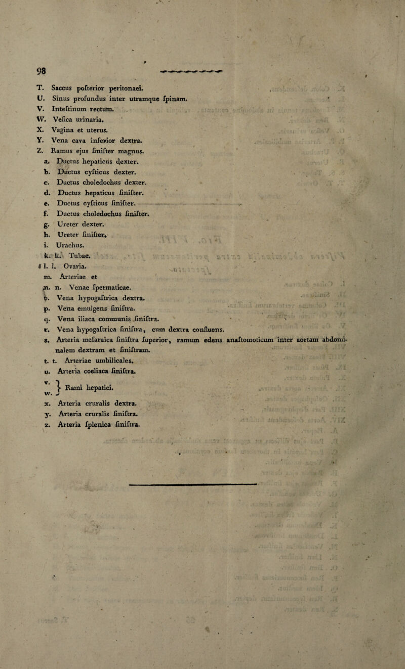 f * t 98 T. Saccus pofterior peritonaei. U. Sinus profundus inter utramque fpinam V. Inteftinum rectum. W. Velica urinaria. X. Vagina et uterus. Y. Vena cava inferior dextra. * / I i Z. Ramus ejus linifter magnus. з. Ductus hepaticus 4ext^r. t>. Ductus cyfticus dexter. c. Ductus choledochus dexter. d. Ductus hepaticus linifter. e. Ductus cyfticus linifter. f. Ductus choledochus linifter. g. Ureter dexter. h. Ureter linifter* i. Urachus, k. k. Tubae. I 1. I, Ovaria. '.li«' m. Arteriae et Y 1 Xi. n. Venae fpermaticae. \ t>. Vena hypogaftrica dextra. p. Vena emulgens liniftra. q. Vena iliaca communis liniftra. r. Vena hypogaftrica flniftra, cum dextra confluens. s. Arteria mefaraica liniftra fuperior, ramum edens anaftomoticum inter aortam abdomi¬ nalem dextram et liniftram. t. t. Arteriae umbilicales. и. Arteria coeliaca liniftra. Rami hepatici. x. Arteria cruralis dextra. y. Arteria cruralis liniftra. z. Arteria fplenica liniftra. f N * riaau » f f