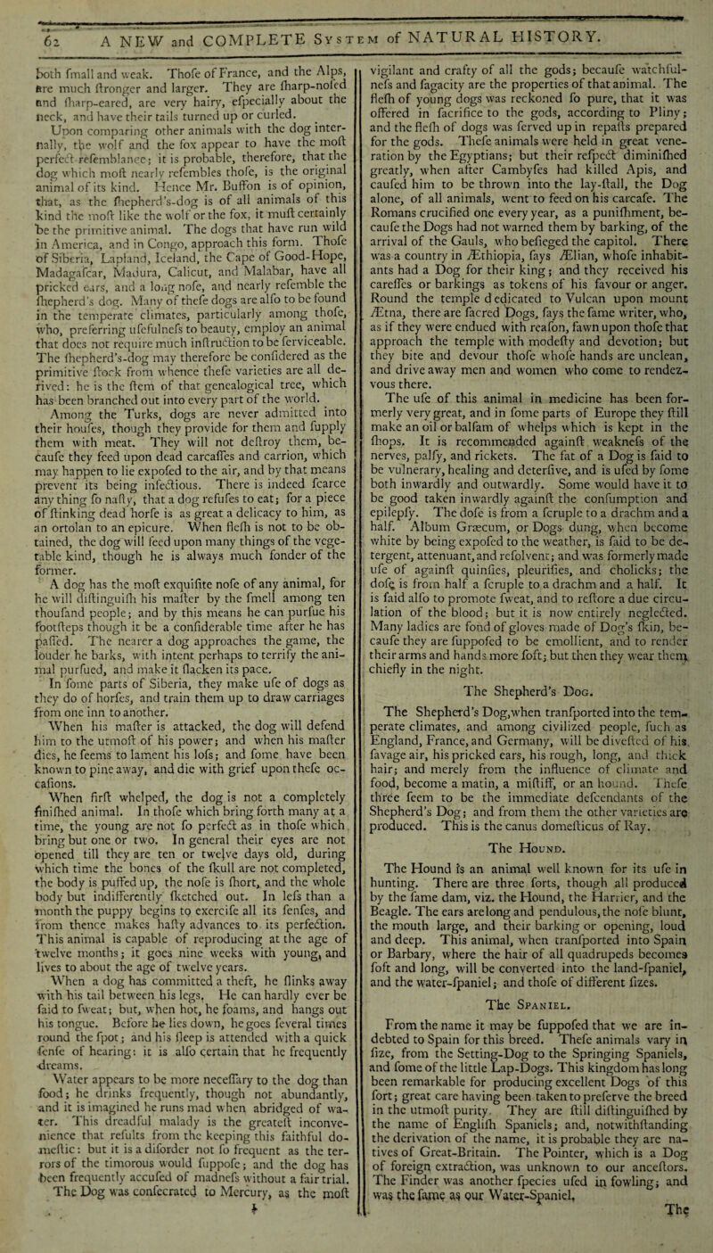 both fmall and weak. Thofe of France, and the Alps, fire much Itronger and larger. They are fharp-noled emd (harp-eared, are very hairy, efpecially about the neck, and have their tails turned up or curled. Upon comparing other animals with the dog inter¬ nally, the wolf and the fox appear to have the mod perfect--refemblancc; it is probable, therefore, that the dog which molt nearly refembles thofe, is the original animal of its kind. Hence Mr. Buffon is ot opinion, that, as the fhepherd’s-dog is of all animals of this kind the mod like the wolf or the fox, it muff: certainly be the primitive animal. The dogs that have run wild in America, and in Congo, approach this form. Thofe of Siberia, Lapland, Iceland, the Cape ot Good-Hope, Madagascar, Madura, Calicut, and Malabar, have all pricked ears, and a long nofe, and nearly referable the fhepherd's dog. Many of thefe dogs are alfo to be found in the temperate climates, particularly among thofe, who, preferring ufefulnefs to beauty, employ an animal that does not require much inffrudtion to be ferviceable. The fhepherd’s-dog may therefore be confidered as the primitive flock from whence thefe varieties are all de¬ rived: he is the Bern of that genealogical tree, which has been branched out into every part of the world. Among the Turks, dogs are never admitted into their houfes, though they provide for them and fupply them with meat. They will not deftroy them, be- caufe they feed upon dead carcaffes and carrion, which may happen to lie expofed to the air, and by that means prevent its being infectious. There is indeed fcarce any thing fo nafty, that a dog refufes to eat; for a piece of {linking dead horfe is as great a delicacy to him, as an ortolan to an epicure. When flefh is not to be ob¬ tained, the dog will feed upon many things of the vege¬ table kind, though he is always much fonder of the former. A dog has the mod exquifite nofe of any animal, for he will diftinguiffi his mailer by the fmell among ten thoufand people; and by this means he can purfue his footffeps though it be a confiderable time after he has palled. The nearer a dog approaches the game, the louder he barks, with intent perhaps to terrify the ani¬ mal purfued, and make it (lacken its pace. In fome parts of Siberia, they make ufe of dogs as they do of horfes, and train them up to draw carriages from one inn to another. When his matter is attacked, the dog will defend him to the utmofl of his power; and when his matter dies, he feems to lament his lofs; and fome have been known to pine away, and die with grief upon thefe oc- calions. When firff whelped, the dog is not a completely finiffied animal. In thofe which bring forth many at a time, the young are not fo perfect as in thofe which bring but one or two. In general their eyes are not opened till they are ten or twejve days old, during which time the bones of the fkull are not completed, the body is puffed up, the note is fhort, and the whole body but indifferently {Fetched out. In lefs than a month the puppy begins to exercife all its fenfes, and from thence makes hafty advances to. its perfection. This animal is capable of reproducing at the age of ’twelve months; it goes nine weeks with young, and lives to about the age of twelve years. When a dog has committed a theft, he {links away with his tail between his legs. He can hardly ever be faid to fweat; but, when hot, he foams, and hangs out his tongue. Before he lies down, he goes feveral times round the fpot; and his ffeep is attended with a quick fenfe of hearing: it is alfo pertain that he frequently dreams. Water appears to be more neceffary to the dog than food; he drinks frequently, though not abundantly, and it is imagined he runs mad when abridged of wa¬ ter. This dreadful malady is the greateit inconve¬ nience that refults from the keeping this faithful do- meftic: but it is a diforder not fo frequent as the ter¬ rors of the timorous would fuppofe; and the dog has Been frequently accufed of madnefs without a fair trial. The Dog was confecrated to Mercury, a$ the moft $• vigilant and crafty of all the gods; becaufe watchful- nefs and fagacity are the properties of that animal. The flefh of young dogs was reckoned fo pure, that it was offered in facrifice to the gods, according to Pliny; and the flefh of dogs was ferved up in repalts prepared for the gods. Thefe animals were held in great vene¬ ration by the Egyptians; but their refpeCt diminifhed greatly, when after Cambyfes had killed Apis, and caufed him to be thrown into the lay-flall, the Dog alone, of all animals, went to feed on his carcafe. The Romans crucified one every year, as a punifhment, be¬ caufe the Dogs had not warned them by barking, of the arrival of the Gauls, who befieged the capitol. There was a country in ./Ethiopia, fays /Elian, whofe inhabit¬ ants had a Dog for their king; and they received his careffes or barkings as tokens of his favour or anger. Round the temple d edicated to Vulcan upon mount /Etna, there are facred Dogs, fays the fame writer, who, as if they were endued with reafon, fawn upon thofe that approach the temple with modefty and devotion; but they bite and devour thofe whofe hands are unclean, and drive away men and women who come to rendez¬ vous there. The ufe of this animal in medicine has been for¬ merly very great, and in fome parts of Europe they (till make an oil or balfam of w helps which is kept in the fhops. It is recommended againft weaknefs of the nerves, palfy, and rickets. The fat of a Dog is faid to be vulnerary, healing and deterfive, and is ufed by fome both inwardly and outwardly. Some would have it to be good taken inwardly againft the confumption and epilepfy. The dofe is from a fcruple to a drachm and a half. Album Grsecum, or Dogs dung, when become white by being expofed to the weather, is faid to be de¬ tergent, attenuant,and refolvent; and was formerly made ufe of againft quinfies, pleurifies, and cholicks; the dofq is from half a fcruple to a drachm and a half. It is faid alfo to promote fweat, and to reftore a due circu¬ lation of the blood; but it is now entirely neglected. Many ladies are fond of gloves made of Dog’s fkin, be¬ caufe they are fuppofed to be emollient, and to render their arms and hands more foft; but then they wear them, chiefly in the night. The Shepherd’s Dog. The Shepherd’s Dog,wrhen tranfported into the tem¬ perate climates, and among civilized people, fuch as England, France, and Germany, will be divefted of his favageair, his pricked ears, his rough, long, and thick hair; and merely from the influence of climate and food, become a matin, a mifliff, or an hound. Thefe three feem to be the immediate defendants of the Shepherd’s Dog; and from them the other varieties are produced. This is the canus domefticus of Ray. The Hound. The Hound is an animal w'ell known for its ufe in hunting. There are three forts, though all produced by the fame dam, viz. the Hound, the Harrier, and the Beagle. The ears are long and pendulous, the nofe blunt, the mouth large, and their barking or opening, loud and deep. This animal, when tranfported into Spain or Barbary, where the hair of all quadrupeds becomes foft and long, will be converted into the land-fpaniel, and the water-fpaniel; and thofe of different ffzes. The Spaniel. From the name it may be fuppofed that we are in¬ debted to Spain for this breed. Thefe animals vary in fize, from the Setting-Dog to the Springing Spaniels, and fome of the little Lap-Dogs. This kingdom has long been remarkable for producing excellent Dogs of this fort; great care having been taken to preferve the breed in the utmoft purity. They are {till diftinguiffied by the name of Englilh Spaniels; and, notw'ithffanding the derivation of the name, it is probable they are na¬ tives of Great-Britain. The Pointer, which is a Dog of foreign extraction, was unknowm to our anceffors. The Finder was another fpecies ufed in fowling; and was the fame as our Water-Spaniel, The