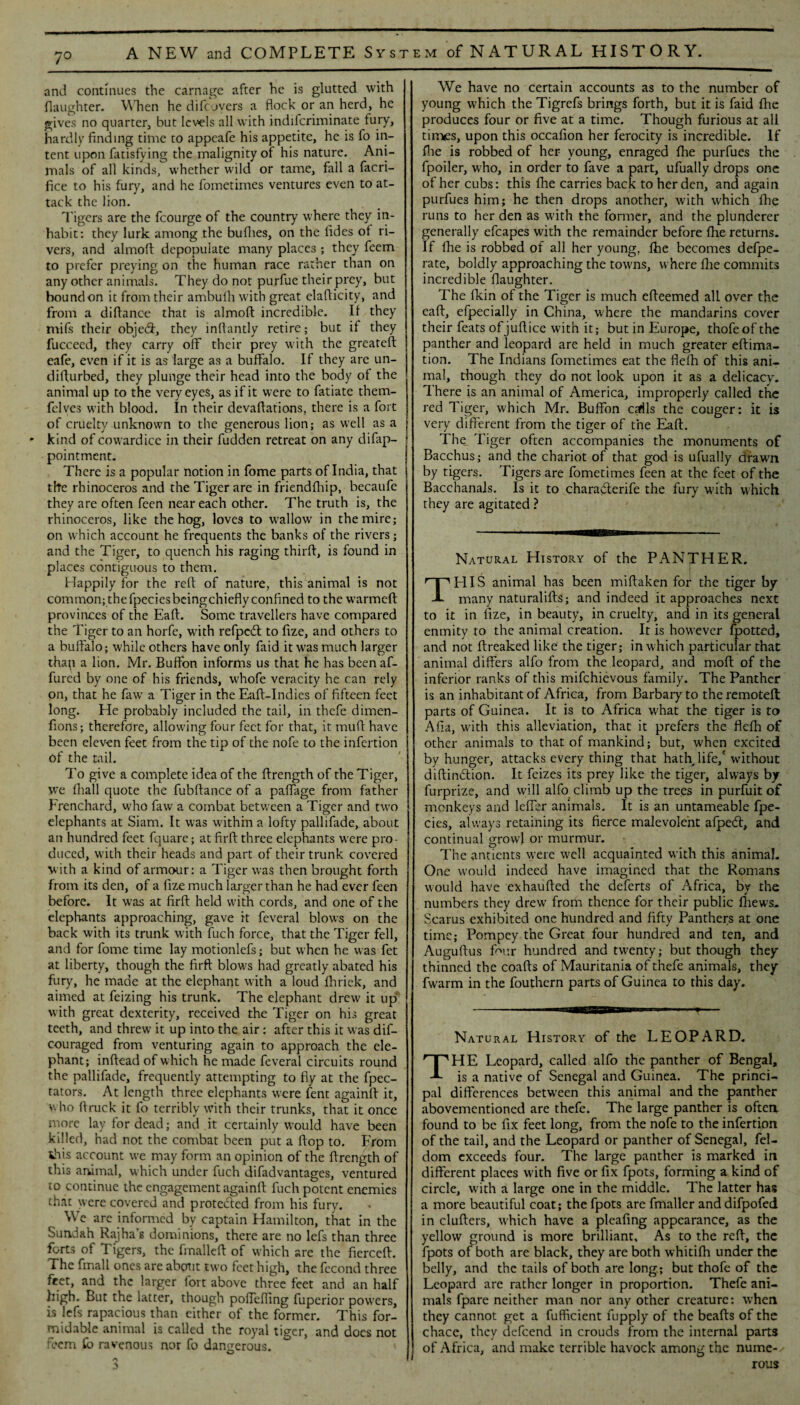 7° and continues the carnage after he is glutted with (laughter. YYEen he di (covers a flock or an herd, he gives no quarter, but levels all with indiferiminate fury, hardly finding time to appeafe his appetite, he is fo in¬ tent upon fatisfying the malignity of his nature. Ani¬ mals of all kinds, whether wild or tame, fall a facri- fice to his fury, and he fometimes ventures even to at¬ tack the lion. Tigers are the fcourge of the countiy where they in¬ habit: they lurk among the bullies, on the Aides of ri¬ vers, and almoft depopulate many places ; they feem to prefer preying on the human race rather than on any other animals. They do not purfue their prey, but boundon it from their ambufhwith great elaflicity, and from a difiance that is almoft incredible. If they mifs their obje<ft, they inftantly retire; but if they fucceed, they carry off their prey with the greateft cafe, even if it is as large as a buffalo. If they are un- difturbed, they plunge their head into the body of the animal up to the very eyes, as if it were to fatiate them- felves with blood. In their devafiations, there is a fort of cruelty unknown to the generous lion; as well as a * kind of cowardice in their fudden retreat on any difap- pointment. There is a popular notion in lome parts of India, that the rhinoceros and the Tiger are in friendfhip, becaufe they are often feen near each other. The truth is, the rhinoceros, like the hog, love3 to wallow in the mire; on which account he frequents the banks of the rivers; and the Tiger, to quench his raging thirfi, is found in places contiguous to them. Happily for the refi of nature, this animal is not common; thefpeciesbeingchieflyconfined to the warmeft provinces of the Eaft. Some travellers have compared the Tiger to an horfe, with refped: to fize, and others to a buffalo; while others have only faid it was much larger than a lion. Mr. Buffon informs us that he has been af- fured by one of his friends, whofe veracity he can rely on, that he faw a Tiger in the Eaft-Indies of fifteen feet long. He probably included the tail, in thefe dimen- fions; therefore, allowing four feet for that, it muff have been eleven feet from the tip of the nofe to the infertion of the tail. To give a complete idea of the ftrength of the Tiger, we fhall quote the fubffance of a paffage from father Frenchard, who faw a combat between a Tiger and two elephants at Siam. It was within a lofty pallifade, about an hundred feet fquare; at firft three elephants were pro¬ duced, with their heads and part of their trunk covered with a kind of armour: a Tiger was then brought forth from its den, of a fize much larger than he had ever feen before. It was at firft held with cords, and one of the elephants approaching, gave it feveral blows on the back with its trunk with fuch force, that the Tiger fell, and for fome time lay motionlefs; but when he was fet at liberty, though the firft blows had greatly abated his fury, he made at the elephant with a loud Ihriek, and aimed at feizing his trunk. The elephant drew it up with great dexterity, received the Tiger on his great teeth, and threw it up into the air: after this it was dif- couraged from venturing again to approach the ele¬ phant; inftead of which he made feveral circuits round the pallifade, frequently attempting to fly at the fpec- tators. At length three elephants were fent againft it, who ftruck it fo terribly with their trunks, that it once more lay for dead; and it certainly would have been killed, had not the combat been put a flop to. From khis account we may form an opinion of the ftrength of this animal, which under fuch difadvantages, ventured to continue the engagement againft fuch potent enemies that were covered and prote&cd from his fury. YYTe arc informed by captain Hamilton, that in the Sundah Rajha’s dominions, there are no lefs than three forts of Tigers, the Imalleft of which are the fierceft. The fmall ones are about two feet high, the fccond three fret, and the larger lort above three feet and an half high. But the latter, though poffefling fuperior powers, is lefs rapacious than either of the former. This for¬ midable animal is called the royal tiger, and does not feem (b ravenous nor fo dangerous. We have no certain accounts as to the number of young which the Tigrefs brings forth, but it is faid (he produces four or five at a time. Though furious at all times, upon this occafion her ferocity is incredible. If file is robbed of her young, enraged fhe purfues the fpoiler, who, in order to fave a part, ufually drops one of her cubs: this fhe carries back to her den, and again purfues him; he then drops another, with which fhe runs to her den as with the former, and the plunderer generally efcapes with the remainder before (he returns. If Ihe is robbed of all her young, (he becomes defpe- rate, boldly approaching the towns, where Ihe commits incredible (laughter. The fkin of the Tiger is much efteemed all over the eaft, efpecially in China, where the mandarins cover their feats ofjuftice with it; but in Europe, thofeof the panther and leopard are held in much greater eftima- tion. The Indians fometimes eat the flefh of this ani¬ mal, though they do not look upon it as a delicacy. There is an animal of America, improperly called the red Tiger, which Mr. Buffon Ccrils the couger: it is very different from the tiger of the Eaft. The Tiger often accompanies the monuments of Bacchus; and the chariot of that god is ufually drawrn by tigers. Tigers are fometimes feen at the feet of the Bacchanals. Is it to charadterife the fury with which they are agitated ? Natural History of the PANTHER. THIS animal has been miftaken for the tiger by many naturalifts; and indeed it approaches next to it in fize, in beauty, in cruelty, and in its general enmity to the animal creation. It is however fpotted, and not (freaked like the tiger; in which particular that animal differs alfo from the leopard, and mod of the inferior ranks of this mifehievous family. The Panther is an inhabitant of Africa, from Barbary to the remoteft: parts of Guinea. It is to Africa what the tiger is to Alia, with this alleviation, that it prefers the flefh of other animals to that of mankind; but, when excited by hunger, attacks every thing that hath life,'without diftindion. It feizes its prey like the tiger, always by furprize, and will alfo climb up the trees in purfuit of monkeys and Idler animals. It is an untameable fpe- cies, always retaining its fierce malevolent afped, and continual growl or murmur. The antients were well acquainted with this animal. One would indeed have imagined that the Romans would have exhaufted the deferts of Africa, by the numbers they drew from thence for their public (hews. Scarus exhibited one hundred and fifty Panthers at one time; Pompey the Great four hundred and ten, and Auguftus ftmr hundred and twenty; but though they thinned the coafts of Mauritania of thefe animals, they fwarm in the fouthern parts of Guinea to this day. Natural History of the LEOPARD. HE Leopard, called alfo the panther of Bengal, is a native of Senegal and Guinea. The princi¬ pal differences between this animal and the panther abovementioned are thefe. The large panther is often found to be fix feet long, from the nofe to the infertion of the tail, and the Leopard or panther of Senegal, fel- dom exceeds four. The large panther is marked in different places with five or fix fpots, forming a kind of circle, with a large one in the middle. The latter has a more beautiful coat; the fpots are fmaller and difpofed in clufters, which have a pleafing appearance, as the yellow ground is more brilliant. As to the reft, the fpots of both are black, they are both whitifh under the belly, and the tails of both are long,; but thofe of the Leopard are rather longer in proportion. Thefe ani¬ mals fpare neither man nor any other creature: when they cannot get a fufficient fupply of the beads of the chace, they defeend in crouds from the internal parts of Africa, and make terrible havock among the nume¬ rous