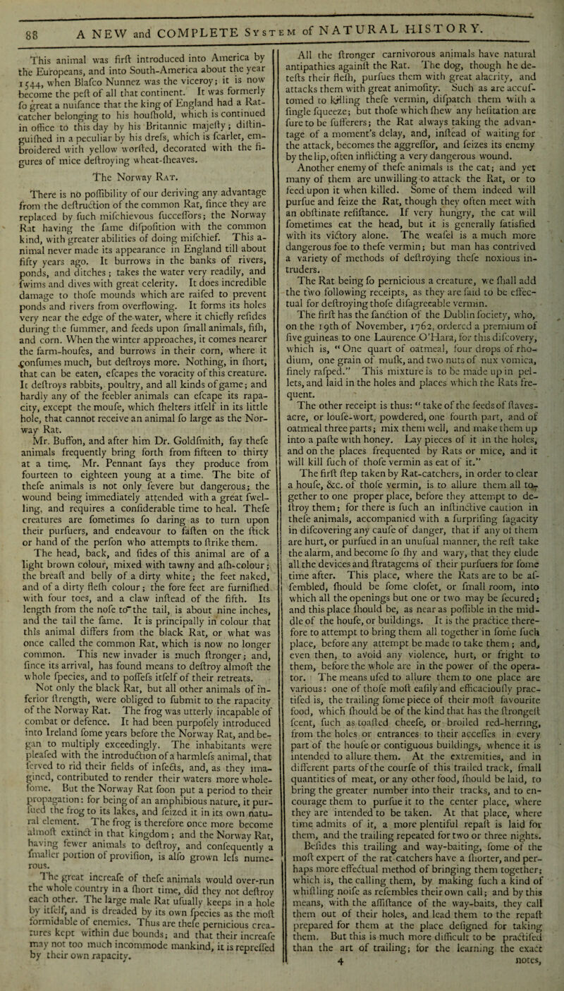 of NATURAL HISTORY. This animal was firft introduced into America by the Europeans, and into South-America about the year 1544, when Blafco Nunnez was the viceroy; it is now become the peft of all that continent. It was formerly fo great a nuifance that the king of England had a Rat¬ catcher belonging to his houfhold, which is continued in office to this day by his Britannic majefty; diftin- guifhed in a peculiar by his drefs, which is fcarlet, em¬ broidered with yellow worded, decorated with the fi¬ gures of mice deftroying wheat-fheaves. The Norway Rat. There is no poffibility of our deriving any advantage from the deftruction of the common Rat, fince they are replaced by fuch mifehievous fucceffiors; the Norway Rat having the fame difpofition with the common kind, with greater abilities of doing mifehief. This a- nimal never made its appearance in England till about fifty years ago. It burrows in the banks of rivers, ponds, and ditches; takes the water very readily, and fwims and dives with great celerity. It does incredible damage to thofe mounds which are raifed to prevent ponds and rivers from overflowing. It forms its holes very near the edge of the water, where it chiefly refides during the fummer, and feeds upon fmall animals, fifh, and corn. When the winter approaches, it comes nearer the farm-houfes, and burrows in their corn, where it ^onfumes much, but deflroys more. Nothing, in fhort, that can be eaten, efcapes the voracity of this creature. Ic deflroys rabbits, poultry, and all kinds of game; and hardly any of the feebler animals can efcape its rapa¬ city, except the moufe, which fhelters itfelf in its little hole, that cannot receive an animal fo large as the Nor¬ way Rat. Mr. Buffon, and after him Dr. Goldfmith, fay thefe animals frequently bring forth from fifteen to thirty at a time, Mr. Pennant fays they produce from fourteen to eighteen young at a time. The bite of thefe animals is not only fevere but dangerous; the wound being immediately attended with a great fwel- ling, and requires a conliderable time to heal. Thefe creatures are fometimes fo daring as to turn upon their purfuers, and endeavour to fallen on the flick or hand of the perfon who attempts to flrike them. The head, back, and fides of this animal are of a light brown colour, mixed with tawny and afli-colour; the breaft and belly of a dirty white; the feet naked, and of a dirty flefh colour; the fore feet are furniflied with four toes, and a claw inflead of the fifth. Its length from the nofe tothe tail, is about nine inches, and the tail the fame. It is principally in colour that this animal differs from the black Rat, or what was once called the common Rat, which is now no longer common. This new invader is much ffronger; and, fince its arrival, has found means to deftroy almoft the whole fpecies, and to poffefs itfelf of their retreats. Not only the black Rat, but all other animals of in¬ ferior flrength, were obliged to fubmit to the rapacity of the Norway Rat. The frog was utterly incapable of combat or defence. It had been purpofely introduced into Ireland fome years before the Norway Rat, and be¬ gan to multiply exceedingly. The inhabitants were pleafed with the introduction of a harmlefs animal, that ierved to rid their fields of infets, and, as they ima¬ gined, contributed to render their waters more whole¬ some. But the Norway Rat foon put a period to their propagation: for being of an amphibious nature, it pur- lued the trog to its lakes, and feized it in its own natu¬ ral element. The frog is therefore once more become almofl extinct in that kingdom ; and the Norway Rat, having fewer animals to deftroy, and confequently a lmaller portion of provifion, is alfo grown lefs nume¬ rous. 1 he great increafe of thefe animals would over-run the whole country in a fhort time, did they not deftroy each othei. The large male Rat ufually keeps in a hole bj itfelf, and is dreaded by its own fpecies as the moft .ormidable of enemies. Thus are thefe pernicious crea¬ tures kept within due bounds; and that their increafe may not too much incommode mankind, itisrepreffed by their own rapacity. All the ftronger carnivorous animals have natural antipathies againfl the Rat. The dog, though he de- tefts their flefh, purfues them with great alacrity, and attacks them with great animofity. Such as are accuf- tomed to killing thefe vermin, difpatch them with a Angle fqueeze; but thofe which fliew any helitation are fureto be fufferers; the Rat alu'ays taking the advan¬ tage of a moment’s delay, and, inflead of waiting for the attack, becomes the aggreffor, and feizes its enemy by the lip, often inflidling a very dangerous wound. Another enemy of thefe animals is the cat; and yet many of them are unwilling to attack the Rat, or to feed upon it when killed. Some of them indeed will purfue and feize the Rat, though they often meet with an obftinate refiftance. If very hungry, the cat will fometimes eat the head, but it is generally fatisfied with its victory alone. The w’eafel is a much more dangerous foe to thefe vermin; but man has contrived a variety of methods of deftroying thefe noxious in¬ truders. The Rat being fo pernicious a creature, we fhall add the two following receipts, as they are faid to be effec¬ tual for deftroying thofe difagreeable vermin. The firft has the fandtion of the Dublin fociety, who, on the 19th of November, 1762. ordered a premium of five guineas to one Laurence O’Hara, for this difeovery, which is, “ One quart of oatmeal, four drops of rho¬ dium, one grain of mufk, and two nuts of nux vomica, finely rafped.” This mixture is to be made up in pel¬ lets, and laid in the holes and places which the Rats fre¬ quent. The other receipt is thus; “ take of the feeds of ftaves- acre, or loufe-wort, powdered, one fourth part, and of oatmeal three parts; mix them well, and make them up into a pafte with honey. Lay pieces of it in the holes, and on the places frequented by Rats or mice, and it will kill fuch of thofe vermin as eat of it.” The firft ftep taken by Rat-catchers, in order to clear a houfe, &c. of thofe vermin, is to allure them all to¬ gether to one proper place, before they attempt to de¬ ftroy them; for there is fuch an inftindlive caution in thefe animals, accompanied with a furpriling fagacity in difeovering any caufe of danger, that if any oi them are hurt, or purfued in an unufual manner, the reft take the alarm, and become fo iky and wary, that they elude j all the devices and ftratagems of their purfuers for fome j time after. This place, where the Rats are to be af- I fembled, Ihould be fome clofet, or fmall room, into which all the openings but one or two may be fecured; and this place ihould be, as near as poffible in the mid¬ dle of the houfe, or buildings. It is the pradtice there¬ fore to attempt to bring them all together in fonie fuch place, before any attempt be made to take them ; and, even then, to avoid any violence, hurt, or fright to them, before the whole are in the power of the opera¬ tor. The means ufed to allure them to one place are various: one of thofe moft eafilyand efficacioufly prac- tifed is, the trailing fome piece of their moft favourite food, which fhould be of the kind that has the ftrongeft feent, fuch as toafted cheefe, or broiled red-herring, from the holes or entrances to their acceffes in every part of the houfe or contiguous buildings, whence it is intended to allure them. At the extremities, and in different parts of the courfe of this trailed track, fmall quantities of meat, or any other food, fhould be laid, to bring the greater number into their tracks, and to en¬ courage them to purfue it to the center place, where they are intended to be taken. At that place, where time admits of it, a more plentiful repaft is laid for them, and the trailing repeated for two or three nights. Belidcs this trailing and way-baiting, fome of the moft expert of the rat catchers have a lliorter, and per¬ haps more effectual method of bringing them together; which is, the calling them, by making fuch a kind of whiftiing noife as refembles their own call; and by this means, with the afliftance of the way-baits, they call them out of their holes, and lead them to the repaft prepared for them at the place deligned for taking them. But this is much more difficult to be pracftiled than the art of trailing; for the learning the exact 4 notes,