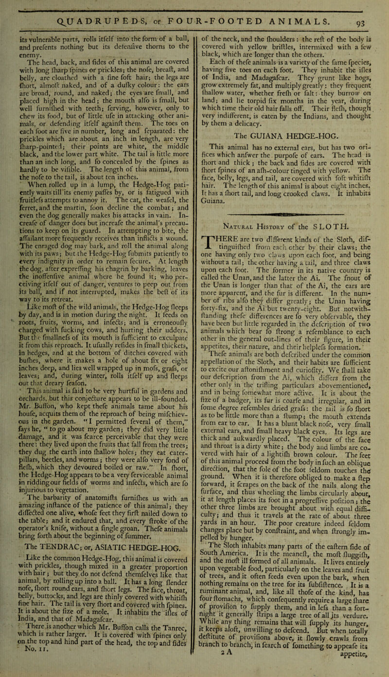 its vulnerable parts, rolls itfelf into the form of a ball, and prefents nothing but its deteniive thorns to the enemy. The head, back, and fides of this animal are covered with long fharp fpines or prickles; the nofe, bread:, and belly, are cloathed with a fine foft hair; the legs are fhort, almoft naked, and of a dufky colour: the ears are broad, round, and naked; the eyes are final 1, and placed high in the head; the mouth alfo is fmall, but well furnifhed with teeth; ferving, however, only to chew its food, but of little ufe in attacking other ani¬ mals, or defending itfelf againfi: them. The toes on each foot are five in number, long and feparated: the prickles which are about an inch in length, are very fharp-pointed; their points are white, the middle black, and the lower part white. The tail is little more than an inch long, and fo concealed by the fpines as hardly to be vilible. The length of this animal, from the nofe to the tail, is about ten inches. When rolled up in a lump, the Hedge-Hog pati¬ ently waits till'its enemy palfes by, or is fatigued with fruitlefsattempts to annoy it. The cat, the weafel, the ferret, and the martin, foon decline the combat; and even the dog generally makes his attacks in vain. In- creafe of danger does but increafe the animal’s precau¬ tions to keep on its guard. In attempting to bite, the affailant more frequently receives than inflicfis a wound. Tfie enraged dog may bark, and roll the animal along with its paws; but the Hedge-Hog fubmits patiently to every indignity in order to remain fecure. At length the dog, after expreffing his chagrin by barking, leaves the inoffenfive animal where he found it; who per¬ ceiving itfelf out of danger, ventures to peep out from its ball, and if not interrupted, makes the beft of its way to its retreat. Like moft of the wild animals, the Hedge-Hog fleeps by day, and is in motion during the night. It feeds on roots, fruits, worms, and infebts; and is erroneoufly charged with fucking cows, and hurting their udders. But the fmallnefs of its mouth is fufficient to exculpate it from this reproach. Itufually refides in fmall thickets, in hedges, and at the bottom of ditches covered with bufhes, where it makes a hole of about fix or eight inches deep, and lies well wrapped up in mofs, grafs, or leaves; and, during winter, rolls itfelf up and fleeps out that dreary feafon. * This animal is faid to be very hurtful in gardens and orchards, but this conjecture appears to be ill-founded. Mr. Bufi'on, who kept thefe animals tame about his houfe, acquits them of the reproach of being mifchiev- ous in the garden.  I permitted feveral of them,” fays he, “to go about my garden; they did very little damage, and it was fcarce perceivable that they were there: they lived upon the fruits that fall from the trees; they dug the earth into lhallow holes; they cat cater¬ pillars, beetles, and worms ; they were alfo very fond of fielh, which they devoured boiled or raw.” In fhort, the Hedge-Hog appears to be a very ferviceable animal in ridding our fields of worms and infeCts, which are fo injurious to vegetation. The barbarity of anatomifts furnifhes us with an amazing inftance of the patience of this animal; they dilfedted one alive, whofe feet they firft nailed down to the table; and it endured that, and every firoke of the operator’s knife, without a Angle groan. Thefe animals bring forth about the beginning of fummer. The TENDRAC; or, ASIATIC HEDGE-HOG. Like the common Hedge-Hog, this animal is covered with prickles, though mixed in a greater proportion with hair; but they do not defend themfelves like that animal, by rolling up into a ball. It has a long {lender nofe, fhort round ears, and fhort legs. The face, throat, belly, buttocks, and legs are thinly covered with whitifh fine hair. The tail is very fhort and covered with fpines. It is about the fize of a mole. It inhabits the ifles of India, and that of Madagafcar. There is another which Mr. Buffon calls the Tanrec, which is rather larger. It is covered with fpines only on the top and hind part of the head, the top and fides ~ No. ii. of the neck, and the fhoulders : the reft of the body is covered with yellow briftles, intermixed with a few black, which are longer than the others. Each of thefe animalsis a variety of the fame fpecies, having five toes on each foot. They inhabit the ifles of India, and Madagafcar. They grunt like hogs, grow extremely fat, and multiply greatly: they frequent lhallow water, whether frefh or fait-. they burrow on land; and lie torpid fix months in the year, during which time their old hair falls off. Their flefh, though very indifferent, is eaten by the Indians, and thought by them a delicacy. The GUIANA HEDGE-HOG. This animal has no external ears, but has two ori¬ fices which anfwer the purpofe of ears. The head is fhort and thick ; the back and fides are covered with fhort fpines of an afh-colour tinged with yellow. The face, belly, legs, and tail, are covered with foft whitifh hair. The length of this animal is about eight inches. It has a fhort tail, and long crooked claws. It inhabits Guiana. Natural History of the SLOTH. THERE are two different kinds of the Sloth, dif- tinguifhed from each other by their claws; the one having only two claws upon each foot, and being without a tail; the other having a tail, and three claws upon each foot. The former in its native country is called the Unan, and the latter the Ai. The fnout of the Unan is longer than that of the Ai, the ears are more apparent, and the fur is different. In the num¬ ber of ribs alfo they differ greatly; the Unan having forty-fix, and the Aihut twenty-eight. But notwith- flanding thefe differences are fo very obfervable, they have been but little regarded in the defcription of two animals which bear fo ftrong a refemblance to each other in the general out-lines of their figure, in their appetites, their nature, and their helplefs formation.' 1 hefe animals are both defcribed under the common appellation of the Sloth, and their habits are fufficient to excite our aftonifhment and curiofity. We fhall take our defcription from the Ai, which differs from the other only in the trifling particulars abovementioned, and in being fomewhat more adfive. It is about the fize of a badger, its fur is coarfe and irregular, and in fome degree refembles dried grafs: the tail is fo fhort as to be little more than a flump; the mouth extends from ear to ear. It has a blunt black nofe, very fmall external ears, and fmall heavy black eyes. Its legs are thick and aukwardly placed. The colour of the face and throat is a dirty white; the body and limbs are co¬ vered with hair of a lightifh brown colour. The feet of this animal proceed from the body infuch an oblique direction, that the foie of the foot feldom touches the' ground. When it is therefore obliged to make a fiep forward, it fcrapes on the back of the nails along the furface, and thus wheeling the limbs circularly about, it at length places its foot in a progreffive pofition; the other three limbs are brought about with equal diffi¬ culty ; and thus it travels at the rate of about three yards in an hour. The poor creature indeed feldom changes place but by conftraint, and when ftrongly im¬ pelled by hunger. The Sloth inhabits many parts of the eaftern fide of South America. It is the meaneft, the moft fluggifh, and the moft ill formed of all animals. It lives entirely upon vegetable food, particularly on the leaves and fruit of trees, and it often feeds even upon the bark, when nothing remains on the tree for its fubfiftence. It is a ruminant animal, and, like all thofe of the kind, has four ftomachs, which confequently require a large fharc of provifion to fupply them, and in lefs than a fort¬ night it generally firips a large tree of all jts verdure. While any thing remains that will fupply its hunger, it keeps aloft, unwilling to defcend. But when totally deftitute of provifions above, it flowly crawls from branch to branch, in fearch of fomething to appeafe its 2 A appetite.