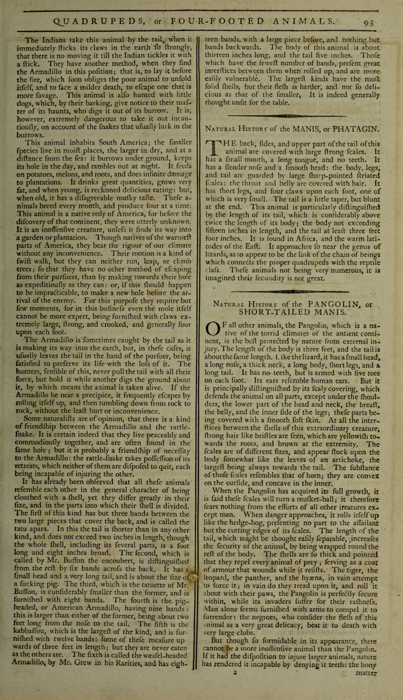 The Indians take this animal by the taU,v when it immediately dicks its claws in the earth lb ftrongly, that there is no moving it till the Indian tickles it with a flick. They have another method, when they find the Armadillo in this pofition; that is, to lay it before the fire, which foon obliges the poor animal to unfold itfelf, and to face a milder death, to efcape one that is more favage. This animal is alfo hunted with little dogs, which, by their barking, give notice to their maf- ter of its haunts, who digs it out of its burrow. It is, however, extremely dangerous to take it out incau- tioufly, on account of the fnakes that ufually lurk in the burrows. This animal inhabits South America; the fmaller fpecies live in moift places, the larger in dry, and at a diflance from the fea: it burrows under ground, keeps its hole in the day, and rambles out at night. It feeds on potatoes, melons, and roots, and does infinite damage to plantations. It drinks great quantities, grows very fat, and when young, is reckoned delicious eating: but, when old, it has a difagreeable mufky tafie. Thefe a- nimals breed every month, and produce four at a time. This animal is a native only of America, for before the difeovery of that continent, they were utterly unknown. It is an inoffenfive creature, unlefs it finds its way into a garden or plantation. Though natives of the warmefl parts of America, they bear the rigour of our climate without any inconvenience. Their motion is a kind of fwift walk, but they can neither run, leap, or climb trees; fo that they have no other method of efcaping from their purfuers, than by making towards their hole as expeditioufly as they can: or, if this fliould happen to be impracticable, to make a new hole before the ar¬ rival of the enemy. For this purpofe they requ ire but few' moments, for in this bufinefs even the mole itfelf cannot be more expert, being furnifhed with claws ex¬ tremely large, Ilrong, and crooked, and generally four upon each foot. The Armadillo is'fometimes caught by the tail as it is making its w7ay into the earth, but, in thefe cafes, it ufually leaves the tail in the hand of the purfuer, being fatisfied to preferve its life with the lofs of it. The hunters, fenfible of this, never pull the tail with all their force, but hold it while another digs the ground about it, by which means the animal is taken alive. If the Armadillo be near a precipice, it frequently efcapes by rolling itfelf up, and then tumbling down from rock to rock, without the lead hurt or inconvenience. Some naturalifis are of opinion, that there is a kind of friendfhip between the Armadillo and the rattle- fnake. It is certain indeed that they live peaceably and commodioufly together, and are often found in the lame hole ; but it is probably a friendfhip of necefiity to the Armadillo: the rattle-fnake takes poffclTion of its retreats, which neither of them are difpofed to quit, each being incapable of injuring the other. It has already been obferved that all thefe animals refemble each other in the general character of being cloathed with a (hell, yet they differ greatly in their fize, and in the parts into which their (hell is divided. The firfl of this kind has but three bands between the two large pieces that cover the back, and is called the tatu apara. In this the tail is fhorter than in any other kind, and does not exceed two inches in length, though the whole fhell, including its feveral parts, is a foot long and eight inches broad'. The fecond, which is called by Mr. Buffon the encoubert, is diftinguiflied from the reft by fix bands acrofs the back. It has a^ Ifnall head and a very long tail, and is about the fize of.  a fucking pig. The third, which is the tatuette of Mr. Buffon, is confiderably fmaller than the former, and is furnifhed with eight bands. The fourth is the. pig¬ headed, or American Armadillo, having nine bands : this is larger than either of the former, being about two feet long from the nofe to the tail. The fifth is the kabbaffou, which is the largeft of the kind, and is fur¬ nifhed with twelve bands: fome of thefe meafure up wards of three feet in length; but they are never eaten as the others are. The fixth is called the weafel-headed Armadillo, by Mr, Grew in his Rarities, and has eigh¬ teen bands, with a large piece before, and nothing but bands backwards. The body of this animal is about thirteen inches long, and the tail five inches. Thofe which have the feweft number of bands, prefent great inrerfticcs between them when rolled up, and are more eafily vulnerable. The largeft kinds have the moft folid (hells, but their fiefh is harder, and not fo deli¬ cious as that of the finaller* It is indeed generally thought unfit for the table. Natural History of the MANIS, or PHATAGIN. ^T^HE back, fides, and upper part of the tail of this H animal are covered with large ftrong feales. It has a fmall mouth, a long tongue, and no teeth. It has a (lender nofe and a fmooth head: the body, legs, and tail are guarded by large (harp-pointed ftriated feales: the throat and belly are covered with hair. It has fhort legs, and four claws upon each foot, one of which is very fmall. The tail is a little taper, but blunt at the end. This animal is particularly diftinguilhed by. the length of its tail, which is confiderably above twice the length of its body; the body not exceeding fifteen inches in length, and the tail at lead three feet four inches. It is iound in Africa, and the warm lati¬ tudes ot the Eaft. It approaches fo near the genus of lizards, as to appear to be the link of the chain of beings which connedts the proper quadrupeds with the reptile clafs. Thefe animals not being very numerous, it is imagined their fecundity is not great. Natural Htstory of the PANGOLIN, or SHORT-TAILED MANIS. OF all other animals, the Pangolin, which is a na¬ tive of the torrid climates of the antient conti¬ nent, is the bed protected by nature from external in¬ jury. The length of the body is three feet, and the tail is aboutthefame length. Like thelizard, it has a fmall head, a long nofe, a thick neck, a long body, fhort legs, and a long tail. It has no teeth, but is armed with five toes on each foot. Its ears refemble human ears. But it is principally diftinguilhed by its fcaly covering, which defends the animal on all parts, except under the (houl- ders, the lower part of the head and neck, the bread, the belly, and the inner fide of the legs; thefe parts be¬ ing covered w ith a fmooth foft (kin. At all the inter¬ faces between the (hells of this extraordinary creature, ftrong hair like bridles are feen, which are yellowifh to-* wards the roots, and brown at the extremity. The feales are of different fizes, and appear ftuck upon the body fomewhat like the leaves of an artichoke, the largeft being always towards the tail. The fubftance of thofe feales refembles that of horn; they are convex on the outfide, and concave in the inner. When the Pangolin has acquired its full growth, it is faid thefe feales will turn a mulket-ball; it therefore fears nothing from the efforts of all other ireatures ex¬ cept man. When danger approaches, it rolls itfelf up like the hedge-hog, presenting no part to the affailant but the cutting edges of its feales. The length of the tail, which might be thought eafily feparable, pnereafes the fecurity of the animal, by being wrapped round the reft of the body. The (hells are fo thick and pointed that they repel every animal of prey ; ferving as a coat of armour that wounds while it refifts. The tiger, the leopard, the panther, and the hyaena, in vain attempt to force it; in vain do they tread upon it, and roll it about with their paw's, the Pangolin is perfectly fecure within, while its invaders differ for their raftinefs. Man alone feems furnifhed with arms to compel it to furrender: the negroes, who confider the flefh of this .nimal as a very great delicacy, beat it to death with v'ery large clubs. But though fo formidable in its appearance, there cannot be a more inoffenfive animal than the Pangolin. If it had the difpofition to injure larger animals, nature has rendered it incapable by denying it teeth: the bony 2 ' matter