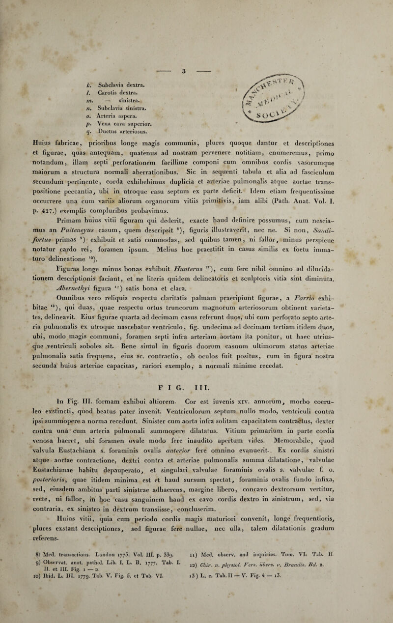 k. Subclavia dextra. /. Carotis dextra. m. — sinistra.^ n. Subclavia sinistra. o. Arteria aspera. p. Vena cava superior. q. Ductus arteriosus. Huius fabricae, prioribus longe magis communis, plures quoque dantur et descriptiones et figurae, quas antequam, quatenus ad nostram pervenere notitiam, enumeremus, primo notandum, illam septi perforationem facillime componi cum omnibus cordis vasorumque maiorum a structura normali aberrationibus. Sic In sequenti tabula et alia ad fasciculum secundum pertinente, corda exhibebimus duplicia et arteriae pulmonalis atque aortae trans¬ positione peccantia, ubi In utroque casu septum ex parte delicit. Idem etiam frequentissime occurrere una cum variis aliorum organorum vitiis primi.tivis, iam alibi (Path. Anat. Vol. I. p. 427.) exemplis compluribus probavimus. Primam huius vitii figuram qui dederit, exacte haud definire possumus, cum nescia¬ mus an Pulteneyus casum, quem descripsit ®), figuris Illustraverit, nec ne. SI non, Saudi- fortus primas exhibuit et satis commodas, sed quibus tamen, ni fallor, minus perspicue notatur cardo rei, foramen ipsum. Melius hoc praestitit In casus similis ex foetu imma¬ turo delineatione '°). Figuras longe minus bonas exhibuit Hnnterus ), cum fere nihil omnino ad dlluclda- tlonem descriptionis faciant, et ne literis quidem delineatoris et sculptoris vitia sint diminuta. Abernethyi figura satis bona et clara. Omnibus veio reliquis respectu claritatis palmam praeripiunt figurae, a Farrio exhi¬ bitae ”), qui duas, quae respectu ortus truncorum magnorum arteriosorum obtinent varieta¬ tes, delineavit. Eius figurae quarta ad decimam casus referunt duos, ubi cum perforato septo arte¬ ria pulmonalis ex utroque nascebatur ventriculo, fig. undecima ad decimam tertiam itidem duos, ubi, modo magis communi, foramen septi Infra arteriam aortam ita ponitur, ut haec utrlus- que ventriculi soboles sit. Bene simul In figuris duorum casuum ultimorum status arfeiiae pulmonalis satis frequens, eius sc. contractio, ob oculos fuit positus, cum in figura nostra secunda huius arteriae capacitas, rariori exemplo,' a normali minime recedat. F I G. III. In Fig. III. formam exhihul altiorem. Cor est iuvenis xiv. annorum, morho coeru¬ leo exstincti, quod beatus pater Invenit. Ventriculorum septum nullo modo, ventriculi contra ipsi summopere a norma recedunt. Sinister cum aorta infra solitam capacitatem contractus, dexter contra una cum arteria pulmonali summopere dilatatus. Vitium primarium In parte cordis venosa haeret, ubi foramen ovale modo fere inaudito apertum vides. Memorabile, quod valvula Eustachiana s. foraminis ovalis anterior fere omnino evanuerit.. Ex cordis sinistri atque aortae contractione, dextri contra et arteriae pulmonalis summa dilatatione, valvulae Euslachlanae habitu depauperato, et singulari valvulae foraminis ovalis s. valvulae f. o. posterioris^ quae itidem minima est et haud sursum spectat, foraminis ovalis fundo Infixa, sed, eiusdem ambitus parti sinistrae adhaei'ens, margine libero, concavo dextrorsum vertitur, recte, ni fallor, In hoc casu sanguinem haud ex cavo cordis dextro in sinistrum, sed, via contraria, ex sinistro In dextrum translisse, concluserim. Huius villi, quia cum periodo cordis magis maturiori convenit, longe frequentloris, plures exstant descriptiones, sed figurae fere nullae, nec ulla, talem dilatationis gradum referens. 8) Med. transactions. London lyyS. Vol. III. p. SSg. 9) Observat, anat. pathol. Lib. I. L. B. 1777. Tab. I. II. et III. Fig. 1 ^— 2 10) Ibid. L. III. 1779. Tab. V. Fig. 5. et Tab. VI. 11) Med. obscrv. and inqniries. Tom. VI» Tab. II 12) Chir. u. phjsiol. Fers, iibers. 1^. lirandis. Bd. i. 13) L. c. Tab.II — V. Fig. 4 — i3.