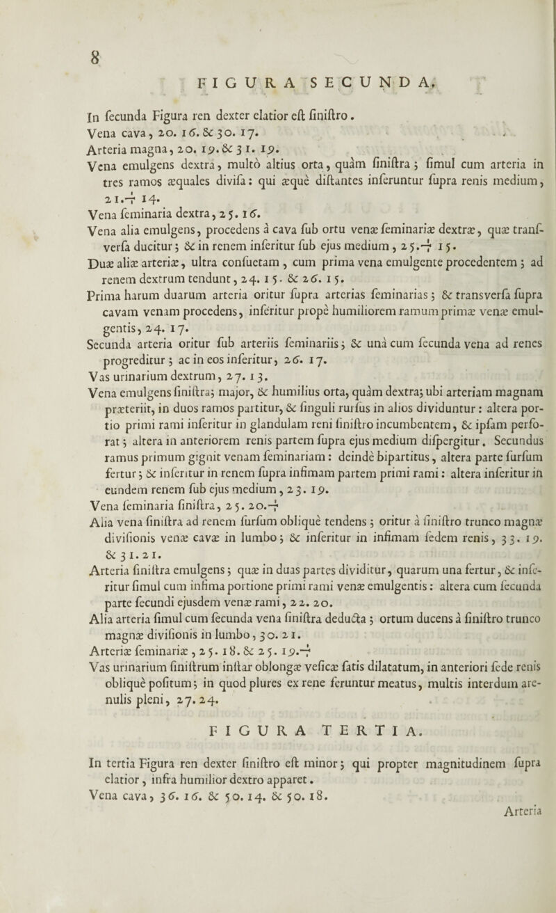FIGURA SECUNDA, •' » ■. JL • -* * v % •• «*- *' In fecunda Figura ren dexter elatior eft finiftro. Vena cava, 20. 16. Se 30. 17. . - / Arteria magna, 20. 19. Se 3 1. 15?. . „ Vena emulgens dextra, multo altius orta, quam finiftra; fimul cum arteria in tres ramos aequales divifa: qui a?que diftantes inferuntur fupra renis medium, 2 1 .~7 14* Vena feminaria dextra, 25.16, Vena alia emulgens, procedens a cava fub ortu vena?feminaris dextra, qua? tranf- verfa ducitur ; Se in renem inferitur fub ejus medium , 2 5.-7 15. Duse alia? arteria?, ultra confuetam , cum prima vena emulgente procedentem ; ad renem dextrum tendunt, 24. 15. Se 26. 15. Prima harum duarum arteria oritur fupra arterias feminarias; 8e transverfa fupra cavam venam procedens, inferitur prope humiliorem ramum prima? vena? emul¬ gentis, 24. 17. Secunda arteria oritur fub arteriis feminariis i Se una cum fecunda vena ad renes progreditur; ac in eos inferitur, 26. 17. Vas urinarium dextrum, 27. 13. Vena emulgens finiftra; major, Se humilius orta, quam dextra; ubi arteriam magnam pra?teriir, in duos ramos partitur, Se finguli rurfus in alios dividuntur : altera por¬ tio primi rami inferitur in glandulam reni liniftro incumbentem, Se ipfam perfo¬ rat ; altera in anteriorem renis partem fupra ejus medium difpergitur. Secundus ramus primum gignit venam feminariam: deinde bipartitus, altera parte furfum fertur; Se inferitur in renem fupra infimam partem primi rami: altera inferitur in eundem renem fub ejus medium ,23. 19. Vena feminaria finiftra, 25. 20.-7 Aha vena finiftra ad renem furfum oblique tendens ; oritur a finiftro trunco magna? divilionis vena? cava? in lumbo; Se inferitur in infimam fedem renis, 33. 19. Se 3 1. 2 1. Arteria finiftra emulgens; qua? in duas partes dividitur, quarum una fertur, Se infe¬ ritur fimul cum infima portione primi rami vena? emulgentis: altera cum fecunda parte fecundi ejusdem vense rami ,22.20. Alia arteria fimul cum fecunda veiia finiftra deducia ; ortum ducens a finiftro trunco magna? divifionis in lumbo, 30. 21. Arteria? feminaria?, 2 5. 18. Se 2 5. i^.~f Vas urinarium finiftrum inftar oblonga? vefica? fatis dilatatum, in anteriori fede renis oblique politum; in quodplures ex rene feruntur meatus, multis interdum are¬ nulis pleni, 27. 24. • • FIGURA TERTIA. In tertia Figura ren dexter finiftro eft minor; qui propter magnitudinem fupra elatior , infra humilior dextro apparet. Vena cava, 36. 16. Se 50.14. Se 50. 18. Arteria