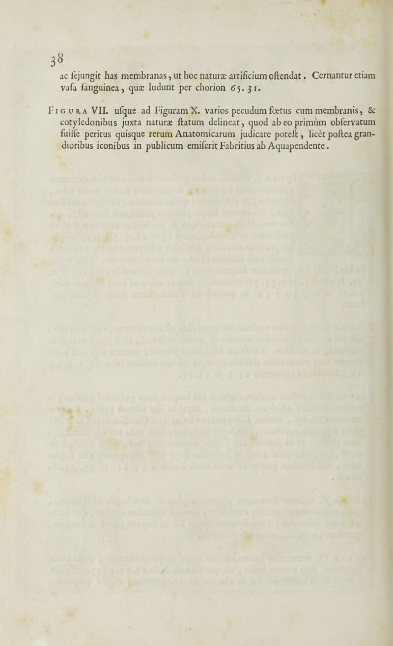 ac fejungit has membranas, ut hoc natura? artificium oftendat. Cernantur etiam vafa (anguinea, qua? ludunt per chorion 65. 31. Figura VII. ufque ad Figuram X. varios pecudum foetus cum membranis, cotyledonibus juxta natura? ftatum delineat, quod ab eo primum obfervatum fuiffe peritus quisque rerum Anatomicarum judicare poteft , licet poftea gran¬ dioribus iconibus in publicum emiferit Fabritius ab Aquapendente.