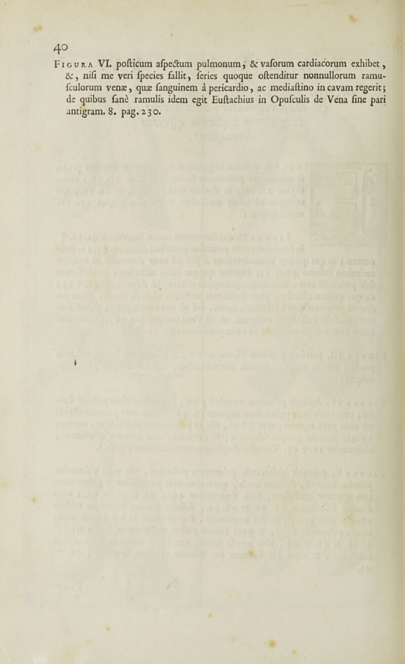 Figura VI. pollicum afpe<5tum pulmonum, &r vafbrum cardiacorum exhibet , , nili me veri fpecies fallit, feries quoque oftenditur nonnullorum ramu- fculorum vense, qua* fanguinem a pericardio, ac mediaftino in cavam regerit; de quibus fane ramulis idem egit Euftachius in Opufculis de Vena fine pari