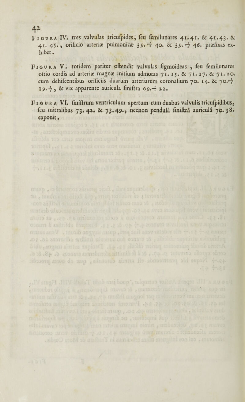 Figura IV. tres valvulas triculpides, feu femilunares 41.41. & 41.43. & 41. 45., orificio arteria pulmonicae 39.-7 40. & 39.-7 46. praefixas ex¬ hibet . Figura V. totidem pariter oftendit valvulas figmoideas , feu femilunares oltio cordis ad arteria? magnae initium admotas 71. 15. & 71. 17. & 71. 20. cum dehifcentibus orificiis duarum arteriarum coronalium 70. 14. 6c 70.-7 ii?.-;, & vix apparente auricula finiftra *5>.-r ii. Figura VI. finiftrum ventriculum apertum cum duabus valvulis triculpidibus, feu mitralibus 73.4*. & 73.490 necnon pendula fimftra auricula 70. 38. exponit.