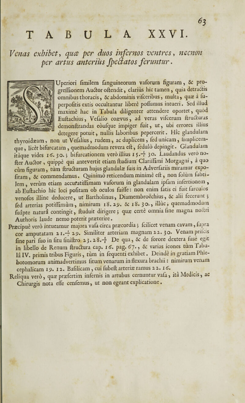 «3 TABULA XXVI. Venas exhibet, quee per duos infernos ventres, necnon per artus anterius fpe flatos feruntur. Uperiori fimilem fanguineorum vaforum figuram, Sc pro- greflionem Au&or oftendit, clarius hic tamen , quia detra&is omnibus thoracis, & abdominis vifceribus, multa, qua: a fu- perpofitis extis occultantur libere pofliimus intueri. Sed illud maxime hac in Tabula diligenter attendere oportet, quod Euftachius, Vefalio coamis, ad veras vifcerum ftru&uras demonftrandas eoufque impiger fuit, ut, ubi errores illius detegere potuit, nullis laboribus pepercerit. Hic glandulam thyroidseam» non ut Vefalius, rudem, ac duplicem , fed unicam, limphcem- que, licet bifurcatam , quemadmodum revera eft, fedulo depingit. Glandulam itaque vides 16. 30.5 bifurcationem vero illius 1 5r 30. Laudandus vero no- fter Au&or , quippe qui antevertit etiam fludium Clariflimi Morgagni, a quo cum figuram, tum ftru&uram hujus glandula; fuis in Adverfariis miramur expo- fitam, Sc commendamus. Quinimo reticendum minime eft , non folum fubti- lem, verum etiam accufatiflimam vaforum in glandulam ipfam infertionem , ab Euftachio hic loci pofitam ob oculos fuifTe: non enim fatis ei fuit furcuios venofos illinc deducere, ut Bartholinus, Diamembroechius, Sc alii fecerunt5 fed arterias potiffimum, nimirum 18.251. 6c 18.30., illuc, quemadmodum fu apte naturi contingit, ftuduit dirigere 3 qua: certe omnia fine magna noitri Authoris laude nemo poterit praeterire. Prsecipue vero intueamur majora vafa circa praecordia 3 fcilicet venam cavam, fupra cor amputatam 21.-7 29. Similiter arteriam magnam 22. 30. Venam prifeis fine pari fuoin litu finiftro 23.28.-} De qua, & de forore dextera fuse egit in libello de Renum ftru&ura cap. 16. pag.67., & varias icones tum Tabu¬ la IV. primis tribus Figuris, tum in fequenti exhibet. Deinde in gratiam Phle¬ botomorum animadvertimus fitum venarum in flexura brachii: nimirum venam cephalicam 112. Bafilicam , cui fiibeft arteria ramus 22.16» Reliqua vero, qua: praTertim infernis in artubus cernuntur vafa, ita Medicis, ac Chirurgis nota efle cenfemus, ut non egeant explicatione.