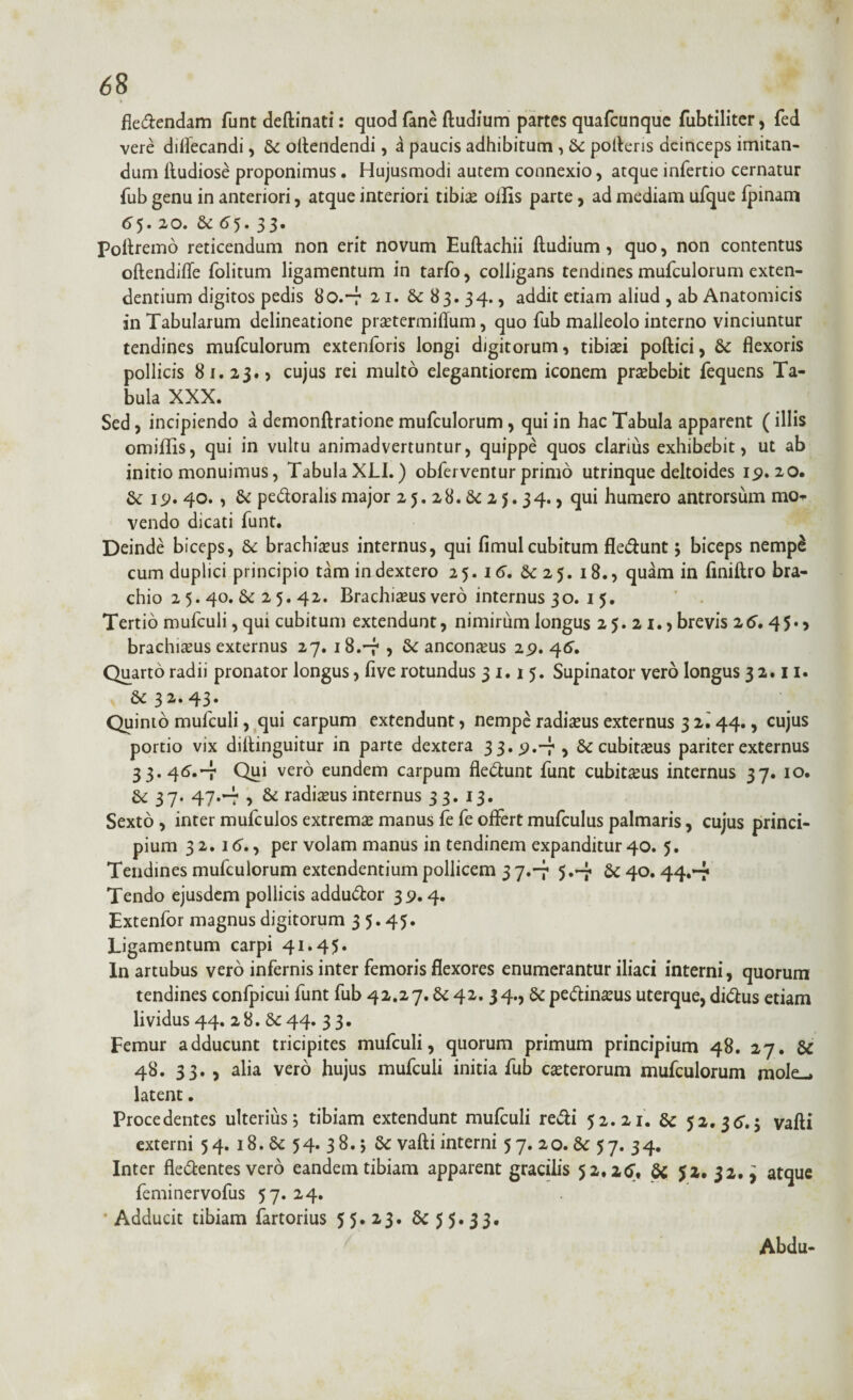 68 > fie&endam funt deftinati: quod fane ftudium partes quafcunque fubtiliter, fed vere diflecandi, Sc oftendendi, a paucis adhibitum , Sc polleris deinceps imitan¬ dum ftudiose proponimus. Hujusmodi autem connexio, atque infertio cernatur fub genu in anteriori, atque interiori tibise olfis parte, ad mediam ufque fpinam 65. 20. Sc 65.33. poftremo reticendum non erit novum Euftachii ftudium, quo, non contentus oftendifte folitum ligamentum in tarfo, colligans tendines mufculorum exten¬ dentium digitos pedis 80.-7 2 1. & 83. 34., addit etiam aliud , ab Anatomicis in Tabularum delineatione praetermiflum, quo fub malleolo interno vinciuntur tendines mufculorum extenloris longi digitorum, tibiaei poftici, Sc flexoris pollicis 81.23., cujus rei multo elegantiorem iconem praebebit fequens Ta¬ bula XXX. Sed, incipiendo a demonftratione mufculorum , qui in hac Tabula apparent (illis omiffis, qui in vultu animadvertuntur, quippe quos clarius exhibebit, ut ab initio monuimus, Tabula XLI.) obferventur primo utrinque deltoides 19.20. Sc 19. 40. , Sc pedoralis major 25. 28. Sc 2 5.34., qui humero antrorsum mo^ vendo dicati funt. Deinde biceps, Sc brachiaeus internus, qui fimulcubitum fle&unt5 biceps nempS cum duplici principio tam indextero 25.16'. Sc 25. 18., quam in finiftro bra¬ chio 2 5. 40. & 2 5. 42. Brachiatus vero internus 30. 1 5. T . Tertio mufculi, qui cubitum extendunt, nimirum longus 25.21., brevis 26. 45. > brachiaeus externus 27. 18.-7 , Sc anconatus 29. 46. Quarto radii pronator longus, five rotundus 31.15. Supinator vero longus 32.11. Sc 3 43* Quinto mufculi, qui carpum extendunt, nempe radiaeus externus 3 2.' 44., cujus portio vix diftinguitur in parte dextera 3 3. 9.-7 , Sc cubitatus pariter externus 3 3. 46.-7 Qui vero eundem carpum fledlunt funt cubitaeus internus 37. 10. Sc 37. 47.-7 , Sc radiaeus internus 33. 13. Sexto, inter mufculos extremae manus fefe offert mufculus palmaris, cujus princi¬ pium 32.16., per volam manus in tendinem expanditur 40. 5. Tendines mufculorum extendentium pollicem 3 7.-7 5.-7 Sc 40. 44.-7 Tendo ejusdem pollicis addudfcor 39.4. Extenfor magnus digitorum 3 5.45. Ligamentum carpi 41.45. In artubus vero infernis inter femoris flexores enumerantur iliaci interni, quorum tendines confpicui funt fub 42.27. Sc 42. 34., Sc pe&inatus uterque, di&us etiam lividus 44. 28.Sc44.33. Femur adducunt tricipites mufculi, quorum primum principium 48. 27. Sc 48. 33. , alia vero hujus mufculi initia fub caeterorum mufculorum mole^ latent. Procedentes ulterius 5 tibiam extendunt mufculi redii 52.21. Sc 52.36.5 vafti externi 54. 18.Sc 54. 38.; Sc vafti interni 5 7. 20. Sc 57. 34. Inter fledlentes vero eandem tibiam apparent gracilis 52,26, Sc 52. 32. , atque feminervofus 57.24. • Adducit tibiam fartorius 55. 23. Sc 5 5.33. Abdu-