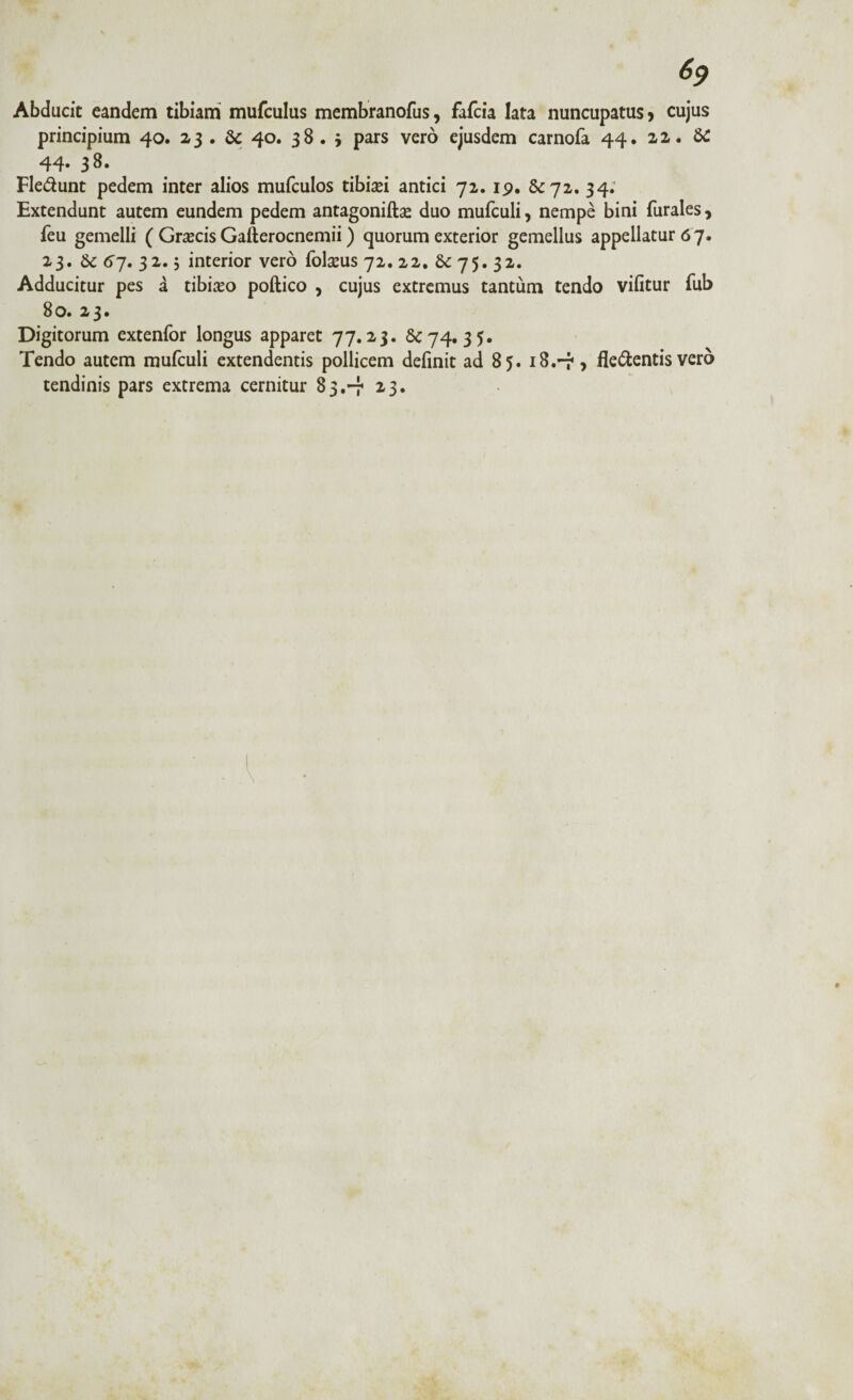 Abducit eandem tibiam mufculus membranofus, fafcia lata nuncupatus > cujus principium 40. 23 • & 40. 38.5 pars vero ejusdem carnofa 44. 22. & 44* 38* Fle&unt pedem inter alios mufculos tibiasi antici 72. 19. 6C72. 34. Extendunt autem eundem pedem antagoniftse duo mufculi, nempe bini furales 7 feu gemelli ( Grascis Gafterocnemii) quorum exterior gemellus appellatur 67. 23. &c 67. 32. j interior vero folseus 72. 22. & 75. 32. Adducitur pes a tibino poftico , cujus extremus tantum tendo vilitur fub 80. 23. Digitorum extenfor longus apparet 77.23. 6C74. 35. Tendo autem mufculi extendentis pollicem definit ad 85. 18.-7 > fle&entis vero tendinis pars extrema cernitur 83.-7 23.