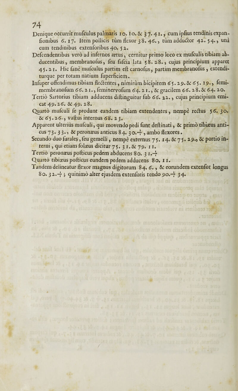 74 Denique occurrit mufculus palmaris io. to. dc 37.41., cum ipfius tendinis expan- fionibus 6. 17. Item pollicis tum flexor 38.45., tum addudor 42. 54., una cum tendinibus extenforibus 40. 52. Defcendentibus vero ad infernos artus, cernitur primo loco ex mufculis tibiam ab¬ ducentibus, membranofus, feu fafcia lata 58.28., cujus principium apparet 45.21. Hic fane mufculus partim eA carnofus, partim membranofus, extendi- turque per totam natium fuperficiem. Infuper offendimus tibiam fledentes, nimirum bicipitem 65.19.dc 65. 19., femi- membranofum 66. 21., feminervofum 64. 21., & gracilem 66. 28. dc 54. 20. Tertio Sartorius tibiam adducens diAinguitur fub 66. 22., cujus principium emi¬ cat 49. 26. dc 49. 28. Quarto mufculi fe produnt eandem tibiam extendentes, nempe redus 56”. 30. dc 55.16., vaAus internus 68. 23. Apparent ulterius mufculi, qui movendo pedi funt deAinati, dc primo tibiseus anti¬ cus 73. 3 3., dc peroneus anticus 84. 3 0.-7 ? ambo flexores. Secundo duo furales, feu gemelli, nempe externus 75. 14. dc 75. 29., dc portio in¬ terni , qui etiam fobeus dicitur 75. 3 1. & 79. 11. Tertio peronatus poAicus pedem abducens 80. 3 1.-7 Quarto tibinus poAicus eundem pedem adducens 80. 11. Tandem delineatur flexor magnus digitorum 84. 6., dc eorundem extenfor longus