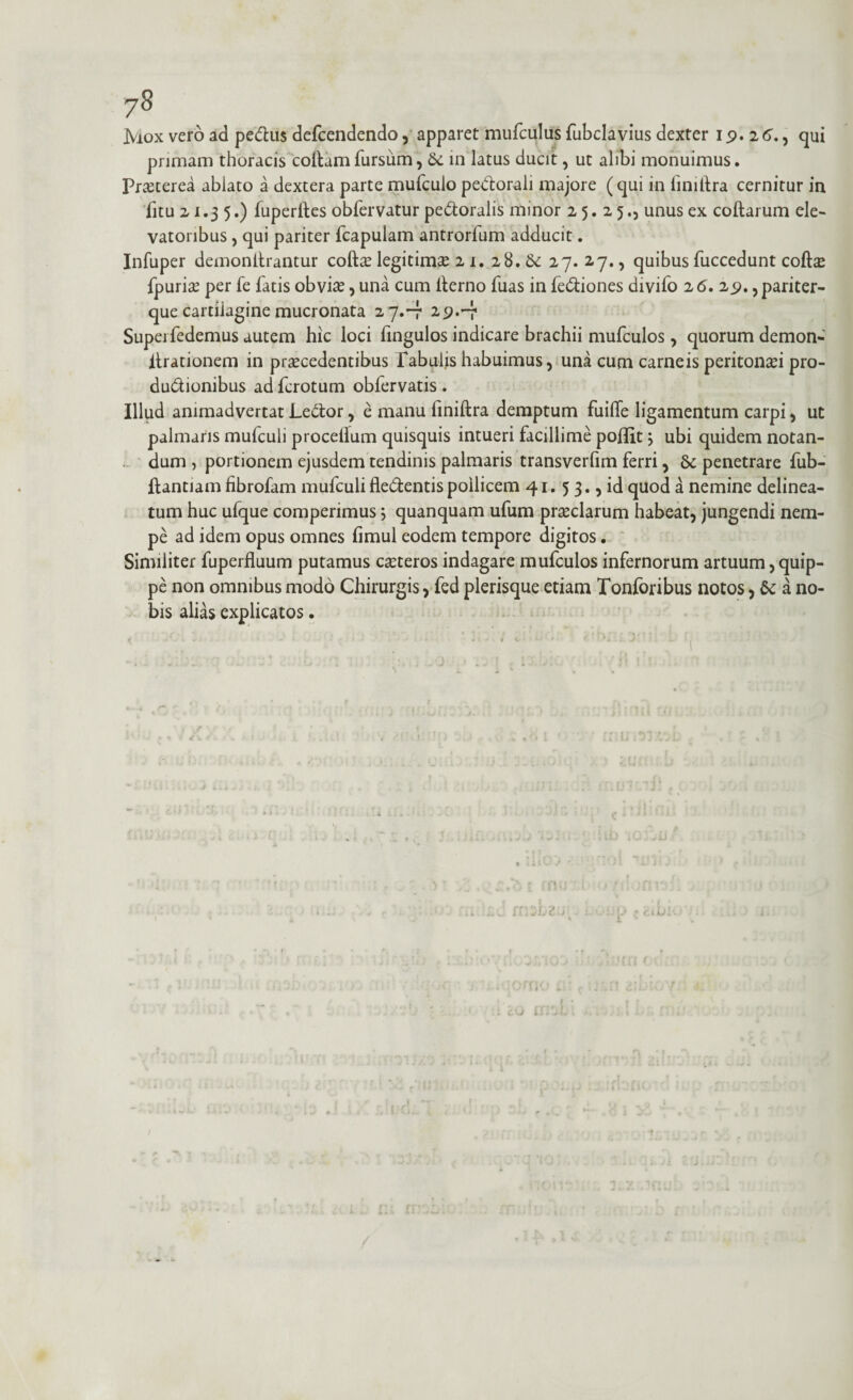 78 Mox vero ad pedlus defcendendo , apparet mufculus fubclavius dexter 19. 26., qui primam thoracis collamfursum, &. in latus ducit, ut alibi monuimus. Praeterea ablato a dextera parte mufculo pedtorali majore (qui in liniltra cernitur in litu 21.35.) luperlles obfervatur pectoralis minor 25.25., unus ex collarum ele¬ vatoribus , qui pariter fcapulam antrorfum adducit. Infuper demonllrantur colla? legitimo 21. 28. & 27. 27., quibus fuccedunt collo fpurio per fe fatis obvia?, una cum llerno fuas in fedtiones divifo 26. 2p. ,pariter- que cartilagine mucronata 27.-7 2,9.-7 Superfedemus autem hic loci fingulos indicare brachii mufculos, quorum demon- llrationem in procedentibus Tabulis habuimus, una cum carneis peritonoi pro¬ ductionibus ad fcrotum obfervatis . Illud animadvertat Lector, e manu finiffcra demptum fuiffe ligamentum carpi, ut palmaris mufculi proceifum quisquis intueri facillime poflit} ubi quidem notan¬ dum , portionem ejusdem tendinis palmaris transverfim ferri, & penetrare fub- flantiam fibrofam mufculifledlentispoilicem 41. 5 3., id quod a nemine delinea- tum huc ufque comperimus 5 quanquam ufum proclarum habeat, jungendi nem¬ pe ad idem opus omnes limul eodem tempore digitos. Similiter fuperfluum putamus coteros indagare mufculos infernorum artuum, quip¬ pe non omnibus modo Chirurgis, fed plerisque etiam Tonforibus notos, &: a no¬ bis alias explicatos. t