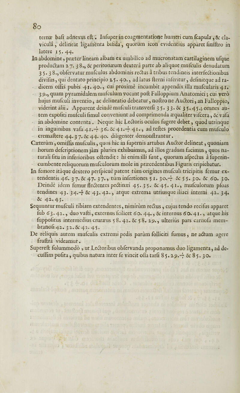 terno bafi adnexus eft . Infuper in coagmentatione humeri cum fcapula , Se cla¬ vicula , delineat ligamenta biiida, quorum icon evidentius apparet liniftro in latere 15.44. In abdomine, proter lineam albam ex umbilico ad mucronatam cartilaginem ufque produdam 27.3 8., Se peritonaeum dextera parte ab aliquot mufculis denudatum 35.3 8.,obfervatur mufculus abdominis redus a tribus tendineis interfedionibus divifus, qui dentato principio 15.40., ad latus fterni inferitur, delinitque ad ra¬ dicem offis pubis 41.40., cui proxime incumbit appendix ilia mufcularis 41. 39., quam pyramidalem mufculum vocant poft Falloppium Anatomici j cui vero hujus mufculi inventio, ac delineatio debeatur, nollro ne Audori, an Falloppio, viderint alii. Apparent deinde mufculi transverfi 35. 33.Sc 3 5.454 omnes au¬ tem expofiti mufculi fimul conveniunt ad comprimenda oqualiter vifcera 5 Se vafa in abdomine contenta . Neque hic Ledoris oculos fugere debet, quod utrinque in inguinibus vafa 41.-7 36. 41.-7 41*5 ad teftes procedentia cum mufculo cremaftere 44.3 7. Se 44. 40. diligenter demonftrantur. Coterum, omiffis mufculis, quos hic in fupernis artubus Audor delineat, quoniam horum defcriptionem jam pluries exhibuimus, ad illos gradum facimus, quos na¬ turali fitu in inferioribus ollendit: hi enim illi funt, quorum alpedus a fuperin- cumbente reliquorum mufculorum mole in procedentibus Figuris eripiebatur. In femore itaque dextero perfpicue patent turn origines mufculi tricipitis femur ex¬ tendentis 46. 37. 8e 47. 3 7., tum infertiones 51.30.-r Se 5 5. 3 o. Se 60. 3 o. Deinde idem femur fledentes pedinoi 45.35. 8^45. 41., mufculorum pfoas tendines 43. 34.-7 Se 43.42., atque extrema utriusque iliaci interni 42. 34. Se 42.43. Sequuntur mufculi tibiam extendentes, nimirum redus , cujus tendo recifus apparet fub 6^3.42., duo valli, externus fcilicet 60. 44., Se internus 60» 41., atque his fuppolitus intermedius crurous 5 8.42. Se 58. 29., ulterius pars carnofa mem- branofi42. 3 2. Se 42. 45. De reliquis autem mufculis extremi pedis parum folliciti fumus, ne adum agere fruftra videamur. Supereft folummodo , ut Ledoribus obfervanda proponamus duo ligamenta, ad de- cuffim polita, quibus natura inter fe vincit olla tarfi 8 5.29.-7 Se 8 5. 3 o.