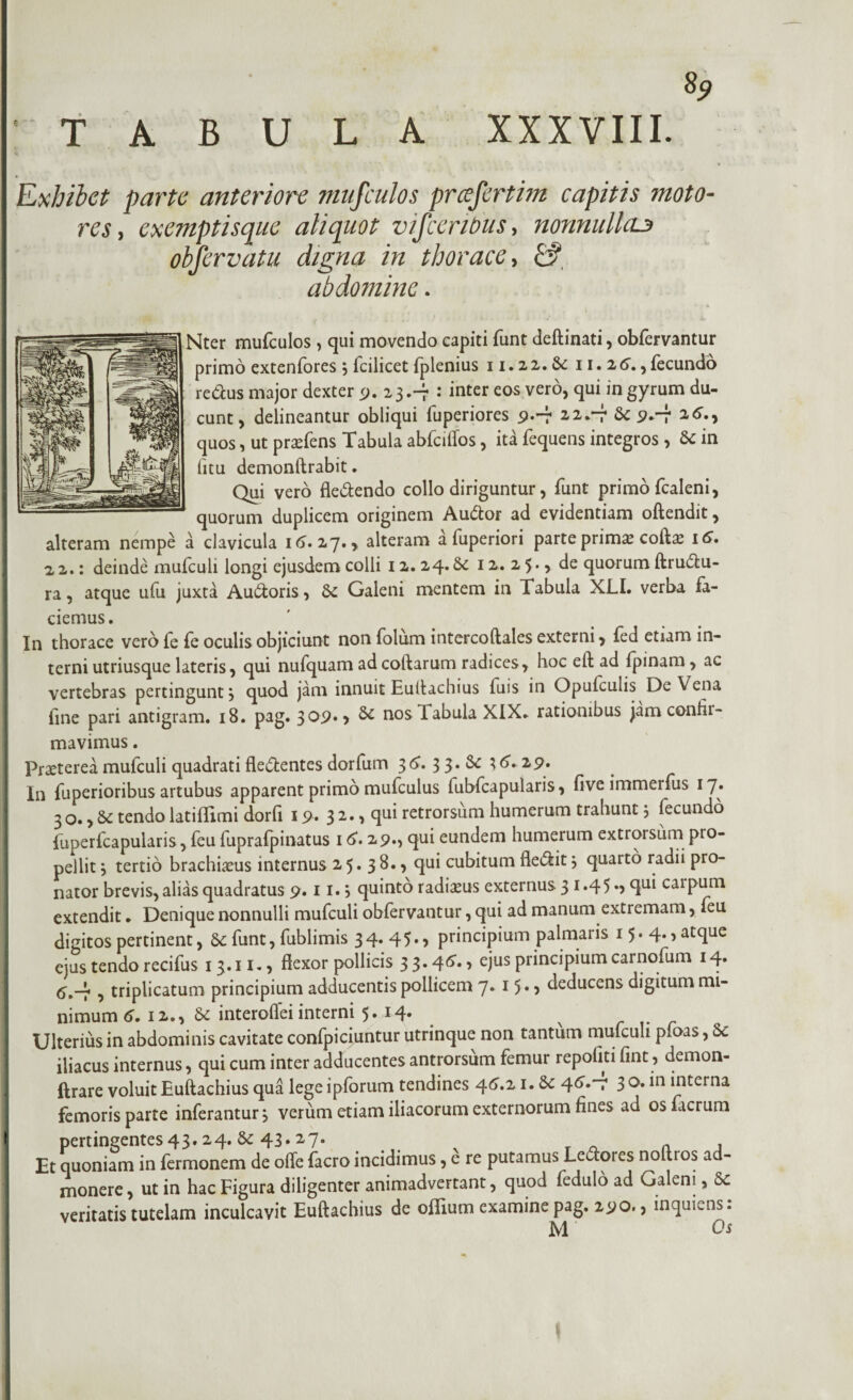 0 TABULA XXXVIII. Exhibet parte anteriore mufculos prcefertim capitis moto¬ res, exemptisque aliquot visceribus, nonnullae obfervatu digna in thorace, & abdomine. viter mufculos , qui movendo capiti funt deftinati, obfervantur primo extenfores j fcilicet fplenius 11.22.6c 11. 26., fecundo reCcus major dexter 9. 23.-7 : inter eos vero, qui in gyrum du¬ cunt, delineantur obliqui fuperiores 9.-7 22.-7 6c 9*~T quos , ut prbfens Tabula abfciffos, ita fequens integros, 6c in (itu demonftrabit. Qui vero fle&endo collo diriguntur, funt primo fcaleni, quorum duplicem originem Audior ad evidentiam oftendit, alteram nempe a clavicula 16.27., alteram a (uperiori parte primae coftb 16. 22.: deinde mufculi longi ejusdem colli 12.24.6c 12. 2 5., de quorum ftrudlu- ra, atque ufu juxta Au&oris, 5c Galeni mentem in Tabula XLI. verba fa¬ ciemus. In thorace vero fe fe oculis objiciunt non folum intercoftales externi, fed etiam in¬ terni utriusque lateris, qui nufquam ad collarum radices, hoc ell ad (pinam , ac vertebras pertingunty quod jam innuit Eutlachius fuis in Opulculis De Vena fine pari antigram. 18. pag. 309» > & nos Tabula XIX. rationibus jam confti- mavimus. Praeterea mufculi quadrati debentes dorfum 3 6. 3 3. 6c 3 6. 29. In fuperioribus artubus apparent primo mufculus (ubfcapularis, (ive immerfus 17» 3 o., 6c tendo latiflimi dor(i 19. 3 2., qui retrorsum humerum trahunt; lecundo fuperfcapularis, feu fuprafpinatus 16.29., qui eundem humerum extrorsum pro¬ pellit y tertio bracilibus internus 25.38., qui cubitum fle&it j quarto radii pro¬ nator brevis, alias quadratus 9.11., quinto radibus externus 31.45., qui caipum extendit. Denique nonnulli mufculi obfervantur, qui ad manum extremam, feu digitos pertinent, 6c funt, fublimis 34. 45., principium palmaris 15. 4., atque ejus tendo recifus 13.11., flexor pollicis 33.46’., ejus principium carnofum 14. <5^-2. ^ triplicatum principium adducentis pollicem 7* 15* > deducens digitum mi¬ nimum 6. 12., & interoflei interni 5. 14. x Ulterius in abdominis cavitate confpiciuntur utrinque non tantum mufculi p.oas, Sc iliacus internus, qui cum inter adducentes antrorsum femur repoliti fint, demon- ftrare voluit Euftachius qua lege ipforum tendines 46.21.6c 46.-7 3 interna femoris parte inferantur j verum etiam iliacorum externorum fines ad osfacrum pertingentes 43.24.5c 43» 27- #1. x T a a a Et quoniam in fermonem de olfe facro incidimus, e re putamus Ledlores noftros ad- ’ monere, ut in hac Figura diligenter animadvertant, quod fedulo ad Galeni, & veritatis tutelam inculcavit Euftachius de oflium examine pag. 290., inquLns. M' Os