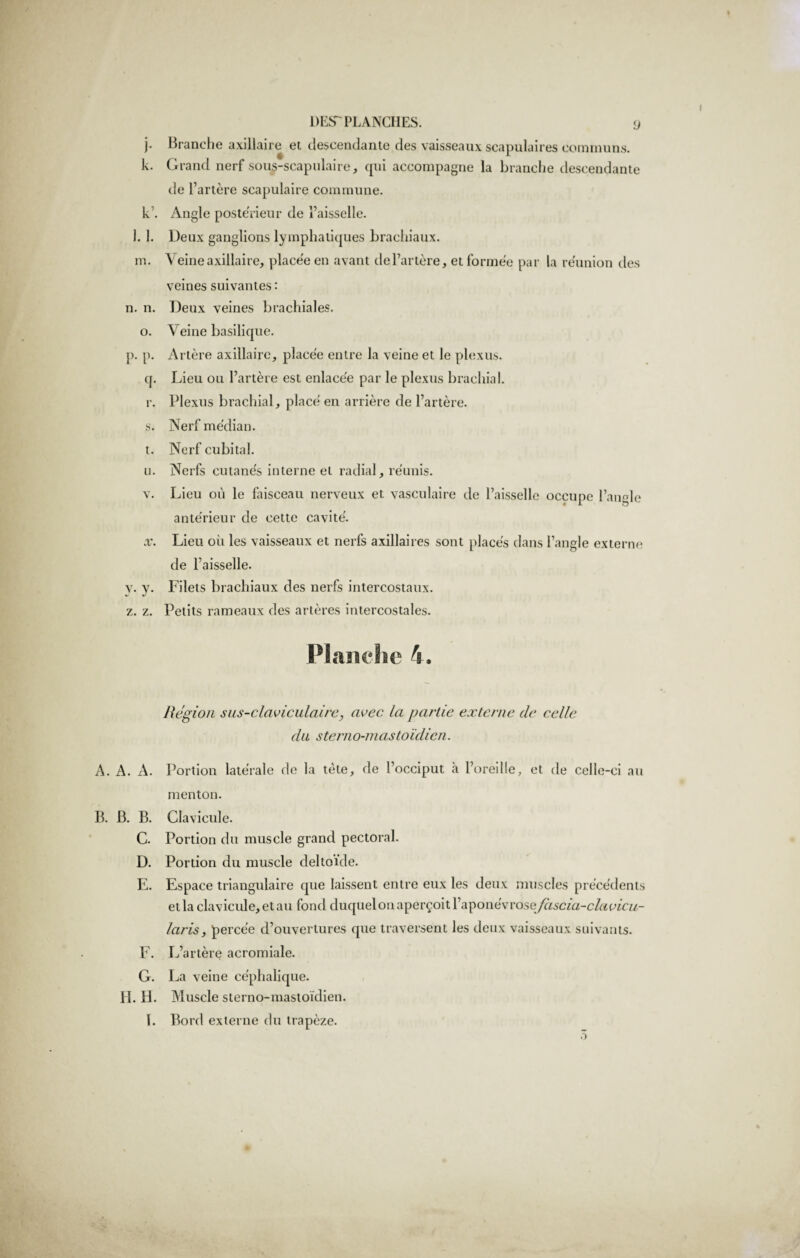 j. Branche axillaire et descendante des vaisseaux scapulaires communs. k. Grand nerf sous-scapulaire, qui accompagne la branche descendante de l’artère scapulaire commune. k’. Angle postérieur de l’aisselle. l. 1. Deux ganglions lymphatiques brachiaux. m. Y eineaxillaire, placée en avant del’artère, et formée par la réunion des veines suivantes : n. n. Deux veines brachiales, o. Veine basilique. p. p. Artère axillaire, placée entre la veine et le plexus. q. Lieu ou l’artère est enlacée par le plexus brachial. r. Plexus brachial, placé en arrière de l’artère. s. Nerf médian. t. Nerf cubital. u. Nerfs cutanés interne et radial, réunis. v. Lieu où le faisceau nerveux et vasculaire de l’aisselle occupe l’angle antérieur de cette cavité. x. Lieu où les vaisseaux et nerfs axillaires sont placés dans l’angle externe de l’aisselle. y. y. Filets brachiaux des nerfs intercostaux. z. z. Petits rameaux des artères intercostales. Planche 4. Région sus-claviculaire, avec la partie externe de celle du sterno-mastoïdicn. A. A. A. Portion latérale de la tète, de l’occiput à l’oreille, et de celle-ci au menton. B. B. B. Clavicule. C. Portion du muscle grand pectoral. D. Portion du muscle deltoïde. E. Espace triangulaire que laissent entre eux les deux muscles précédents et la clavicule, et au fond duquel on aperçoit l’aponévrosejascia-clavicu- laris, percée d’ouvertures que traversent les deux vaisseaux suivants. F. L’artère acromiale. G. La veine céphalique. H. H. Muscle sterno-mastoïdien. 1. Bord externe du trapèze.