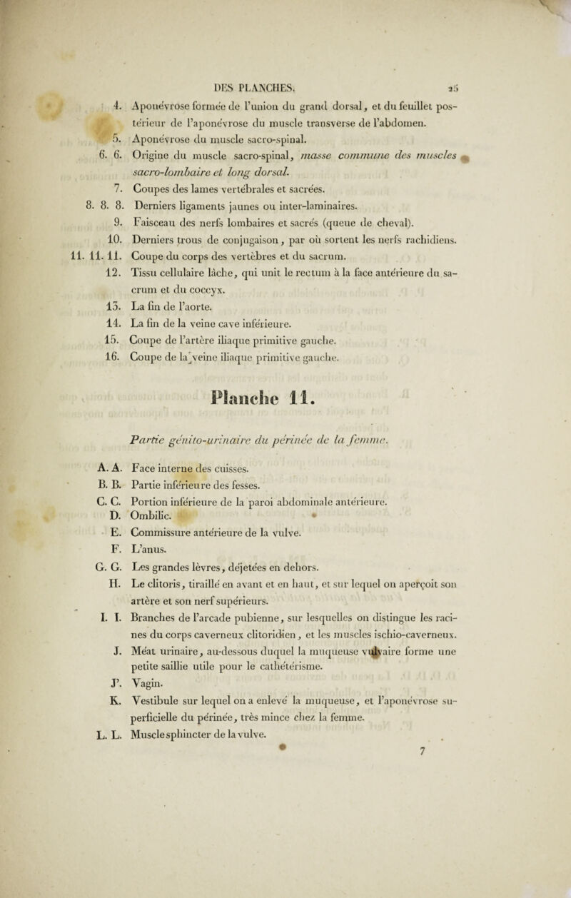 4. 6. 6. 7. 8. 8. 8. 9. 10. 11. 11.11. 12. 15. 14. 15. 16. A. A. B. B. C. C. D. E. F. G. G. H. I. I. J. P. R. L. L. Aponévrose formée do Eunion du grand dorsal, et du feuillet pos¬ térieur de l’aponévrose du muscle transverse de l’abdomen. Aponévrose du muscle sacro-spinal. Origine du muscle sacro-spinal, masse commune des muscles sacro-lombaire et long dorsal. Coupes des lames vertébrales et sacrées. Derniers ligaments jaunes ou inter-laminaires. Faisceau des nerfs lombaires et sacrés (queue de cheval). Derniers trous de conjugaison, par où sortent les nerfs rachidiens. Coupe du corps des vertèbres et du sacrum. Tissu cellulaire lâche, qui unit le rectum à la face antérieure du sa¬ crum et du coccyx. La lin de l’aorte. La lin de la veine cave inférieure. Coupe de l’artère iliaque primitive gauche. Coupe de la^veine iliaque primitive gauche. Flanche il. Partie génito-urinaire du périnée de la femme. Face interne des cuisses. Partie inférieure des fesses. Portion inférieure de la paroi abdominale antérieure. Ombilic. Commissure antérieure de la vulve. L’anus. Les grandes lèvres, déjetées en dehors. Le clitoris, tiraillé en avant et en haut, et sur lequel on aperçoit son artère et son nerf supérieurs. Branches de l’arcade pubienne, sur lesquelles on distingue les raci¬ nes du corps caverneux clitoridien, et les muscles ischio-caverneux. Méat urinaire, au-dessous duquel la muqueuse vulvaire forme une petite saillie utile pour le cathétérisme. Vagin. Vestibule sur lequel on a enlevé la muqueuse, et l’aponévrose su¬ perficielle du périnée, très mince chez la femme. Muscle sphincter de la vulve. 7