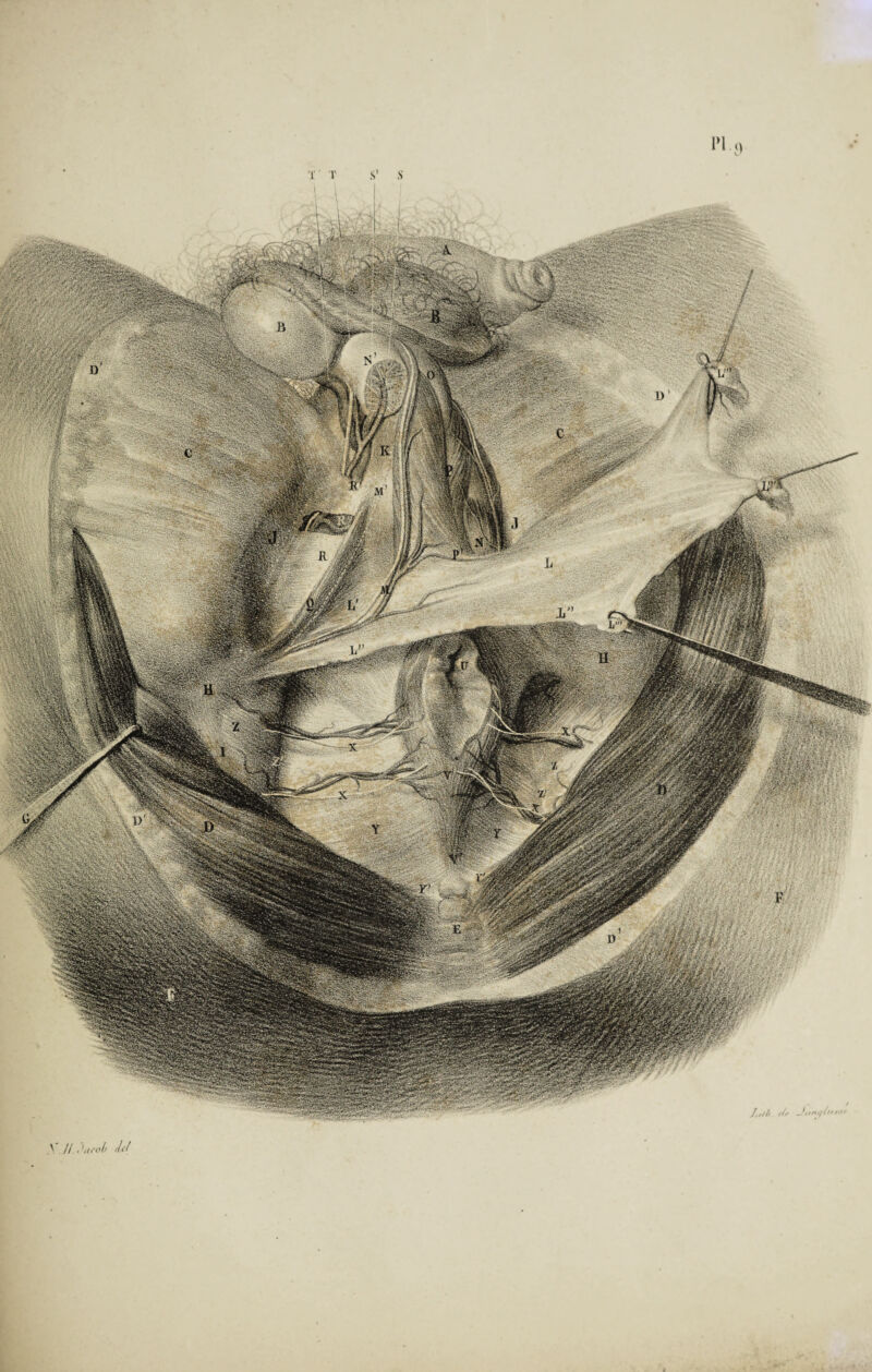 r«Æn£î; ■■*4- 'à rf/j fl ■'■■P,K tsmiËfâm ms& ;» sWW&S&r*' ■ f/wM® i^Æw mm SKS PP .^04i \ //. jlicol) tU(