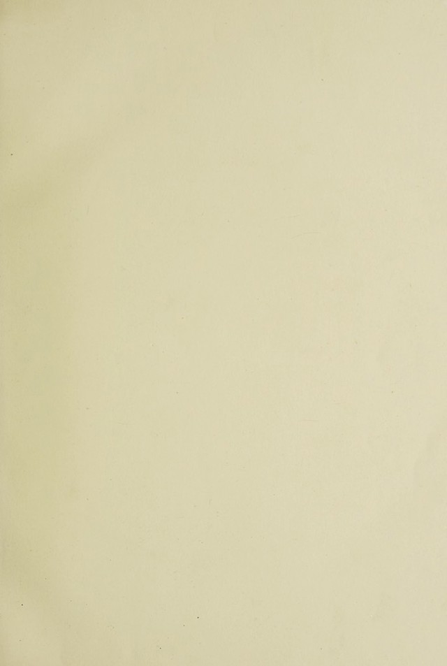 digitised image 3