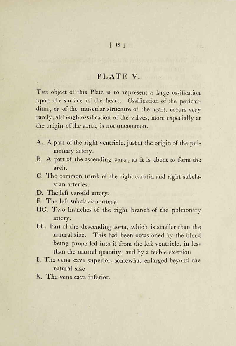 \ [ 19 ] PLATE V. The object of this Plate is to represent a large ossification upon the surface of the heart. Ossification of the pericar¬ dium, or of the muscular structure of the heart, occurs very rarely, although ossification of the valves, more especially at the origin of the aorta, is not uncommon. A. A part of the right ventricle, just at the origin of the pul¬ monary artery. B. A part of the ascending aorta, as it is about to form the arch. C. The common trunk of the right carotid and right subcla¬ vian arteries. D. The left carotid artery. E. The left subclavian artery. HG. Two branches of the right branch of the pulmonary artery. FF. Part of the descending aorta, which is smaller than the natural size. This had been occasioned by the blood being propelled into it from the left ventricle, in less than the natural quantity, and by a feeble exertion I. The vena cava superior, somewhat enlarged beyond the natural size, K, The vena cava inferior.