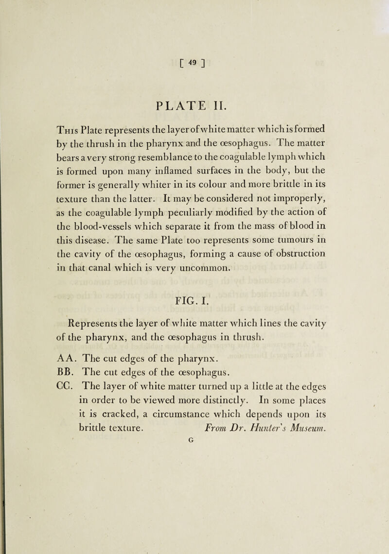 [ ^ ] PLATE II. This Plate represents the layer of white matter which is formed by the thrush in the pharynx and the oesophagus. The matter bears a very strong resemblance to the coagulable lymph which is formed upon many inflamed surfaces in the body, but the former is generally whiter in its colour and more brittle in its texture than the latter. It may be considered not improperly, as the coagulable lymph peculiarly modified by the action of the blood-vessels which separate it from the mass of blood in this disease. The same Plate too represents some tumours in the cavity of the oesophagus, forming a cause of obstruction in that canal which is very uncommon. FIG. I. Represents the layer of white matter which lines the cavity of the pharynx, and the oesophagus in thrush. A A. The cut edges of the pharynx. BB. The cut edg es of the oesophagus. CG. The layer of white matter turned up a little at the edges in order to be viewed more distinctly. In some places it is cracked, a circumstance which depends upon its brittle texture. From Dr. Hunter s Museum. G