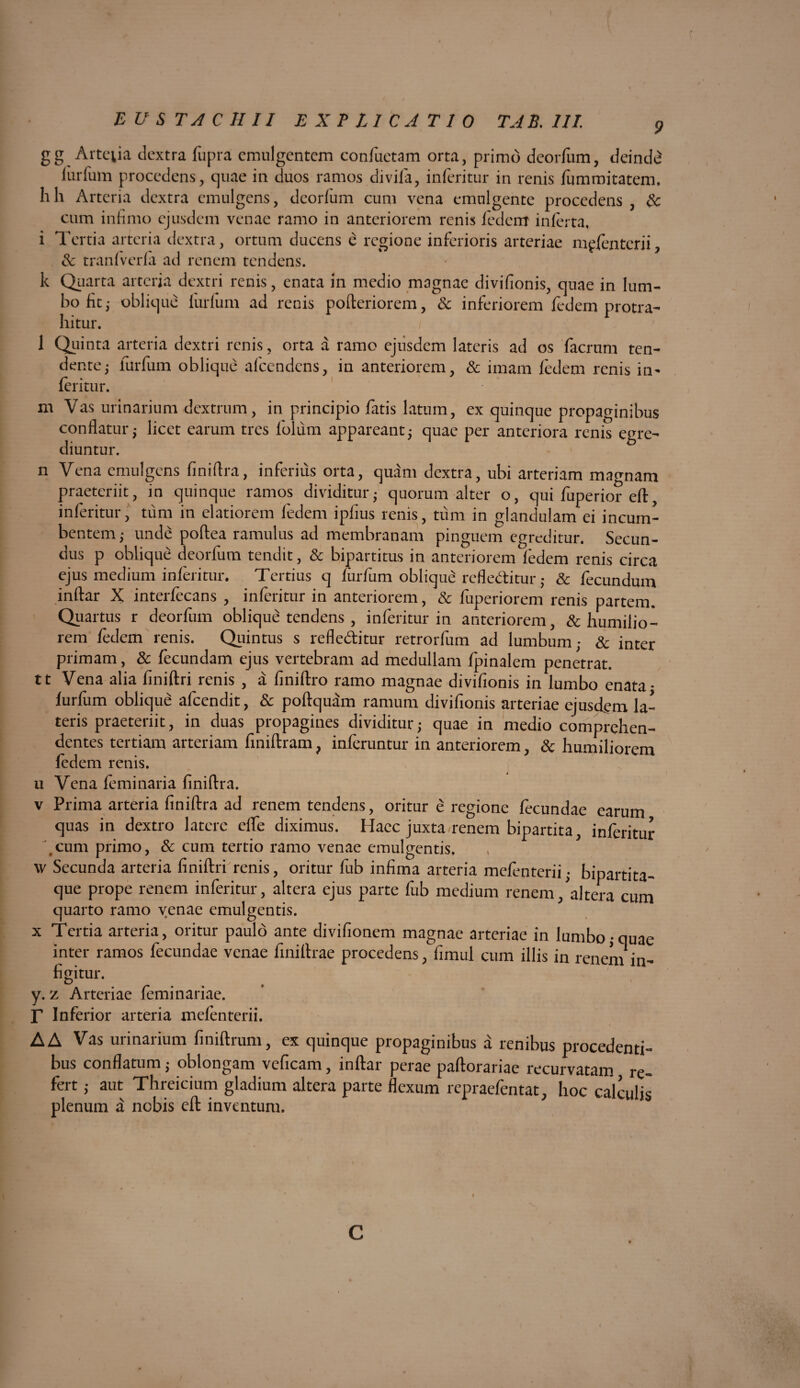 9 gg Arteiia dextra fupra emulgentem confuetam orta, primo deorfum, deindd ludum procedens, quae in duos ramos divila, inferitur in renis fummitatem. hh Arteria dextra emulgens, deorfum cum vena emulgente procedens, & cum infimo ejusdem venae ramo in anteriorem renis federrr inferta, i Tertia arteria dextra, ortum ducens e & tranfverfa ad renem tendens. regione inferioris arteriae m^fenterii, k Quarta arteria dextri renis, enata in medio magnae divifionis, quae in lum¬ bo fit; oblique lurfum ad renis pofleriorem, & inferiorem fedem protra¬ hitur. 1 Quinta arteria dextri renis , orta a ramo ejusdem lateris ad os facrum ten¬ dente ; ludum oblique afeendens, in anteriorem, & imam fedem renis in- feritur. m Vas urinarium dextrum, in principio fatis latum, ex quinque propaginibus conflatur; licet earum tres folum appareant5 quae per anteriora renis egre¬ diuntur. ' n Vena emulgens fini Ara, inferius orta, quam dextra, ubi arteriam magnam praeteriit, in quinque ramos dividitur- quorum alter o, qui fuperior eft, inferitur, tum in elatiorem fedem ipfius renis, tum in glandulam ei incum¬ bentem ; unde poflea ramulus ad membranam pinguem egreditur. Secun¬ dus p oblique deorfum tendit, & bipartitus in anteriorem fedem renis circa ejus medium inferitur. Tertius q furfum oblique refleditur • & fecundum inflar X interfecans , inferitur in anteriorem, & fuperiorem renis partem. Quartus r deorfum oblique tendens , inferitur in anteriorem, & humilio¬ rem fedem renis. Quintus s refle&itur retrorfum ad lumbum,- & inter primam, & fecundam ejus vertebram ad medullam fpinalem penetrat. tt Vena alia finiftri renis , a finiftro ramo magnae divifionis in lumbo enata- ludum oblique afeendit, & poftquam ramum divifionis arteriae ejusdem la¬ teris praeteriit, in duas propagines dividitur; quae in medio comprehen¬ dentes tertiam arteriam finiftram, inferuntur in anteriorem, 3c humiliorem fedem renis. u Vena feminaria fini Ara. v Prima arteria finiftra ad renem tendens, oritur e regione fecundae earum quas in dextro latere clTe diximus. Haec juxta renem bipartita, inferitur .cum primo, & cum tertio ramo venae emulgentis. w Secunda arteria finiftri renis, oritur fub infima arteria mefenterii; bipartita- que prope renem inferitur, altera ejus parte fub medium renem 'altera mm quarto ramo venae emulgentis. * “m x Tertia arteria, oritur paulo ante divifionem magnae arteriae in lumbo,-quae inter ramos fecundae venae finiflrae procedens, fimul cum illis in renem in¬ figitur. y. z Arteriae feminariae. r Inferior arteria mefenterii. A A Vas urinarium finiftrum, ex quinque propaginibus a renibus procedenti¬ bus conflatum; oblongam veficam, inflar perae paftorariae recurvatam re¬ fert ,- aut Threicium gladium altera parte flexum repraefentat, hoc calculis plenum a nebis efl inventum. /