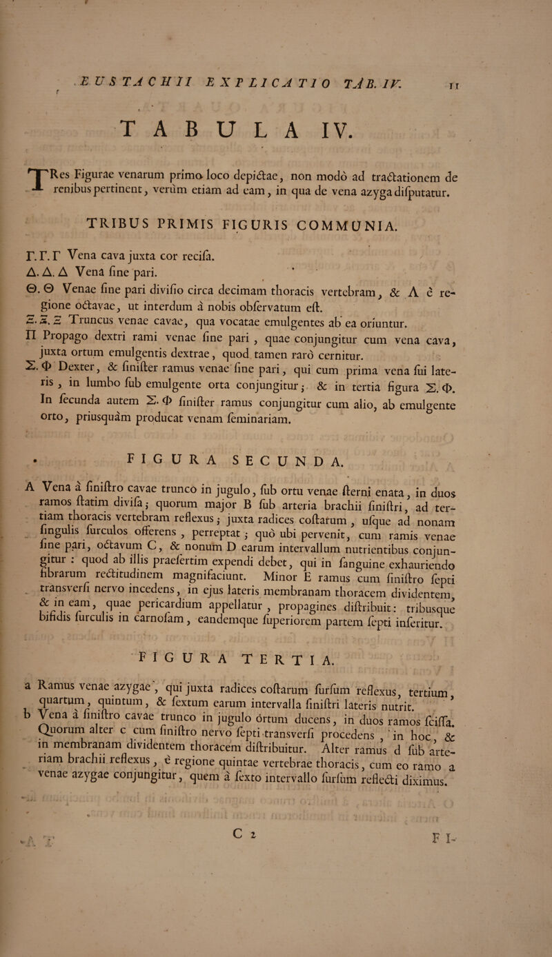aw r '“pRes Figurae venarum primo loco depidae, non modo ad tradationem de J- renibus pertinent, verum etiam ad eam, in qua de vena azyga difputatur. TRIBUS PRIMIS FIGURIS COMMUNIA. r  T. T. T Vena cava juxta cor recila. :v A. A. A Vena fine pari. 0.0 Venae fine pari divifio circa decimam thoracis vertebram, & A e re¬ gione odtavae, ut interdum a nobis oblervatum eft. ~ Tiuncus venae cavae, cjua vocatae emulgentes ab ea oriuntur. Piopago dextri rami venae fine pari , quae conjungitur cum vena cava, juxta ortum emulgentis dextrae, quod tamen raro cernitur. ^ Dextei, & finifter ramus venae fine pari, qui cum prima vena fui late¬ ris , in lumbo fub emulgente orta conjungitur j & in tertia figura 2. 0. In fecunda autem 2. 0 finifter ramus conjungitur cum alio, ab emulgente orto, priusquam producat venam feminariam. • FIGURA SECUNDA. *  . • * ■* v , ** . % A Vena a finiftro cavae trunco in jugulo, lub ortu venae fterni enata, in duos ramos ftatim divifa,- quorum major B fub arteria brachii finiftri, ad ter¬ tiam thoracis vertebram reflexus $ juxta radices collarum , ulque ad nonam lingulis lurculos offeiens , perreptat $ quo ubi pervenit, cum ramis venae fine paii, odavum C, & nonum D earum intervallum nutrientibus conjun¬ gitur . quod ab illis praefertim expendi debet, qui in fanguine exhauriendo fibratum reditudinem magnifaciunt. Minor E ramus cum finiftro lepti - transverfi nervo incedens, in ejus lateris membranam thoracem dividentem .?lU.ae Per^c^r^um appellatur, propagines diftribuit: tribusque bindis lui culis in cainofam, eandemque fuperiorem partem lepti inferitur. figura tertia. a Ramus venae azygae , qui juxta radices collarum furlum reflexus tertium quartum, quintum, & fextum earum intervalla finiftri lateris nutrit, b Vena a finiftro cavae trunco in jugulo ortum ducens, in duos ramos fcifla. Quorum alter c cum finiftro nervo lepti transverfi procedens in hoc & in membranam dividentem thoracem diftribuitur. Alter ramus d lub arte- nam brachii reflexus, e regione quintae vertebrae thoracis, cum eo ramo a venae azygae conjungitur, quem a fexto intervallo furfum refledi diximus.