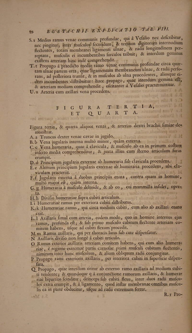 26 E US T A CHII E X PL1C A T 1 0 TJE. VIII S. s Medius ramus venae communis profundae, qui a Vefalio nec defcribitur, nec pingitur; inter mufculos fecundum, & tertium digitorum internodium fledtentes totam membranei ligamenti ulnae, Sc radii longitu inem per¬ reptans, mufculis ei incumbentibus furculos tribuit,* Sc inteidum geminus exiftens arteriam hinc inde comprehendit. T. t Propago a praedifto medio ramo venae communis profundae circa quar¬ tam ulnae partem orta j quae ligamentum membraneum ulnae, &ia upei o~ rans, ad pofteriora tranfit, Sc in mufculos ab ulna procedentes, a losque ei¬ dem incumbentes diftribuitur: haec propago, quae inteidum gemina e , Sc arteriam mediam comprehendit , ofcitanter a Vefalio piaetermittitur. U. u Arteria cum axillari vena procedens. ■ < *' 4.. i ‘f.CM.! ‘J XI i 'l •'» '• * V., N . V yifjf; Vf 1 figura tertia, ET a U A R T A. ' • * >-v m *V ' '~rr T ? r. *r ' Figura tertia, & quarta aliquot venas, & arterias dextri brachii fimiae de- monftrat. A. a Truncus dexter venae cavae in jugulo. B. b Vena jugularis interna multo minor, quam externa. C. c Vena humeraria, quae a clavicula, Sc mufculo ab ea in primam coftatrt inferto media comprehenditur; Sc juxta illius tum fterno articulum foras erumpit. . , # r /r, • D. d Principium jugularis externae ab humeraria fub clavicula procedens. E. e Alterum principium jugularis externae ab humeraria procedens, ubi cla¬ viculam praeteriit. . * ■ , • F. f Jugularis externa a duobus principiis enata, contra quam in homine, multo major eft, quam interna. Q\ <cr Humeraria a mufculo deltoide, Sc ab eo , cui mammilla infidet, oper¬ ta. H. h Divifio humerariae fupra cubiti articulum. E i Humerariae ramus per exteriora cubiti diftributus. K. k Humerariae ramus , qui circa medium cubiti, cum alio ab axillari enato coit. . L. l Axillaris fimul cum arteria, eodem modo, quo in homine internus ejus ramus, profunda eft $ Sc fub primo mufculo cubitum fle&ente arteriam co¬ mitem habens, ufque ad cubiti flexum procedit. M. m Ramus axillaris, qui per thoracis latus fub cute difpenfatur. N Axillaris divifio non longe a cubiti articulo. Q Ramus exterior axillaris arteriam comitem habens, qui cum alio humera¬ riae , e regione extremae partis carnofae primi mufculi cubitum fledfentis, nimirum inter hunc mufculum, Sc alium obliquum radii conjungitur. P Propago rami exterioris axillaris, per interiora cubiti in fuperficie difpen- fata. ' • Propago, quae interdum oritur ab externo ramo axillaris ad medium cubi¬ ti tendente; Sc quandoque q a conjundtione ramorum axillaris, Sc humera¬ riae bipartito fcinditur; deinceps lub cubiti flexu, inter duos radii mufcu¬ los extra erumpit, Sc a ligamento, quod inftar membranae omnibus mufcu¬ lis ea in parte obducitur, ufque ad radii extremum fertur. R.r Pro-