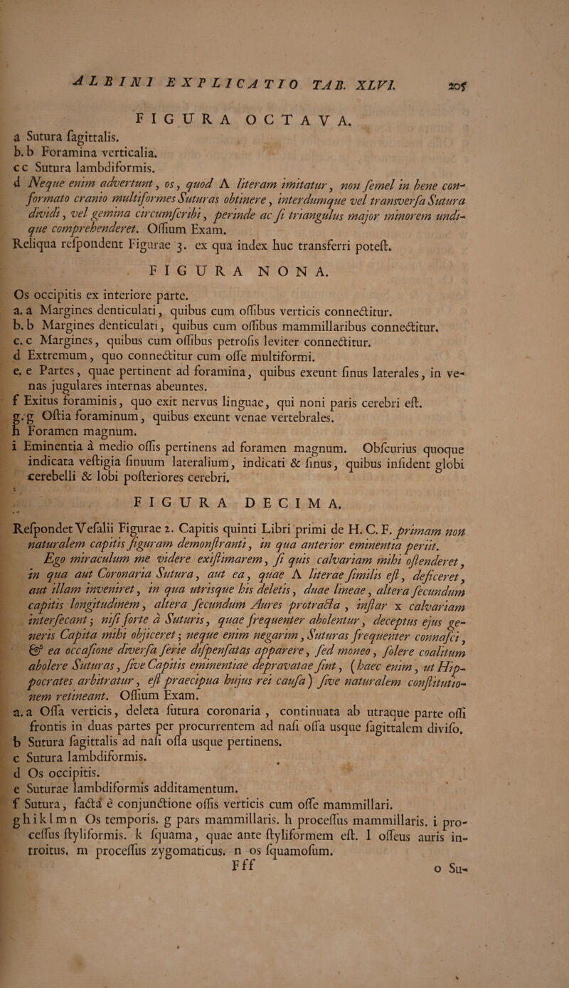 zof figura octava. a Sutura fagittalis. b. b Foramina verticalia, cc Sutura lambdiformis. d Neque enim advertunt , os, quod A literam imitatur, non femel in bene con-* formato cranio multiformes Suturas obtinere, mterdumque vel transverfa Sutura dividi, vel gemina circumfcnbi, perinde ac fi triangulus major minorem undi- que comprehenderet. Offium Exam. Reliqua refpondent Figurae 3. ex qua index huc transferri poteft. FIGURA NONA. Os occipitis ex interiore parte. a. a Margines denticulati , quibus cum offibus verticis conneditur. b. b Margines denticulati, quibus cum offibus mammillaribus conneditur, c. c Margines, quibus cum ortibus petrofis leviter conneditur. d Extremum, quo conneditur cum ofle multiformi. e. e Partes, quae pertinent ad foramina, quibus exeunt finus laterales, in ve¬ nas jugulares internas abeuntes. f Exitus foraminis, quo exit nervus linguae, qui noni paris cerebri eft. g.g Oftia foraminum, quibus exeunt venae vertebrales, h Foramen magnum. i Eminentia a medio offis pertinens ad foramen magnum. Obfcurius quoque indicata veftigia finuum lateralium, indicati & finus, quibus infident globi cerebelli & lobi pofteriores cerebri. .4 FIGURA DECIMA. Refpondet Yefalii Figurae 2. Capitis quinti Libri primi de H. C. F. primam non naturalem capitis figuram demonftranti, in qua anterior eminentia periit Ego miraculum me videre exiftimarem, fii quis calvariam mihi oflenderet, in qua aut Coronaria Sutura, aut ea ^ quae A literae fiimilis eft, deficeret, aut illam inveniret, m qua utnsque his deletis, duae lineae, altera fecundum capitis longitudinem, altera fecundum Aures protraSa , inftar x calvariam interfecant, nififorte d Suturis, quae frequenter abolentur, deceptus ejus ge¬ neris Capita mihi objiceret j neque enim negarim, Suturas frequenter connafci, & ea occafione diverfa ferie difpenfatas apparere, fed moneo, folere coalitum abolere Suturas, five Capitis eminentiae depravatae fiint, ( haec enim, ut Hip¬ pocrates arbitratur, eft praecipua hujus rei caufa ) five naturalem conftitutio- nem retineant. Offium Exam. a.a Offa verticis, deleta futura coronaria, continuata ab utraque parte ofli frontis in duas partes per procurrentem ad nafi offa usque fagittalem divifo. b Sutura fagittalis ad nafi orta usque pertinens, c Sutura lambdiformis. d Os occipitis. e Suturae lambdiformis additamentum. f Sutura, fada e conjundione offis verticis cum offe mammillari, ghiklmn Os temporis, g pars mammillaris, h proceffus mammillaris, i pro- ceffiis ftyliformis. k fquama, quae ante ftyliformem eft. 1 offeus auris in¬ troitus. m proceffus zygomaticus, n os fquamofum. Fff
